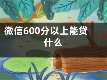 微信600分以上能貸什么