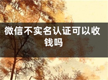 微信不實(shí)名認(rèn)證可以收錢嗎