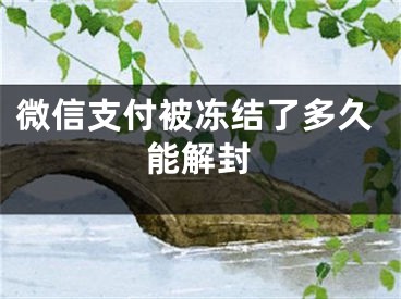 微信支付被凍結(jié)了多久能解封