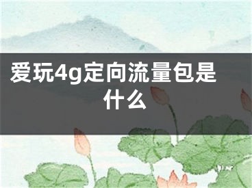 愛(ài)玩4g定向流量包是什么