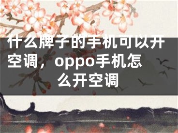 什么牌子的手機可以開空調(diào)，oppo手機怎么開空調(diào)