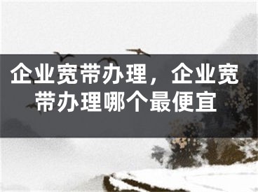 企業(yè)寬帶辦理，企業(yè)寬帶辦理哪個(gè)最便宜