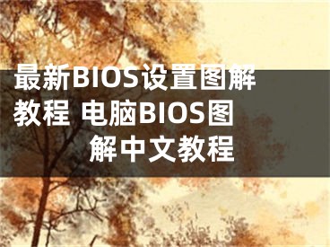 最新BIOS設(shè)置圖解教程 電腦BIOS圖解中文教程