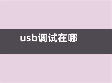 usb調(diào)試在哪