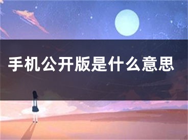 手機公開版是什么意思