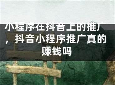 小程序在抖音上的推廣，抖音小程序推廣真的賺錢(qián)嗎