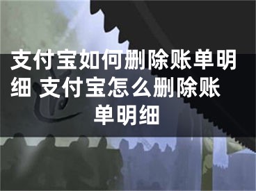 支付寶如何刪除賬單明細(xì) 支付寶怎么刪除賬單明細(xì)