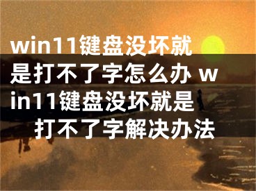 win11鍵盤(pán)沒(méi)壞就是打不了字怎么辦 win11鍵盤(pán)沒(méi)壞就是打不了字解決辦法