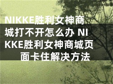 NIKKE勝利女神商城打不開怎么辦 NIKKE勝利女神商城頁面卡住解決方法