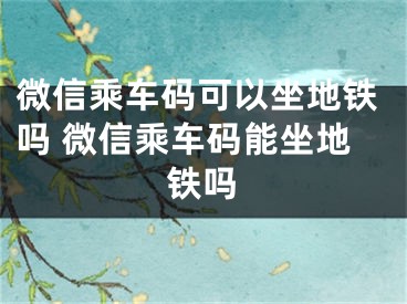 微信乘車碼可以坐地鐵嗎 微信乘車碼能坐地鐵嗎