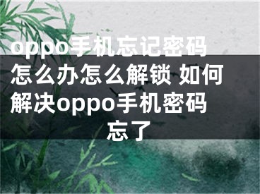 oppo手機(jī)忘記密碼怎么辦怎么解鎖 如何解決oppo手機(jī)密碼忘了