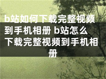 b站如何下載完整視頻到手機(jī)相冊 b站怎么下載完整視頻到手機(jī)相冊