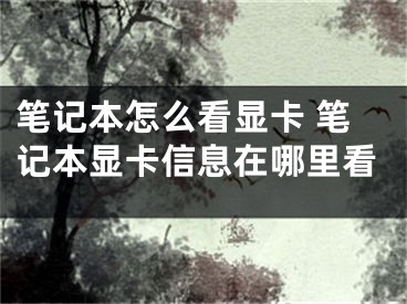 筆記本怎么看顯卡 筆記本顯卡信息在哪里看