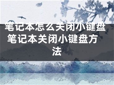 筆記本怎么關(guān)閉小鍵盤 筆記本關(guān)閉小鍵盤方法