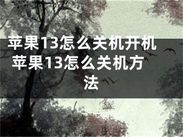 蘋果13怎么關(guān)機開機 蘋果13怎么關(guān)機方法