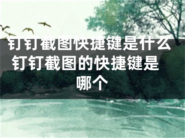 釘釘截圖快捷鍵是什么 釘釘截圖的快捷鍵是哪個(gè)