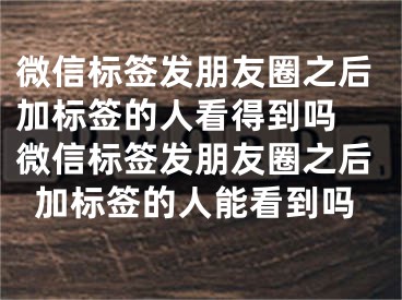 微信標簽發(fā)朋友圈之后加標簽的人看得到嗎 微信標簽發(fā)朋友圈之后加標簽的人能看到嗎