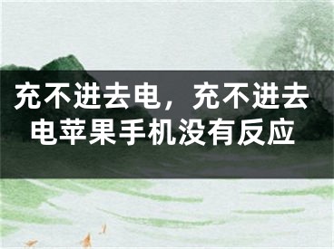 充不進(jìn)去電，充不進(jìn)去電蘋果手機(jī)沒有反應(yīng)