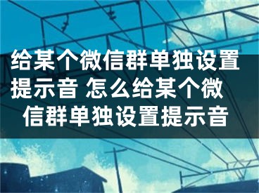 給某個微信群單獨設(shè)置提示音 怎么給某個微信群單獨設(shè)置提示音