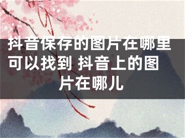 抖音保存的圖片在哪里可以找到 抖音上的圖片在哪兒