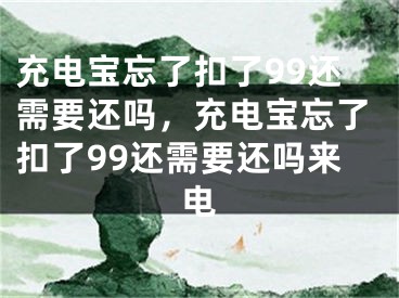 充電寶忘了扣了99還需要還嗎，充電寶忘了扣了99還需要還嗎來電