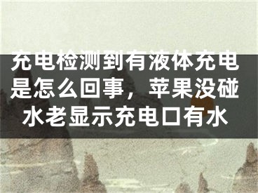 充電檢測(cè)到有液體充電是怎么回事，蘋果沒碰水老顯示充電口有水