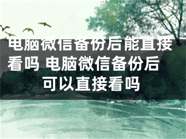 電腦微信備份后能直接看嗎 電腦微信備份后可以直接看嗎