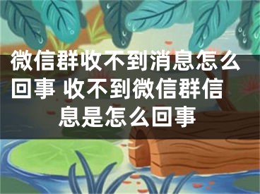 微信群收不到消息怎么回事 收不到微信群信息是怎么回事