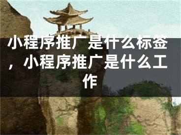 小程序推廣是什么標(biāo)簽，小程序推廣是什么工作