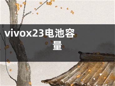 vivox23電池容量