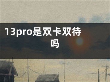 13pro是雙卡雙待嗎