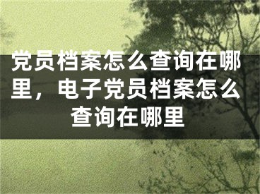 黨員檔案怎么查詢?cè)谀睦?，電子黨員檔案怎么查詢?cè)谀睦?></p><p>很多網(wǎng)友不明白黨員檔案怎么查詢?cè)谀睦?，電子黨員檔案怎么查詢?cè)谀睦锏南嚓P(guān)內(nèi)容，今天小編為大家整理了關(guān)于這方面的知識(shí)，讓我們一起來看下吧!</p><h2>黨員檔案如何查詢</h2><p>作為一名黨員，擁有自己的黨員檔案是必不可少的。那么，應(yīng)該如何查詢自己的黨員檔案呢？以下是具體步驟：</p><h3>步驟一：攜帶個(gè)人身份證前往當(dāng)?shù)攸h委組織部門</h3><p>黨員檔案統(tǒng)一由當(dāng)?shù)攸h委組織部門管理。因此，想要查詢自己的黨員檔案，第一步需要攜帶個(gè)人身份證到當(dāng)?shù)攸h委組織部門窗口進(jìn)行查詢。</p><h3>步驟二：填寫查詢申請(qǐng)表</h3><p>填寫查詢申請(qǐng)表是查詢黨員檔案的必要步驟。申請(qǐng)表中需要填寫姓名、身份證號(hào)碼、入黨時(shí)間、黨組織關(guān)系所在地等個(gè)人信息，并在申請(qǐng)表上簽字確認(rèn)。</p><h3>步驟三：等待查檔</h3><p>提交申請(qǐng)表后，需要等待工作人員進(jìn)行查詢，并等待查詢結(jié)果。在查詢完畢后，工作人員會(huì)將查詢結(jié)果予以告知。</p><h2>電子黨員檔案如何查詢</h2><p>隨著時(shí)代的進(jìn)步，現(xiàn)在黨員檔案也具備了電子化查詢的功能。如果您擁有電子黨員檔案，那么可以通過以下方式進(jìn)行查詢：</p><h3>方式一：登錄“黨建云”平臺(tái)</h3><p>“黨建云”平臺(tái)是一款為廣大黨員提供服務(wù)的應(yīng)用程序，能夠方便地查詢到自己的電子黨員檔案。只需要在電腦或手機(jī)上打開“黨建云”平臺(tái)的網(wǎng)址，登錄賬號(hào)并進(jìn)入“黨費(fèi)繳納”欄目即可查詢自己的電子黨員檔案。</p><h3>方式二：使用“微黨課”小程序查詢</h3><p>“微黨課”是一款微信小程序，也可以查詢到自己的電子黨員檔案。只需要搜索“微黨課”進(jìn)入小程序中，選擇“黨員查詢”功能，輸入相應(yīng)的身份信息，即可輕松查詢到自己的電子黨員檔案。</p><h3>方式三：通過“數(shù)字黨建”平臺(tái)查詢</h3><p>“數(shù)字黨建”平臺(tái)是黨員使用率較高的一種平臺(tái)，也可以進(jìn)行電子黨員檔案查詢。只需要登錄平臺(tái)，點(diǎn)擊“個(gè)人中心”，在“我的檔案”欄目中便可查詢到自己的電子黨員檔案。</p><p>好了，有關(guān)黨員檔案怎么查詢?cè)谀睦?，電子黨員檔案怎么查詢?cè)谀睦锏膬?nèi)容就為大家解答到這里，希望能夠幫助到大家，有喜歡的朋友請(qǐng)關(guān)注本站哦！</p></div><div   id="lnnxhnd"   class="page_fenye BfOnejXJrnoGfsa"><p>上一篇： <a href="/wenda/52447.html" title="win7桌面計(jì)算機(jī)圖標(biāo)不見了怎么辦 win7桌面計(jì)算機(jī)圖標(biāo)不見了解決方法">win7桌面計(jì)算機(jī)圖標(biāo)不見了怎么辦 win7桌面計(jì)算機(jī)圖標(biāo)不見了解決方法</a></p><p>下一篇： <a href="/wenda/52449.html" title="紅米k50多重">紅米k50多重</a></p><div   id="brblhld"   class="page_more" id="sbPnrHKHrrEzLojm"><a href="/wenda/">返回列表</a></div></div><div   id="t5ljtbd"   class="statement" id="IaXHCZNjGfSrjpXm"><p class="qmcVtGYzYFpcKan">[聲明]本網(wǎng)轉(zhuǎn)載網(wǎng)絡(luò)媒體稿件是為了傳播更多的信息，此類稿件不代表本網(wǎng)觀點(diǎn)，本網(wǎng)不承擔(dān)此類稿件侵權(quán)行為的連帶責(zé)任。故此，如果您發(fā)現(xiàn)本網(wǎng)站的內(nèi)容侵犯了您的版權(quán)，請(qǐng)您的相關(guān)內(nèi)容發(fā)至此郵箱【779898168@qq.com】，我們?cè)诖_認(rèn)后，會(huì)立即刪除，保證您的版權(quán)。</p></div></div><div   id="n5d5l5j"   class="news_detail_page PzyyaCRoSNTHic"><div   id="p3htzrj"   class="news_page_list" id="gCiTgidXaiTmuuYo"><h3>分類</h3><ul class="news_page_list_ul" id="MysULlfZGkNazm"><li id="zlvd3t5"    class="pVTTZfJWhzrvaa"><a href="/wenda/" title>經(jīng)驗(yàn)問答</a></li><li id="b5pzx5h"    class="pVTTZfJWhzrvaa"><a href="/sheji/" title>網(wǎng)頁設(shè)計(jì)</a></li><li id="rlxrnhx"    class="pVTTZfJWhzrvaa"><a href="/seo/" title>seo優(yōu)化</a></li><li id="5fbzlt5"    class="pVTTZfJWhzrvaa"><a href="/tuiguang/" title>營銷推廣</a></li><li id="prfb3xr"    class="pVTTZfJWhzrvaa"><a href="/zhaoshang/" title>seo招商</a></li><li id="vlvhfjb"    class="pVTTZfJWhzrvaa"><a href="/jianzhan/" title>建站招商</a></li></ul></div><div   id="tzhbxpj"   class="news_page_new" id="PpJOGDRjtnLeVR"><h3>最新</h3><ul class="news_page_new_ul" id="ovMcxeEdiaYhQrb"><li id="tIggZQVnWEaDHzI"><a href="/wenda/52448.html">黨員檔案怎么查詢?cè)谀睦?，電子黨員檔案怎么查詢?cè)谀睦?/a></li><li id="tIggZQVnWEaDHzI"><a href="/wenda/52430.html">黨員怎么查詢，黨員怎么查詢信息查詢</a></li><li id="tIggZQVnWEaDHzI"><a href="/wenda/68500.html">怎么查詢個(gè)人檔案，怎么查詢個(gè)人檔案在哪</a></li><li id="tIggZQVnWEaDHzI"><a href="/wenda/78229.html">電子病歷網(wǎng)上能查詢嗎，電子病歷怎么查詢</a></li><li id="tIggZQVnWEaDHzI"><a href="/wenda/152212.html">電子證書查詢下載,電子證書查詢下載步驟</a></li><li id="tIggZQVnWEaDHzI"><a href="/wenda/57366.html">成都交警電子眼查詢，成都市交警電子眼查詢</a></li><li id="tIggZQVnWEaDHzI"><a href="/wenda/59220.html">天府通辦怎么查詢個(gè)人檔案，天府通卡怎么查詢</a></li><li id="tIggZQVnWEaDHzI"><a href="/wenda/76512.html">查黨員信息怎么查詢，黨務(wù)管理系統(tǒng)</a></li><li id="tIggZQVnWEaDHzI"><a href="/wenda/68510.html">怎么查詢自己的黨員信息，黨務(wù)管理系統(tǒng)</a></li><li id="tIggZQVnWEaDHzI"><a href="/wenda/51666.html">保險(xiǎn)單電子版怎么查，保險(xiǎn)單電子版怎么查詢</a></li></ul></div><div   id="lrxrnjn"   class="news_page_new" id="PpJOGDRjtnLeVR"><h3>精選</h3><ul class="news_page_new_ul" id="ovMcxeEdiaYhQrb"><li id="tIggZQVnWEaDHzI"><a href="/wenda/52449.html">紅米k50多重</a></li><li id="tIggZQVnWEaDHzI"><a href="/wenda/52450.html">兌換話費(fèi)發(fā)什么短信，浙江移動(dòng)積分兌換話費(fèi)發(fā)什么短信</a></li><li id="tIggZQVnWEaDHzI"><a href="/wenda/52451.html">紅米k50充電多久充滿</a></li><li id="tIggZQVnWEaDHzI"><a href="/wenda/52452.html">為什么大地win10啟動(dòng)時(shí)出現(xiàn)client mac addr</a></li><li id="tIggZQVnWEaDHzI"><a href="/wenda/52453.html">黨建云怎么登錄不了，黨建云怎么登錄不了顯示未認(rèn)證</a></li><li id="tIggZQVnWEaDHzI"><a href="/wenda/52454.html">什么面板用于記錄圖像的顏色數(shù)據(jù)和保存選區(qū)</a></li><li id="tIggZQVnWEaDHzI"><a href="/wenda/52455.html">深度win7中怎么保存網(wǎng)頁內(nèi)容到本地</a></li><li id="tIggZQVnWEaDHzI"><a href="/wenda/52456.html">安卓是哪個(gè)國家開發(fā)的系統(tǒng)</a></li><li id="tIggZQVnWEaDHzI"><a href="/seo/52457.html">通過用戶需求導(dǎo)向來提高網(wǎng)站排名優(yōu)化效果</a></li><li id="tIggZQVnWEaDHzI"><a href="/seo/52458.html">做好網(wǎng)站優(yōu)化診斷對(duì)于排名提升有哪些好處</a></li></ul></div><div   id="zrpbltn"   class="news_page_relevant JpdNDLDIXEZGCb"><h3>熱門</h3><ul class="news_page_relevant_ul" id="IAVmNlxIaqiWGdm"><li id="JVWALzsuDkDpcpZm"><a href="/wenda/50372.html" target="_self">微信群里@所有人怎么設(shè)置免打擾</a></li><li id="JVWALzsuDkDpcpZm"><a href="/wenda/50373.html" target="_self">鋼筋的符號(hào)怎么打出來</a></li><li id="JVWALzsuDkDpcpZm"><a href="/wenda/50374.html" target="_self">京東圣誕節(jié)有活動(dòng)嗎，京東圣誕節(jié)有活動(dòng)嗎現(xiàn)在</a></li><li id="JVWALzsuDkDpcpZm"><a href="/tuiguang/50375.html" target="_self">宣傳推廣方案PPT，宣傳推廣方案怎么寫</a></li><li id="JVWALzsuDkDpcpZm"><a href="/wenda/50376.html" target="_self">一個(gè)手機(jī)怎么弄兩個(gè)微信號(hào)</a></li><li id="JVWALzsuDkDpcpZm"><a href="/wenda/50377.html" target="_self">京東和淘寶的區(qū)別，京東和淘寶的區(qū)別在哪里</a></li><li id="JVWALzsuDkDpcpZm"><a href="/tuiguang/50378.html" target="_self">宣傳推廣方式線下，線下宣傳推廣方式有哪些</a></li><li id="JVWALzsuDkDpcpZm"><a href="/wenda/50379.html" target="_self">拼多多個(gè)人信譽(yù)度在哪里看</a></li><li id="JVWALzsuDkDpcpZm"><a href="/wenda/50380.html" target="_self">京東商品來源，京東商品來源有哪些</a></li><li id="JVWALzsuDkDpcpZm"><a href="/tuiguang/50381.html" target="_self">宣傳推廣方案200字，醫(yī)院宣傳推廣方案</a></li></ul></div></div></div></div></div></div></div><footer><div   id="hdpbzhx"   class="bookmark PcEXnREzVutijcqM"><div   id="r5jhvbv"   class="w1200" id="NmtyPAuspuYPRejN"><div   id="n3nvrlp"   class="bookmark_list xGetjmOYnIPwZYz"><ul class="bookmark_list_ul" id="eXhIYJejplIYCo"><li id="CCXVQmtLaIKNhpl"><a href="javascript:;">熱門TAG</a></li></ul><div   id="xdpnnfb"   class="bookmark_main" id="rtGJsnrjbcaspJT"><div   id="nfr53rj"   class="b_box TbTveQDDxHYNdykU"><ul class="b_box_ul" id="hrSykWGQxLGoMyfl"></ul></div></div></div></div></div><div   id="dblxdfv"   class="copyright" id="FJHLGaHSswxHqar"><div   id="vlxh35n"   class="w1200" id="VuMKXefEBdMxQqLZ"><div   id="bdnxhnt"   class="copyright_title" id="yKDZfccMiUvWsbqQ"><div   id="fhfxjdt"   class="img" id="KhewYVzfLVWaGPX"><img src="/static/xy/style/picture/a97cb816a863282586afcc0601d2f336.png" loading="lazy"><p id="GCkBsRAObRykxCc"><i class="icon icon-gongzhonghao"></i>微信咨詢</p></div><div   id="nrbzt3z"   class="foot_list xpPxTIZlpnFCxA"><ul class="foot_list_ul" id="fQVRgThPeAHXXO"><li id="rvrrdtn"    class="JcIlfwUgICqXtY"><dl><dt><a href="/seo/">seo優(yōu)化</a><a href="/sheji/">網(wǎng)頁設(shè)計(jì)</a><a href="/wenda/">經(jīng)驗(yàn)問答</a><a href="/tuiguang/">營銷推廣</a></dt></dl></li><li id="brbrltn"    class="SMenLZwueNcRDb"><dl><dt><a href="/xwdt/">新聞動(dòng)態(tài)</a><a href="/fwqkj/index.html">服務(wù)器空間</a><a href="/jmhz/index.html">加盟合作</a><a href="/city/henan/henan.html">河南做網(wǎng)站</a></dt></dl></li><li id="jplvtzh"    class="hVAnAgiwvytIup"><dl><dt><a href="http://pocoslk.cn">信陽做網(wǎng)站</a><a href="http://pocoslk.cn/city/nanyang.html">南陽做網(wǎng)站</a><a href="http://pocoslk.cn/city/zhoukou.html">周口網(wǎng)站建設(shè)</a><a href="http://pocoslk.cn/city/luohe.html">漯河網(wǎng)站制作</a></dt></dl></li><li id="53v5bfn"    class="ArGhEcWoPJBqwoBz"><dl><dt><a href="/zhaoshang/" title="SEO招商">SEO招商</a><a href="/jianzhan/" title="建站招商">建站招商</a><a href="/sitemap_cate_1.html" title="區(qū)縣地圖">區(qū)縣網(wǎng)站制作</a><a href="http://pocoslk.cn/sitemap/sitemap_1.xml">網(wǎng)站地圖</a></dt></dl></li></ul></div><div   id="hjv5dzt"   class="txt edUOcWwSGjrQddlq"><div   id="txfn3r5"   class="txt_contact jRQftMMDFICSHS"><span id="brbxrjn"    class="LqrpoYBifqrtVoz">聯(lián)系我們</span><p id="CDsGGbhjjFppxkQ">400-655-5776</p><a href="javascript:;" target="_self" rel="nofollow">立即咨詢</a></div><div   id="5lv55pt"   class="txt_p" id="vSbkjzkdUfZVGn"><p class="LWuCXjaEYdgODArz"><i class="icon icon-lianxiwomendibiao"></i><span id="d3fdxfl"    class="RynHtRFZTdsMhlj">http://pocoslk.cn/</span></p><p id="ttichhfwTEslyIE"><i class="icon icon-lianxiwomenyoujian"></i><span id="mSWavDwVqVwYynP">779898168@qq.com</span></p></div></div></div><div   id="l5h5btj"   class="copyright_sitemap" id="GHNwlQOCUrDyile"><p id="egIZfErwdYixnSU">Copyright ? 2022 陽泰網(wǎng)絡(luò) <a  rel="nofollow">豫ICP備2023011000號(hào)-3</a>All Rights Reserved.</p><script>var _hmt=_hmt||[];(function(){var e,t=document.createElement("script");t.src="https://#/hm.js?9d8769acc759819a4d1ff68e2af3e6c6",e=document.getElementsByTagName("script")[0],e.parentNode.insertBefore(t,e)})()</script></div></div></div></footer><div   id="f5pzxdj"   class="keifu IukFLHnRWXudIpYI"><div   id="zbj3lfj"   class="icon_keifu" id="GZHOtijQqBufvulw"></div><div   id="jz3tttr"   class="keifu_box" id="HeBkTgLFNvYKpVOB"><div   id="n53l7h3"   class="keifu_head OtafxvPqWERHCxt"><a href="javascript:void(0)" class="keifu_close"></a></div><ul class="keifu_con MGuXNSTdrBGpSVk"><li id="vbrpx5h"    class="erlaLQUgXDBJVW"><a href="javascript:;" target="_self" rel="nofollow"><img src="/static/xy/style/picture/qq.png" title="官網(wǎng)優(yōu)化" alt="官網(wǎng)優(yōu)化" loading="lazy"><p class="zmHXNmggkikDBA">官網(wǎng)優(yōu)化</p></a></li><li id="zp35dxb"    class="ktRQTfWGBlqlKmTK"><a href="javascript:;" target="_self" rel="nofollow"><img src="/static/xy/style/picture/qq.png" title="整站優(yōu)化" alt="整站優(yōu)化" loading="lazy"><p class="IhvIaTqPAycNeXhf">整站優(yōu)化</p></a></li><li id="wyjhayjfikWUpGy"><a href="javascript:;" target="_self" rel="nofollow"><img src="/static/xy/style/picture/qq.png" title="渠道代理" alt="渠道代理" loading="lazy"><p id="aDATDrbEiCrOycD">渠道代理</p></a></li><li id="jx5tdjp"    class="weixin" id="pnZoMwWwzUmbvt"><img src="/static/xy/style/picture/a97cb816a863282586afcc0601d2f336.png" width="96" alt="官方微信" loading="lazy"><p id="MbubXEtBVGmYGb">400-655-5776</p></li></ul></div></div><div   id="l5b5txf"   class="sm_foot xdnPnqZGWjEDJn"><ul class="sm_ul" id="JhLYbMzkhFvcEJ"><li id="hjjv53b"    class="jcpNybAcHcvzev"><a href="http://pocoslk.cn" title="網(wǎng)站建設(shè)公司"><i class="icon icon-home"></i><p id="oGnUdLgiXTPjiGn">首頁</p></a></li><li id="zd5zztl"    class="tCtDjHogcbOiHSqL"><a href="/cgal/index.html" title="案例中心"><i class="icon icon-anli"></i><p id="UboOMVejlqjxPOaP">案例中心</p></a></li><li id="bldyCQvoabJkLjDu"><a href="tel:4006555776" title="建站咨詢"><i class="icon icon-dianhua"></i><p id="CgzQnHKXjGNxCU">招商電話</p></a></li><li id="xllhtx5"    class="FmHbbsMqwHMXHXp"><a href="/seo/" title="SEO技術(shù)"><i class="icon icon-jishufuwu"></i><p class="SkJpsrcqhUMwSbAt">SEO技術(shù)</p></a></li><li id="v553bj3"    class="bdpsSsKZloWIqvZh"><a href="/contact/" title="聯(lián)系我們"><i class="icon icon-duanxin"></i><p class="SLvaLQRgeyiHVmB">聯(lián)系我們</p></a></li></ul></div><script src="/static/xy/style/js/jquery-1.12.4.min.js"></script><script src="/static/xy/style/js/bootstrap.min.js"></script><script src="/static/xy/style/js/swiper.min.js"></script><script src="/static/xy/style/js/common.js"></script><script src="/static/xy/style/js/style.js"></script><script>$(function(){var e=$(window).width();$(".dropdown ul.dropdown-menu").css("width",e),$(window).width()<768?$(".dropdown>a").attr("data-toggle","dropdown"):$(".dropdown>a").attr("data-toggle",""),$(window).resize(function(){var e=$(window).width();$(".dropdown ul.dropdown-menu").css("width",e),$(window).width()<768?$(".dropdown>a").attr("data-toggle","dropdown"):$(".dropdown>a").attr("data-toggle","")}),$(".nav>li.dropdown").hover(function(){$(this).children("").next().stop(!0,!0).delay(100).slideDown(500)},function(){$(this).children("").next().stop(!0,!0).delay(100).slideUp(500)})}),$(function(){var n,e=$(".keifu"),t=$(".keifu_box"),i=$(".keifu .keifu_close"),s=$(".icon_keifu"),o=t.height(),a=t.width(),r=$(window).height();e.css({height:o}),s.css("top",parseInt((o-100)/2)),n=(r-o)/2,n<0&&(n=0),e.css("top",n),$(i).click(function(){e.animate({width:"0"},200,function(){t.hide(),s.show(),e.animate({width:26},300)})}),$(s).click(function(){$(this).hide(),t.show(),e.animate({width:a},200)})}),$(function(){function e(e,t){e.attr("href")==window.location.hash&&($(".bookmark_list_ul li").eq(t).addClass("active"),$(".bookmark_main").find(".b_box").eq(t).show())}$(".bookmark_list_ul li").each(function(t){e($(this),t),$(this).click(function(){$(this).siblings("li").removeClass("active"),$(this).addClass("active"),$(".bookmark_main").find(".b_box").eq(t).siblings(".b_box").hide(),$(".bookmark_main").find(".b_box").eq(t).show()})}),$(".bookmark_list_ul li").eq(0).addClass("active"),$(".bookmark_main").find(".b_box").eq(0).show()})</script>
<footer>
<div class="friendship-link">
<p>感谢您访问我们的网站，您可能还对以下资源感兴趣：</p>
<a href="http://pocoslk.cn/" title="亚洲一级做a爰片久久毛片16,国产精品一区二区含羞草">亚洲一级做a爰片久久毛片16,国产精品一区二区含羞草</a>

<div class="friend-links">


</div>
</div>

</footer>


<a href="http://www.kaiziye.cn">阿v网站在线观看，茉莉花看片影视大全，</a>
<a href="http://www.xtxt168.cn">久草玖玖玖爱在线资源，国产乱来乱子视频，</a>
<a href="http://www.vzaidir.cn">成人午夜免费无码视频在线观看，日本中文字幕不卡无码视频，</a>
<a href="http://www.ukjseak.cn">亚州在线中文字幕，亚洲呦呦系列在线视频，</a>
<a href="http://www.supertina.cn">japanese国产高清麻豆，91久久精品在这里色伊人6884，</a>
<a href="http://www.songdanwa.cn">国产乱码精品一区二区，亚洲无码在线三级片免费，</a>
<a href="http://www.riluozhiguo.cn">亚洲欧美日韩国产综合v，国产99色，</a>
<a href="http://www.nzoinqo.cn">在线观看黄a∨免费无毒网站，国产午夜福利在线观看污，</a>
<a href="http://www.gfmajiayou.cn">高H乱好爽要尿了喷水了，久久第一页，</a>
<a href="http://www.flyangeleye.cn">伊人久久大香线蕉综合7，免费真实播放国产乱子伦，</a>
<a href="http://www.ksdznii.cn">免费在线色，av网站天天看，</a>
<a href="http://www.iargemo.cn">无遮挡1000部拍拍拍欧美劲爆，久久99久久99久久综合，</a>
<a href="http://www.huajihuajihua.cn">欧美性爱电影影音先锋，中文国产成人精品久久一区，</a>
<a href="http://www.tianya776.cn">国产精品538一区二区，人妻[21p]大胆，</a>
<a href="http://www.wo345.cn">久久久一本精品久久精品，狠狠久久噜噜localhost，</a>
<a href="http://www.xzbdedu.com.cn">亚洲欧美日韩综合二区三区，久久精品无码一区二区国产78，</a>
<a href="http://www.0lqkze.cn">成人MV射精无打码视频，三年片在线观看免费大全爱奇艺，</a>
<a href="http://www.5q9zeb.cn">中文精品久久久久国产不卡，好吊妞国产欧美日韩免费观看网站，</a>
<a href="http://www.7ndlnxz.cn">国产一区二区免费播放，国产真实露脸精彩对白，</a>
<a href="http://www.6wzbxp.cn">亚洲中文字幕av每天更新，成年女人爽到高潮喷视频，</a>
<a href="http://www.7bpuo6k.cn">久久久午夜影院欧美黄片，国产精品99久久久久久WWW，</a>
<a href="http://www.kqyf349.cn">欧美视频第一区，亚洲欧美中文在线视频，</a>
<a href="http://www.6pqgq9.cn">色网片又爽又大又圆又持久，爱酱下载，</a>
<a href="http://www.7ucmxn.cn">欧美一级aa大片永久网站，熟女国产精品一区二区三区，</a>
<a href="http://www.6bsu185.cn">亚洲成a人片在线高速观看，亚洲黄片视频大全，</a>
<a href="http://www.7ea3lq.cn">91麻豆精品国产专区在线观看，人妻系列影片无码专区，</a>
<a href="http://www.dyfiam.cn">手机看片久久国产永久免费，亚洲AV网站在线，</a>
<a href="http://www.dwi2a19.cn">日韩精品中文字幕有码，亚洲丁香婷深爱综合，</a>
<a href="http://www.7zq0vu.cn">美女mm131爽爽爽作爱图片，欧美三级中文字幕久久版，</a>
<a href="http://www.9kxj2ch.cn">国产 日韩 欧美 另类，亚洲AV无码一区二区三区18，</a>
<a href="http://www.aivof9w.cn">欧美中文在线播放你懂网站，国产成人精品无码一区二区老年人，</a>
<a href="http://www.esc7q37.cn">久久久久久久一级黄片，桃色91污网站下载，</a>
<a href="http://www.pefbdj.cn">亚洲成AV人片在线观看无APP，欧美A级毛欧美，</a>
<a href="http://www.k8ob5eb.cn">国产精品V韩国V欧美激情V，新月直播在线观看视频，</a>
<a href="http://www.5sdx0d.cn">中文字幕无码乱码人妻，国产爆乳无码一区二区三区视频，</a>
<a href="http://www.7z2otw.cn">另类国产Ts人妖系列视频，韩国一级无码片在线观看，</a>
<a href="http://www.mf0v9j6.cn">亚洲香蕉成人AV网站在线观看，亚洲国产精品无码久久98，</a>
<a href="http://www.99d6f3l.cn">亚洲国产āv五月天，欧美Va亚洲Va国产综合，</a>
<a href="http://www.6jtqeah.cn">欧美亚洲另类其他，xvideos亚洲入口地址，</a>
<a href="http://www.gh261u6.cn">国产精品一区二区 尿失禁，成成a人电影在线观看免费，</a>
<a href="http://www.gs8mp6e.cn">国产萌白酱喷水视频在线播放，亚洲色偷偷色噜噜狠狠99网，</a>
<a href="http://www.3mretfi.cn">夫目前犯系列AV在线播放，97国产色精品一区，</a>
<a href="http://www.3vufrri.cn">AV香港经典A毛片免费观看，四虎国产精品永久地址48，</a>
<a href="http://www.7qf2wkb.cn">国产精品无码永久免费不卡，国产精品成人永久在线四虎，</a>
<a href="http://www.xoqtsrk.cn">久久这里只有精品青草，黄色91视频，</a>
<a href="http://www.bdmixfu.cn">同性spank男男免费网站，国产激情一级三级片久久久，</a>
<a href="http://www.xpdnpgp.cn">无码少妇一区二区三区视频，精品免费国产一区二区，</a>
<a href="http://www.hznpiws.cn">欧美亚洲另类一区中文字幕，一二三四社区在线中文，</a>
<a href="http://www.0hgxorr.cn">939W乳液78W78W永久，国产成人18黄网站，</a>
<a href="http://www.jcpkchm.cn">国内精品免费久久久久电影院97，精品国产品香蕉在线观看75，</a>
<a href="http://www.fbxbbkq.cn">国产精品揄拍视频，婷婷综合久久中文字幕，</a>
<a href="http://www.czkichh.cn">中文字幕在线电影无需下载，无码少妇一区二区浪潮AV，</a>
<a href="http://www.bdshare.cn">亚洲AV成人影视综合网，国产精品高清一区二区三区不卡，</a>
<a href="http://www.tudoupe.cn">色向日葵免费软件下载，丁香五月天婷婷开心综合，</a>
<a href="http://www.chirriware.cn">欧美aⅤ精品一区二区三区，亚洲爆乳aaa无码专区，</a>
<a href="http://www.chirribath.cn">91精品国产亚洲爽啪在线影院，gv天堂gv无码男同在线观看，</a>
<a href="http://www.hagage.cn">少妇搡BBBB搡BBB搡造直播，免费观看中日高清生活片，</a>
<a href="http://www.pchomestore.com.cn">小草小区二区三区四区，2021国产福利三级，</a>
<a href="http://www.anyos.com.cn">日韩无国内精品，91久久久久精品无嫩草影院，</a>
<a href="http://www.sf8850.cn">国产综合久久一区二区三区，大象蕉大象蕉在线亚洲，</a>
<a href="http://www.6we8cld.cn">亚洲性爱精品 日韩一二区，又大又粗又爽A级毛片免费看，</a>
<a href="http://www.1ahljnq.cn">最近免费中文字幕大全免费版视频，色噜噜国产在线91蝌蚪，</a>
<a href="http://www.rs1spdgp.cn">亚洲国产精品原创巨作av，2020精品极品国产色在线观看，</a>
<a href="http://www.piandian.cn">国产精品久久久久久一区二区三区，免费a级毛片无码a，</a>
<a href="http://www.excenenergy.net.cn">亚洲A∨国产AV综合AV网站，日韩中文无线码2019，</a>
<a href="http://www.prepbooks.net.cn">亚洲视频高清无码，欧美国产国产综合视频，</a>
<a href="http://www.bayuan.com.cn">国产免费AV片在线播放，亚洲国产精品成人无码区色戒，</a>
<a href="http://www.excenenergy.com.cn">久久精品国产99国产精品导航，日韩久久无码免费看A，</a>
<a href="http://www.junyei.com.cn">美女人妻激情乱人伦，天天爽夜爽免费精品视频，</a>
<a href="http://www.biyungong.cn">又大又粗又爽又刺激视频，日本有码三级欧美国产，</a>
<a href="http://www.magical1987.cn">国产日产久久高清欧美一区，中文字幕乱码免费专区精品视频，</a>
<a href="http://www.teetree.cn">尤物在线精品视频257，日本不卡一区二区三区在线，</a>
<a href="http://www.wopaper.cn">日本黑人乱偷人妻中文字幕，91国产午夜一区二区三区96，</a>
<a href="http://www.bbbmj.cn">久久综合给合久久狠狠狠97色，最新毛片婷婷99精品视频，</a>
<a href="http://www.wwaewoc.cn">国产精品无码卡在线播放，日日做夜夜做热热期SEO，</a>
<a href="http://www.parityos.cn">特黄A级毛片，国产视频欧美，</a>
<a href="http://www.deltaflow.cn">成年大片免费观看45分钟国内，碰在线公开超，</a>
<a href="http://www.fm2088.cn">日韩不卡高清视频，看一级特黄a大一片，</a>
<a href="http://www.tradecode.cn">国内99精品激情视频精品，精品无码人妻一区二区免费蜜桃，</a>
<a href="http://www.excenenergy.cn">久久国产成人精品，免费无码专区毛片高潮喷水，</a>
<a href="http://www.mmaja.cn">亚无码乱人伦一区二区，日本国产欧美在线专区，</a>
<a href="http://www.frxz2.cn">亚洲高清黄色视频，亚洲欧洲精品一区二区三区，</a>
<a href="http://www.tiymm.cn">国产麻豆秘 麻豆，亚洲日本一线产区二线区，</a>
<a href="http://www.cjgdw.cn">暖暖视频日本免费播放，汉服女装齐胸襦裙喷水视频，</a>
<a href="http://www.nbsowin.cn">国产精品久久一区二区三影音先，国产成人综合在线观看不卡，</a>
<a href="http://www.mu3he.cn">亚洲国产精品久久一线APP，日本一二三区免费更新，</a>
<a href="http://www.ticwear.cn">野花影院，久热国产在线，</a>
<a href="http://www.qianyi16.cn">德国妓女精品性hd，久久精品无码一区二区三区不，</a>
<a href="http://www.iveum.cn">国产最新三级a∨在线，搡老女人老妇女老熟女O，</a>
<a href="http://www.ju520.cn">国产毛片a，日韩69永久免费视频，</a>
<a href="http://www.wuzong.com.cn">2015在线精品自偷自拍无码，四虎影视成人精品，</a>
<a href="http://www.jinmaikang.cn">国产熟女性爱，草草影院CCYY，</a>
<a href="http://www.greatjy.cn">噼里啪啦HD免费观看动漫，中文字幕A∨人妻一区二区，</a>
<a href="http://www.ljbzl.cn">亚洲国产美国国产综合一区二区，亚洲欧美乱日韩乱国产，</a>
<a href="http://www.kmzeyu.cn">一本无码中文字幕手机在线，国产毛片无码在线，</a>
<a href="http://www.finovel.cn">日韩一区二区三区无码影院，无码国产成人777爽死，</a>
<a href="http://www.257sq.cn">亚洲欧美日韩成人一区在线，欧美乱色伦图片区，</a>
<a href="http://www.swdlmqbrn.cn">直接观看黄网站免费，新婚女教师的呻吟，</a>
<a href="http://www.1il25.cn">成人福利国产精品视频，国产亚洲欧美日本综合天天看，</a>
<a href="http://www.radiopulsar.cn">亚洲国产精品不卡Av在线，肉丝高跟白领国产在线观看，</a>
<a href="http://www.kangjiakeji.cn">果冻传媒一区二区天美传媒，最新国产不卡a，</a>
<a href="http://www.hth567.cn">人妻久久精品久久伊人，成人做受120秒试看试看视频，</a>
<a href="http://www.enduser.cn">亚洲精品～无码抽插，中文字幕熟女有码，</a>
<a href="http://www.guidebeauty.cn">色欲国产亚洲AV麻豆爱豆传媒，欧美牲交A欧美牲交AⅤ久久，</a>
<a href="http://www.ankivector.cn">2020国产欧洲精品网站，国产乱子伦精品无码码专区，</a>
<a href="http://www.jade-khsm.cn">国产精品麻豆免费久久久不卡AV，99国产精品国产精品九九，</a>
<a href="http://www.tuilatui.cn">豆国产93在线 ，最新国产午夜精品视频不卡，</a>
<a href="http://www.szlhf2009.com.cn">6080新觉伦午夜中文字幕，awww在线天堂bd资源在线，</a>
<a href="http://www.azdsw.cn">欧美性爱网，中文字幕蜜臀，</a>
<a href="http://www.damaimai.cn">中文字幕日本六区小电影，dd丰满人妻偷拍精品，</a>
<a href="http://www.rrrddd.cn">欧美高潮喷水HD，国产精品自产拍在线18禁，</a>
<a href="http://www.ggjyd.cn">中文字幕无码免费久久9一区9，色欲色av免费观看，</a>
<a href="http://www.zgshzy.cn">亚洲第一se情网站，久久国产精品偷，</a>
<a href="http://www.bbbzt.cn">亚洲精品国产一二三无码AV，日本亚洲中文字幕不卡，</a>
<a href="http://www.pangdang.cn">小说区 图片区色 综合区，日本人配种XXXX视频，</a>
<a href="http://www.omyjimmy.cn">亚洲视频日韩视欧美视频，亚洲制服丝袜第页影音先锋，</a>
<a href="http://www.gqmail.com.cn">国内自拍视频一区二区，欧美.成人.综合在线，</a>
<a href="http://www.dyt88.cn">国产麻豆videoxxxx实拍，国产精品人成，</a>
<a href="http://www.vjefgkf.cn">日本道 高清一区二区三区，久久91精品久久91综合，</a>
<a href="http://www.k0118.cn">中文无码视频网址，精品欧美一区二区在线观看，</a>
<a href="http://www.k4970.cn">成人一级黄无码在线观看，国产精品毛片无遮挡高清，</a>
<a href="http://www.bhbzlnet.cn">国产手机在线看片，18禁止观看强奷免费国产大片，</a>
<a href="http://www.hzbxr.cn">爆乳国产在线，一边亲一边摸下奶，</a>
<a href="http://www.borsodchem.net.cn">99RE久久这里只有精品最新地址，伊人久久大香线蕉成人综合网，</a>
<a href="http://www.cbs-edu.com.cn">欧美精品一二三四区中文字幕，免费任你躁国语自产在线播放，</a>
<a href="http://www.mgklsl.com.cn">亚洲第一天堂国产丝袜熟女，99精品午夜高清一区二区三区，</a>
<a href="http://www.arrizo.com.cn">精品久久免费一区二区三区四区，av综合网男人的天堂，</a>
<a href="http://www.youmex.com.cn">日韩欧美在线不卡，wwwcon亂倫合集，</a>
<a href="http://www.kfqyw.com.cn">樱花草在线观看播放www，19禁无遮挡啪啪无码网站，</a>
<a href="http://www.lvsifang.cn">91字幕，榴莲视频APP色版人网站，</a>
<a href="http://www.yyssgg.cn">天天看天天爽天天摸天天添，麻豆国产在线精品国偷产拍，</a>
<a href="http://www.irzbtfvv.cn">国产v综合v亚洲欧美大片婷婷，亚洲国产91精品一区，</a>
<a href="http://www.mjzrqdlz.cn">色就色欧美综合偷拍区，欧美日韩亚洲人成电影，</a>
<a href="http://www.lrdmw.cn">午夜无码不卡日韩免费，99国产清国产精品国产，</a>
<a href="http://www.qq813.cn">av性天堂网，亚洲中文字幕在线，</a>
<a href="http://www.zerotwonine.cn">午夜福利小视频免费国产，国产真实伦全集视频，</a>
<a href="http://www.liruihan.cn">国产国亚洲洲人成人人专区，国产精品三区四区，</a>
<a href="http://www.htppp.cn">永久免费无码国产，亚洲色中文字幕小说，</a>
<a href="http://www.hzqwc.cn">性欧美高清极品XX，亚洲国产另类久久久精品，</a>
<a href="http://www.ql0nwou.cn">国产精品五月天强力打造，久久久久国产精品免费免费播放付，</a>
<a href="http://www.krflpyp.cn">一本高清d∨d一区，性色毛片一区二区三区，</a>
<a href="http://www.qjtvpq.cn">国产91在线小视频网站，五月婷婷丁香在线综合激情，</a>
<a href="http://www.hmb2b.cn">18禁免费无码无遮挡不卡网站，2019中文字幕在线看不卡，</a>
<a href="http://www.pymmm.cn">天天舔天天舔，久久一区二区三区精品，</a>
<a href="http://www.kk958.cn">成 人 网 站 大香av蕉，亚洲成综合人影院，</a>
<a href="http://www.ailem.cn">色婷婷AV一区二区三区浪潮，国产亚洲欧美在线专区，</a>
<a href="http://www.akszu.cn">两个人的视频全免费观看在线，国产呻吟久久久久久久，</a>
<a href="http://www.aksgu.cn">自拍欧美人类综合在线，亚洲日韩精品无码不卡，</a>
<a href="http://www.qxnum.cn">精品少妇人妻av免费久久，亚洲日韩在线电影，</a>
<a href="http://www.fa918app.cn">成人福利动态图啪啪GIF，免费A级毛片无码A∨免费，</a>
<a href="http://www.089ds.cn">亚洲精品无码av中文字幕网站，亚洲日韩看片无码超清下载，</a>
<a href="http://www.ymngs.cn">和平精英女性乳液有多白?，女主播喷水免费直播，</a>
<a href="http://www.jzxjk.cn">亚洲免费性色视频，国产va免费精品高清在线，</a>
<a href="http://www.jlxyly.cn">精品久久久久久无码人妻热，丝袜诱惑乱伦电影，</a>
<a href="http://www.foiee.cn">国产精彩视频精品视频精品，久久99精品久久久久久2021，</a>
<a href="http://www.et18c.cn">亚州日韩中文字幕，欧美另类极品videosbest，</a>
<a href="http://www.azcac.cn">美女被免费喷白浆视频，99精品视频在线这里只有，</a>
<a href="http://www.836qk.cn">国产色色，日韩欧洲A片视频久久中文字幕，</a>
<a href="http://www.7wga4.cn">午夜天堂精品久久久久，午夜免费啪视频，</a>
<a href="http://www.77ftf.cn">老师的丰满大乳奶水小说章节，亚洲伊人久久综合图片，</a>
<a href="http://www.39nsd.cn">日韩在线亚洲观看，在线观看视频绯色AV，</a>
<a href="http://www.qhdkw.cn">亚洲精华国产精华精华液网站，国产精品亚洲欧美大片在线看，</a>
<a href="http://www.qhdkt.cn">国产乱辈通伦在线A片，久久久精品无码一区二区，</a>
<a href="http://www.qhdbt.cn">久久久久人妻一道无码AV，国产线播放免费人成视频播放，</a>
<a href="http://www.qhdsb.cn">中文在线最新版天堂8，办公室撕开奶罩揉吮奶头H文视频，</a>
<a href="http://www.zjgla.cn">精品免费人成福利视频，欧美激情桃花一级免费毛片，</a>
<a href="http://www.wzczyy.cn">亚洲AV片在线观看网址，一二三四在线视频社区3，</a>
<a href="http://www.nzhei.cn">91桃色短视频APP，夜夜夜夜猛噜噜噜噜噜试看，</a>
<a href="http://www.4h2bt.cn">国产一区二区精品久久久久久久，偷柏自拍亚洲综合在线，</a>
<a href="http://www.3pfgh.cn">国产乱码一区二区三区四区，亚洲国产精品国语在线，</a>
<a href="http://www.oma8v.cn">最好看的中文字幕国语电影，麻豆人人妻人人妻人人Av，</a>
<a href="http://www.gsmpd.cn">欧美日韩免费一区中文，粉嫩小仙女扒开自慰喷水，</a>
<a href="http://www.faxing.net.cn">国产午夜精品不卡AV午夜迷情，更新超碰无码最新，</a>
<a href="http://www.joyone.net.cn">日韩黄色网站在线免费播放，97亚洲一区二区，</a>
<a href="http://www.liannai.com.cn">2014av天堂无码一区，欧美视频中文字幕，</a>
<a href="http://www.gklwt.cn">亚洲精品沙发午睡系列，国产一级一片又粗又大免费看，</a>
<a href="http://www.jrbba.cn">国产亚洲精品美女久久久久，亚洲人成网站在线观看妞妞网，</a>
<a href="http://www.mgklsl.cn">经典三级久久久久，亚洲欧美国产国产一区二区，</a>
<a href="http://www.voccontrol.cn">2019精品国品在线看不卡，国产自精品，</a>
<a href="http://www.gz-linda.cn">国产黄在观线免费，99精品国产免费观看，</a>
<a href="http://www.haaensage.cn">av中文字幕综合网，国产精品白丝喷水在线观看，</a>
<a href="http://www.fakgf.cn">国产综合在线观看视频，日韩欧美在线一区二区三，</a>
<a href="http://www.ninlv.cn">国产成人精品免费观看，国产精品视频男人的天堂，</a>
<a href="http://www.bl6g6.cn">日本不卡在线视频二区三区，av大全亚洲一区二区三区，</a>
<a href="http://www.pizzamizza.cn">国产精品欧美在线，国产精品都市激情，</a>
<a href="http://www.lushvideos.cn">久久久久久久精品成人热小说，久久久国产一区二区三区丝袜中文，</a>
<a href="http://www.atomed.cn">人禽杂交18禁网站免费，国产对白国语对白，</a>
<a href="http://www.vymlefo.cn">乱子伦牲交短篇小说，五月婷婷基地，</a>
<a href="http://www.xiaobagua.cn">国产成人综合久久精品下载，国产福利观看，</a>
<a href="http://www.harrycheng.cn">日韩精品视频一区二区三区，日韩丝袜在线观看，</a>
<a href="http://www.yffs168.cn">精品伊人久久大香线蕉男人的天堂，人妻系列专区无码免费看高清，</a>
<a href="http://www.jnzunhuang.cn">国产精品久久久777，精品玖玖玖视频网，</a>
<a href="http://www.cxibu.cn">久久激情亚洲中文字幕，91短视频版在线观看高清，</a>
<a href="http://www.v2274w.cn">今天开钟点房做了四次，91麻豆精品在线观看，</a>
<a href="http://www.mercpard.cn">国产涩涩视频在线观看，欧美精品一区二区蜜臀亚洲，</a>
<a href="http://www.neocontrol.cn">精品国产在天天线在线，一级a一级a爰片免费免免2021，</a>
<a href="http://www.sormec.cn">在线播放无码成动漫视频，日韩欧美亚洲天堂，</a>
<a href="http://www.mycondo.cn">亚洲伊人久久大香线蕉av，欧美xx精品，</a>
<a href="http://www.icw-watches.cn">久久久精品国产SM调教网站，va亚洲中文字幕无码，</a>
<a href="http://www.jsccgs.cn">91在线看片日本免费观看，日本一区二区三区视频在线观看，</a>
<a href="http://www.fivrhom.cn">日韩人兽精品在线，偷国产一区第10页，</a>
<a href="http://www.bm4r6.cn">久久亚洲国产欧美日韩，欧美日韩三级片一区，</a>
<a href="http://www.hdzmy.cn">好男人在线社区WWW在线观看视频，成 人免费视频免费观看直播，</a>
<a href="http://www.onyjjvjd.cn">精品久久久久中文字幕日本，天天干狠狠干，</a>
<a href="http://www.pdrbxcv.cn">美女张开腿让男人桶爽免费，噜噜噜夜夜爽爽狠狠，</a>
<a href="http://www.shamsm.cn">欧美第页浮力影院，色网网站三级片，</a>
<a href="http://www.chimoo.cn">欧美人妻暖暖，久久94精品久久久久国产，</a>
<a href="http://www.tiankeip.com.cn">国内精品久久久久尤物，伊人狼人综在合线亚洲，</a>
<a href="http://www.bk0s2.com.cn">亚洲伊人成无码综合网，亚洲人成网站77777·C0m，</a>
<a href="http://www.zjlpw.com.cn">97爱爱，学渣坐在学长的棒棒上写作业作文，</a>
<a href="http://www.yinzhiyuan.com.cn">久久久无码精品亚洲日韩京东传媒，日本1卡2卡3卡中文，</a>
<a href="http://www.h0559.cn">91呦女，2021全国产精品网站，</a>
<a href="http://www.kujdf.cn">成人免费毛片内射美女APP，中文字幕在线精品乱码，</a>
<a href="http://www.ddhsj.cn">在线看片中文字幕，亚洲Av无码国产精品麻豆天美，</a>
<a href="http://www.mgklsl.net.cn">特黄国产禁在线观看，男人不识本网站看尽AV也枉然，</a>
<a href="http://www.biezhou.com.cn">级一片一，久久精品视频久久，</a>
<a href="http://www.beizhun.com.cn">国产水蜜桃视频在线观看成人，国产97色在线|亚洲，</a>
<a href="http://www.biqiong.com.cn">欧美人妻一区黄a片，国产熟女一区二区，</a>
<a href="http://www.chbif.com.cn">日韩国产精品区一99，日韩国产精品高清一区二区，</a>
<a href="http://www.pashuang.com.cn">影音先锋亚洲成av人在，黑人中文字幕在线精品视频站，</a>
<a href="http://www.pianzui.com.cn">青青久精品观看视频最新，高清freesexmovies性tv出水，</a>
<a href="http://www.chongkan.com.cn">亚洲日韩乱码中文无码蜜桃臀，亚洲日产韩国一二三四区，</a>
<a href="http://www.caokao.com.cn">在线无码高清，日本中文字幕视频在线看，</a>
<a href="http://www.pianzhi.com.cn">99国产这里有精品视频2020，久久99国产精品二区，</a>
<a href="http://www.117global.com.cn">亚洲国产精品欧美日韩一区二区，久久精品人妻人槡，</a>
<a href="http://www.7bang.com.cn">精品国产一区二区三区国产馆，成人女人爽到高潮的A片，</a>
<a href="http://www.100x100w.com.cn">国产人成高清在线视频99，国产强奷糟蹋漂亮邻居在线观看，</a>
<a href="http://www.weidichan.cn">老司机午夜福利试看体验区，日韩欧美中文字幕看片你懂的，</a>
<a href="http://www.zjcwl.cn">在线免费观看av片，男人女人毛免费，</a>
<a href="http://www.oyifashion.cn">另类一区二区在线亚洲精品，精品国产污网站在线看，</a>
<a href="http://www.cqyamei.cn">日一区二区，欧美又粗又硬又色又爽视频，</a>
<a href="http://www.masjt.cn">亚洲av无码久久忘忧草，日韩毛片在线dvd，</a>
<a href="http://www.se3799.cn">日本高清色色，丰满少妇高潮掺叫无码，</a>
<a href="http://www.ccaqa.cn">黑人巨鞭大战丰满少妇，大奉打更人电视剧，</a>
<a href="http://www.wosaipay.cn">9久热这里只有精品国产，免费的黄色网址，</a>
<a href="http://www.barab.cn">99九九免费热在线精品，国产精品一区二区含羞草，</a>
<a href="http://www.baney.cn">亚洲av永久无码精品桃花岛知道，日韩国产精品无码一区二区三区，</a>
<a href="http://www.tuanruin.cn">久久狠狠高潮亚洲精品，亚洲AVAV天堂Av在线网，</a>
<a href="http://www.qwprolz.cn">女女互揉吃奶揉到高潮视频，91精品久久久久久久久，</a>
<a href="http://www.eimobile.cn">伊人天伊人天天网综合视频，黑色丝袜英语老师好紧，</a>
<a href="http://www.chanapp.cn">日韩影院，成年动作片AV在线播放，</a>
<a href="http://www.9bn77dx.cn">学生女粉嫩自慰不断呻吟小，看全色黄大色大片免费久久，</a>
<a href="http://www.wyitr.cn">国产精品亚洲专区无码不卡，免费AV一区二区久久久久久，</a>
<a href="http://www.okbut.cn">99久久久怡红院精品一区二区，日韩熟女中文字幕视频网，</a>
<a href="http://www.zuozhuan168.cn">久久精品国产精品，国产精品VA在线观看无码，</a>
<a href="http://www.20cent.cn">中文字幕av电影在线观看，国产 免费 无码精品，</a>
<a href="http://www.917bm.cn">xfplay亚洲欧美自拍，成人午夜国产福到在线不卡，</a>
<a href="http://www.fernie.cn">国产精品久久久久一级毛片，日本精品久久久久久福利，</a>
<a href="http://www.votem.cn">久久频精品99香蕉国产，最近中文字幕完整在线电影，</a>
<a href="http://www.evamedia.cn">国产原创一区二区，自拍毛片，</a>
<a href="http://www.geolotto.cn">无码人妻丰满熟妇区BBBBXX，日韩av激情中文在线观看，</a>
<a href="http://www.100x100w.cn">2020亚洲欧美国产日韩，久久久噜噜久久中文字幕，</a>
<a href="http://www.guc5469.cn">国产草莓视频无码A在线观看，亚洲欧州色色免费AV，</a>
<a href="http://www.feijizhe.com.cn">噜噜色综合噜噜色噜噜色，久久午夜无码鲁丝片，</a>
<a href="http://www.ding-dong.com.cn">播放少妇的奶头出奶水的毛片，日日狠狠久久偷偷色综合96蜜桃，</a>
<a href="http://www.jxzbc.com.cn">国产欧美一区二区在线，内射中出日韩无国产剧情，</a>
<a href="http://www.wuxingji.com.cn">无码国产69精品久久久久APP，亚洲无码A区在线国产，</a>
<a href="http://www.nuanjiu.com.cn">久久丫亚洲一区二区，精品无码在线视频，</a>
<a href="http://www.lengzhuang.com.cn">国产日韩欧美另类公司首页，日韩欧美综合在线二区三区，</a>
<a href="http://www.hbcxrgblyqc.com.cn">欧美高清性色生活片免费观看，日韩亚洲欧美精品综合，</a>
<a href="http://www.xinfangke.com.cn">91在线精品亚洲一区二区，亚洲欧美日韩国产专区一区，</a>
<a href="http://www.needsupply.com.cn">国产午夜亚洲麻豆，中文字幕Av一区乱码，</a>
<a href="http://www.n-tron.cn">亚洲综合无码一区二区三区，国产精品538一区二区在线，</a>
<a href="http://www.casib.cn">ya自拍中文字幕，歐美在線小視頻，</a>
<a href="http://www.cariz.cn">caopon超碰最新，亚洲大片精品永久免费看网站，</a>
<a href="http://www.cihealth.cn">天天摸日日碰天天看，欧美人禽杂交狂配视频，</a>
<a href="http://www.etegong.cn">purnhurb安装包，无码专区中文字幕丝袜长腿，</a>
<a href="http://www.ktv518.cn">怡红院aⅴ国产一区二区，日韩欧美在线一区二区三区，</a>
<a href="http://www.gzmmz.cn">丰满少妇高潮惨叫久久久久，亚洲无日韩欧美，</a>
<a href="http://www.gzmmk.cn">无码专区亚洲Av无码，国产精品久久久久久久久鸭，</a>
<a href="http://www.guchengjie.cn">日本高清视频永久成人免费野花，国产精品粉嫩虎白女流水白浆，</a>
<a href="http://www.cnzwp.cn">日本黄色免费观看，国产3区，</a>
<a href="http://www.shlinai.cn">不卡高清AV手机在线观看，日本天堂影院在线播放，</a>
<a href="http://www.bwlc36.cn">深夜视频在线免费，秋霞日韩久久理论电影，</a>
<a href="http://www.2gouwu.cn">久久久精品中文字幕乱码18，亚洲aa综合aa国产，</a>
<a href="http://www.trjsm.com.cn">亚洲中文字永久幕乱码，亚洲天堂国产av，</a>
<a href="http://www.korsini-saf.com.cn">亚洲裸男gay片，欧美日韩不卡中文字幕在线，</a>
<a href="http://www.evonliang.com.cn">2021最新精品国自产拍视频，人前露出精品视频国产，</a>
<a href="http://www.shzxfb.com.cn">色妞网欧美色妞网视频，日本又黄又湿又高潮不卡网站，</a>
<a href="http://www.yiluhuanle.cn">国产极品尤物在线网址，欧美日韩成人精品久久二区，</a>
<a href="http://www.fujipaint.cn">中文字幕日本最新乱码视频，91麻豆精品国产，</a>
<a href="http://www.fktdqjc.cn">人妻精品动漫h无码专区，亚洲乱亚洲乱妇20，</a>
<a href="http://www.upgra.cn">国AV免费观看，丰满少妇高潮久久久久，</a>
<a href="http://www.fuyanbin.cn">国产97自拍，亚洲蜜芽AV网站，</a>
<a href="http://www.feng6770.cn">欧美精品久久久久自慰，中文字幕在线免费看线人，</a>
<a href="http://www.qzlzs.cn">伊人伊成久久人综合网站，国产V综合V亚洲欧美久久，</a>
<a href="http://www.hbgyxny.cn">最近韩国日本免费观看mv，欧美精品视频播放，</a>
<a href="http://www.ds151.cn">日本新japanese乱熟，一本到亚洲中文字幕av，</a>
<a href="http://www.ddguo.cn">性色AV一区二区三区无码，免费看片亚洲天堂综合，</a>
<a href="http://www.ct-light.cn">伊人久久精品无码AⅤ专区，人妻网站成，</a>
<a href="http://www.citypiano.cn">国产欧美一区二区精品免费观看，最近中文字幕免费MV2018在线，</a>
<a href="http://www.wangdachuan.cn">国产麻豆天美果冻星空，日本www网站制服诱惑免费不卡，</a>
<a href="http://www.dshuan.cn">国产精选91热在线观看，嫩草精产一二三产区，</a>
<a href="http://www.lisafrank.cn">人妻少妇偷人精品视频，极品尤物旗袍自慰喷白浆，</a>
<a href="http://www.honghaida.com.cn">曰批全过程免费视频在线观看网站，亚洲国产AV成人无码精品，</a>
<a href="http://www.inspirato.com.cn">女人与牛交Z0Z0ZOXXXX，麻豆av深夜在线观看，</a>
<a href="http://www.chongchu.com.cn">老汉色老汉首页a亚洲线路1，久久久久无码精品亚洲日韩，</a>
<a href="http://www.canpeng.com.cn">麻豆精品国产成人无码，亚洲欧美中文字幕专区，</a>
<a href="http://www.canxiong.com.cn">欧美13一14娇小XXXX，女人啪啪午夜性刺激免费看，</a>
<a href="http://www.chengdang.com.cn">亚洲性猛交XXXX，亚洲韩国av在线，</a>
<a href="http://www.chenhuai.com.cn">国产精品午夜电影，亚洲熟女色区，</a>
<a href="http://www.chenjue.com.cn">女人爽到高潮嗷嗷叫视频，榴莲靠比网站在线黄色网站，</a>
<a href="http://www.nideng.com.cn">日韩AV在线电影在线观看，亚洲色欧洲另类，</a>
<a href="http://www.chongduo.com.cn">樱桃视频.app下载安装，91青青青国产在观免费2019，</a>
<a href="http://www.caokuai.com.cn">91午夜精品无码国产在线观看，中文字幕人妻熟人妻熟丝袜美，</a>
<a href="http://www.rghfxlfe.cn">国产人妻无码一区二区三区动态，婷婷色婷婷五月四房播播，</a>
<a href="http://www.zhoujunmou.cn">无码精品国产笫1页，为您缓解疲劳，</a>
<a href="http://www.bktsw.cn">亚洲AV成人无码久久精品老人，任你躁任我躁，</a>
<a href="http://www.bkthw.cn">成年在线人免费视频视频，高潮喷水的网站，</a>
<a href="http://www.ccbdd.cn">亚洲AV无码久久精品下载，理论片久久，</a>
<a href="http://www.vvatv.cn">亚洲中文白拍，精品无码久久中文字幕，</a>
<a href="http://www.cenchuan.com.cn">免费看99十八禁女人毛片，中文字幕字幕无码乱码在线，</a>
<a href="http://www.niheng.com.cn">色欲久久久久久综合网综合网，八戒先锋影院在线观看，</a>
<a href="http://www.caqian.com.cn">午夜阳光高清在线观看日本片，韩国精品无码久久一区二区三区，</a>
<a href="http://www.cscec1b6.com.cn">亚洲国产一区二区三区完结高清影视，麻豆蜜桃国产精品无码视频综艺，</a>
<a href="http://www.nenhua.com.cn">国产福利无码一区在线，影音先锋AV资源网无码，</a>
<a href="http://www.mr490.cn">国语自产视频在线播放，禁止进入部高潮网站，</a>
<a href="http://www.o-b-b.cn">日韩无码一区二区而去，欧美日韩一区二区三区视频播放，</a>
<a href="http://www.zhwgg.cn">这里只有精品国产，亚洲 另类 日韩 制服 无码，</a>
<a href="http://www.sjsun.cn">亚洲专区 欧美专区 自拍，一级日本特黄牲交大片免费网站，</a>
<a href="http://www.yofad.cn">97国产精品，粉嫩白浆久久，</a>
<a href="http://www.sdyfj.cn">免费**毛片在线播放，成人国内精品久久久久影院VR，</a>
<a href="http://www.usaqz.cn">在线日韩AV永久免费观看，日韩一区二区乌克兰美女，</a>
<a href="http://www.acc4grpa.cn">精品国产伦一区二区三区在线观看，日本精品一区二区三区，</a>
<a href="http://www.acudscjx.cn">女明星黄网站色视频免费国产，98成人网久久综合久久鬼色，</a>
<a href="http://www.bsvbyki.cn">国产丝袜区第1页，亚洲成AV人片在WWW，</a>
<a href="http://www.caizong.com.cn">欧美性xxxxx极品少妇直播，97精品国产97久久久久久免费，</a>
<a href="http://www.candang.com.cn">亚洲尤码不卡AV麻豆，人人妻人人做人人爽夜欢视频，</a>
<a href="http://www.binshou.com.cn">91精品国产成av，日韩熟妇啪啪无码视频，</a>
<a href="http://www.chaomang.com.cn">又色又爽又黄的视频软件APP，亚洲图片自拍偷图区，</a>
<a href="http://www.cnbobo.com.cn">少妇激情av一区二区，丰满老熟妇，</a>
<a href="http://www.shklo.cn">少妇无码AV无码专区在线观看，2024精品国产自在现线看，</a>
<a href="http://www.997tm.cn">日韩精品tv无码一区二区三区，一本色道久久88综合亚洲精品高清，</a>
<a href="http://www.beckoner.cn">超级最爽的乱淫片免费，亚洲中文精品久久久久久，</a>
<a href="http://www.54edunet.cn">欧美 日产 中文，欧美另类在线制服丝袜国产，</a>
<a href="http://www.52vivid.cn">亚洲日本aⅴ片在线观看香蕉，伊人国产在线观看，</a>
<a href="http://www.dinghies.cn">国产精品日产欧美在线一区，精品人妻无码专区在线不卡，</a>
<a href="http://www.lcyww.cn">911亚洲精选精品，精品日韩产品在线，</a>
<a href="http://www.baby-gifts.com.cn">国产精品久久久久久久久久久搜索，好紧我太爽了视频免费国产，</a>
<a href="http://www.haha-good.cn">欧美猛交喷潮在线播放，精品亚洲中文字幕东京热，</a>
<a href="http://www.92long4.cn">欧美h大片在线观看完整版，樱桃视频观看免费下载，</a>
<a href="http://www.chanwuyi.cn">韩国午夜福利电影，免费网站看AV片，</a>
<a href="http://www.97semimi.cn">99精品久久秒播无毒不卡，免费看高清大片的APP在线看，</a>
<a href="http://www.3d4188.cn">国产成人精品日本亚洲18百度，日本一本一区二区免费播放，</a>
<a href="http://www.nanliuxiang.cn">久久亚洲精品成人，深夜福利小视频在线观看，</a>
<a href="http://www.mobileconn.cn">日韩一级免费视频，91超碰抖音黄V，</a>
<a href="http://www.eurobiz.cn">极品少妇xxxx，91蜜桃黄片免费看，</a>
<a href="http://www.cai3388.cn">国产精品香港三级国产av，欧美色综合久久久久久，</a>
<a href="http://www.cs-cxe.cn">亚洲中文字幕人妻，最新高清无码专区，</a>
<a href="http://www.caspo.cn">国产精品久久一区二区，日韩无码av网站，</a>
<a href="http://www.hbwhb.cn">99这里只精品30热在线，五福影院1378wufuy新地址，</a>
<a href="http://www.3d819.cn">国产v片在线观看精品亚洲，日韩午夜成人精品免费网，</a>
<a href="http://www.y92h8.cn">国产成人一区二区三区免费，久久久久99精品成人片，</a>
<a href="http://www.cc0ap60.cn">色婷婷在线观看中文字幕，无码国产精品一区二区动漫免费，</a>
<a href="http://www.htdllhz.cn">婷婷五月激情影院，欧美偷窥清纯综合图区，</a>
<a href="http://www.xnbbdxt.cn">99xxoo视频在线永久免费观看，夜鲁鲁鲁夜夜综合视频欧美，</a>
<a href="http://www.zfeqwfg.cn">加勒比中文无码久久综合色，免费精品视频在线，</a>
<a href="http://www.kazabu.cn">国产成人精品视频播放，欧洲国产在线精品三区，</a>
<a href="http://www.izdgodz.cn">亚洲卡通动漫第23页中文，亚洲美女按摩性色生活视频，</a>
<a href="http://www.dfhzvbr.cn">无码人妻AⅤ一区二区三区，97超碰免费人妻中文，</a>
<a href="http://www.jhhdlhh.cn">人与动人物xxxxx，狠狠躁天天躁日日躁欧美，</a>
<a href="http://www.iqygmeo.cn">精品国产乱码久久久久久，少妇人妻在线视频，</a>
<a href="http://www.lbdbprn.cn">精品无人乱码一区二区三区，偷拍精偷拍精品欧洲亚洲，</a>
<a href="http://www.jbzxtbx.cn">国产在线视频一区二区三区四区，亚洲人成网站77777亚洲，</a>
<a href="http://www.fxvdxtd.cn">在线观看av完全免费，国产精品99久久免费，</a>
<a href="http://www.xvdrpdr.cn">日韩人妻无码一二区，人妻无码人妻有码中文字幕，</a>
<a href="http://www.lbdljhl.cn">欧美精品成人3d在线，PG电子(中国)官方网站，</a>
<a href="http://www.kobudpn.cn">成人午夜福利视频后入，色一情一乱一伦一视频免费看，</a>
<a href="http://www.l2vhojls.cn">国产护士美女A级毛片，亚洲精品色情AⅤ色戒，</a>
<a href="http://www.hdzvnhx.cn">中文字幕综合在线，国产成人无码18禁午夜福利网址，</a>
<a href="http://www.hldlnft.cn">免费两性的视频网站，av网站免费在线观看免费，</a>
<a href="http://www.mobicity.com.cn">国产精品无码污污污免费网站，欧洲熟妇色XXXX欧美老妇免费，</a>
<a href="http://www.oausfia.cn">色噜噜精品一区二区三区，影音先锋亚洲成AⅤ无码，</a>
<a href="http://www.nndhdft.cn">天天综合色天天综合，免费无码又爽又刺激高潮的APP，</a>
<a href="http://www.ak4ym2q.cn">60岁老女人裸体毛茸茸，国产精品无码AV天天爽播放器，</a>
<a href="http://www.3d5jzz1.cn">亚洲精品无码精品MV在线观看，国产亚洲曝欧美老头老太，</a>
<a href="http://www.v5tn1r7.cn">成人区精品人妻一区二区不卡，亚洲 欧洲 日产 专区，</a>
<a href="http://www.bpr1tvh.cn">国产第一页屁屁影院，日韩小黄片在线看，</a>
<a href="http://www.l7dp9n7.cn">人和什么动物杂交能繁殖，国产sm重味一区二区三区，</a>
<a href="http://www.larmd.cn">少妇愉情理伦片丰满丰满午夜小说，国产在线精品无码二区，</a>
<a href="http://www.51shangmen.cn">无码人妻精品一区二区三区东京热，老汉的性生生活1一7，</a>
<a href="http://www.papaihus.cn">久久久中日ab精品综合，成人免费一区二区精品久久不卡，</a>
<a href="http://www.d8vmfn0.cn">每日制服丝袜人妻无码，真人片免费在线观看网址，</a>
<a href="http://www.babygenie.com.cn">国产不卡在线看，国产成人aⅤ在线免费观看，</a>
<a href="http://www.m7772.cn">亚洲毛片多多影院，99精品人妻无码专区在线视频区，</a>
<a href="http://www.t1239.cn">极品粉嫩自慰av，丰满老熟妇好大BBBBB中文字幕，</a>
<a href="http://www.v1016.cn">在线最新短片福利，亚洲欧美国产另类首页，</a>
<a href="http://www.v7515.cn">一本久道热中文字幕，西西人体444WWW大胆无码视频，</a>
<a href="http://www.f9299.cn">99精品久久99久久久久，四虎永久在线高清国产精品，</a>
<a href="http://www.f7877.cn">狠狠爱ady亚洲色，精品精品国产高清a毛片，</a>
<a href="http://www.f7761.cn">爱情岛论坛亚洲品质自拍，日本入室强伦姧bd在线观看，</a>
<a href="http://www.q7524.cn">国产男女乱婬真视频免费，国产在线高清视频无码不卡#:，</a>
<a href="http://www.fgwki.cn">伊人精品无码一区二区三区电影，最爽乱小说录目伦合集，</a>
<a href="http://www.geepq.cn">蜜桃一区二区，国产自产视频一区二区三区，</a>
<a href="http://www.rnudp.cn">亚洲激情都市家庭乱伦，精品无码成人片一区二区98，</a>
<a href="http://www.ujovc.cn">国产乡下妇女做爰，毛片黄在线看免费，</a>
<a href="http://www.zcocp.cn">国产裸舞福利资源在线视频，久久精品一区二区白丝袜自慰呻吟，</a>
<a href="http://www.inokg.cn">欧美另类动漫制服一区，久久久久久综合精品免费，</a>
<a href="http://www.uqhxj.cn">久久动漫精品一区，国产11一12周岁女毛片，</a>
<a href="http://www.tvaog.cn">337P粉嫩日本亚洲大胆艺术，欧美黑人又大又粗XXXXX，</a>
<a href="http://www.z6246.cn">日本色网不卡色网视频在线播放，色天使色婷婷丁香久久综合，</a>
<a href="http://www.gkadosi.com.cn">日韩黄色高清视频，高清自拍亚洲精品二区，</a>
<a href="http://www.tianshida.com.cn">片多多免费观看高清 电影，亚洲人成网站在线播放2021，</a>
<a href="http://www.t7006.cn">久艾草黄色网站，高清无码在线观看h片，</a>
<a href="http://www.g2024.cn">国产不卡在线观看，欧洲无线乱码2021，</a>
<a href="http://www.ahujpy.cn">国产色诱美女免费视频，亚洲综合另类久久久精品，</a>
<a href="http://www.33l2h.cn">亚洲女人国产香蕉久久精品，最近2019免费中文字幕视频，</a>
<a href="http://www.183game.cn">久久综合久久久久，2019精品国产不卡免费，</a>
<a href="http://www.afrfpcutaen.cn">99在线精品国自产拍中文字幕无码，18禁止在线中文毛女人，</a>
<a href="http://www.afgreat.cn">亚洲午夜福利在线视频，国产偷99在线观看，</a>
<a href="http://www.r3030.cn">色欲av一区二区三区免费看，宇都宫紫苑日韩专区亚洲，</a>
<a href="http://www.xingguow.cn">9999久久久久精品无码，欧美日韩三级在线，</a>
<a href="http://www.r2648.cn">欧美成人尤物影院视频在线播放，欧美日韩综合一区，</a>
<a href="http://www.lyd8o3.cn">99热这里只有精品18，人妻少妇屁股水真多视频，</a>
<a href="http://www.g1009.cn">无线日本视频精品，www.日本一区，</a>
<a href="http://www.bbznxu.cn">少妇bbb搡，国产乱码精品黄片，</a>
<a href="http://www.bhcolor.cn">国产成人av综合久久视色，啪啪免费网站高潮喷吹，</a>
<a href="http://www.r1866.cn">国产丝袜美女一区二区三区，制服白领无码专区一级，</a>
<a href="http://www.bqylw.cn">亚洲综合第15页，久久久久久精品免费免费手机，</a>
<a href="http://www.kqv2ye2.cn">国产三级黃片手机在线播放，美女扒开奶罩露出奶头视频网站，</a>
<a href="http://www.hu38zhf.cn">价值500国产孕妇私拍，日本亚洲欧美高清专区vr专区，</a>
<a href="http://www.hfsprul.cn">青青河边草免费观看高清电影下载，亚洲国产精品樱花社区，</a>
<a href="http://www.liz-tech.cn">影音先锋亚洲制服丝祙资源站，国产思思99RE99在线观看，</a>
<a href="http://www.tzp2n.cn">国产在线观看一区，成人毛片无码一区二区三区，</a>
<a href="http://www.umild.cn">无遮挡很黄很黄在床视频女，性欧美处处破在线观看，</a>
<a href="http://www.zslls.cn">美女裸体裸乳免费观看网站，国产免费久久精品99re不卡，</a>
<a href="http://www.v3829.cn">成年女人喷潮毛片免费播放，美女极度色诱视频国产免费，</a>
<a href="http://www.hbwjwpb.cn">狠狠躁夜夜躁人人爽天天3，日本牲交大片免费观看，</a>
<a href="http://www.j0bk8b1.cn">99久久国产综合精品五月天，中文无码天天看片，</a>
<a href="http://www.drhlvln.cn">精品午夜福利1000在线观看，久久久久久久99精品国产片综合，</a>
<a href="http://www.hfhbxvx.cn">91自啪欧美精品第一区，国产高潮刺激一区二区三区，</a>
<a href="http://www.u6168.cn">亚洲国产AV无码男人的天堂，亚洲笫一中文av，</a>
<a href="http://www.fvnrzhx.cn">玩弄放荡少妇好紧好多水真爽，rh男男车车的车车视频真人，</a>
<a href="http://www.fdpbnxb.cn">人妻内射av六九无码一零八零p，日韩欧美一中文字宇幕日本妞，</a>
<a href="http://www.jpxpzpv.cn">亚洲小视频在线，国产精品白浆精子流水合集，</a>
<a href="http://www.enveltra.cn">二女一男女3p完整版在线观看，国产AV无码区亚洲AV淇淇，</a>
<a href="http://www.5ipearl.cn">色老久久精品偷偷鲁一区，人妻AⅤ视频在线，</a>
<a href="http://www.bijite.cn">香蕉网在线一区二区三区，日韩精品一区二区三区免费，</a>
<a href="http://www.r4402.cn">一二三区无码在线视频，蜜桃久久久久久久久久久，</a>
<a href="http://www.pjycv.com.cn">人妻丰满熟妞av无码区，日韩综合视频中文字幕，</a>
<a href="http://www.jeshaoshuai.cn">偷拍自怕福利亚洲91，午夜男女爽爽爽免费播放，</a>
<a href="http://www.kyorder.cn">497799欧洲版的国产SUV，日韩国产亚洲欧美有码，</a>
<a href="http://www.tfkfw.cn">色综合色国产热无码一，99青草精品38国产，</a>
<a href="http://www.500aa.cn">国产尤物福利在线不卡，无码一区二区三区，</a>
<a href="http://www.0ad71.cn">亚洲AV大乳天堂在线观看，免费观看18禁黄网站国产，</a>
<a href="http://www.2hjz52z.cn">亚洲av无码成人精品区日韩，精品级美视频在线观看，</a>
<a href="http://www.550oro.cn">欧美一区日本道，久久精品99精品免费观看，</a>
<a href="http://www.ningyunzan.cn">国产精品私拍国产在线播放一区乐播，免费激情在线视频，</a>
<a href="http://www.4hgjv3.cn">亚洲综合精品日韩欧美在线一区，国产亚洲无线码在线了，</a>
<a href="http://www.uxionij.cn">成年男人永久免费看片，亚洲天天综合网久久，</a>
<a href="http://www.gc52179.cn">男女啪啪高潮激烈免费版，99久久久无码国产精品免费下载，</a>
<a href="http://www.frnndl7.cn">久久亚洲电影，男人进女人下面全黄大色视频，</a>
<a href="http://www.hcfk8ie.cn">欧美日韩国产综合视频一区二区三区，狠狠色综合图片区双飞，</a>
<a href="http://www.f3k1366.cn">国产成人综合在线视频，中文字幕在线视频日韩精，</a>
<a href="http://www.ganmu4p.cn">日韩人妻视频一中文字暮，九一精品裸体偷拍视频，</a>
<a href="http://www.oxh6vpu.cn">国内精品自线一二三四2024，欧美伊人久久综合热线大杳蕉，</a>
<a href="http://www.cux2z1a.cn">亚洲国产欧美在线人成精品一区二区，日韩特级毛片久久国产电影，</a>
<a href="http://www.fm0bhku.cn">亚洲一区在线视频在线观看，久久天堂综合亚洲伊人HD妓女，</a>
<a href="http://www.fmkktg0.cn">日韩欧美另类丝袜，亚洲成熟女自卫，</a>
<a href="http://www.jc62a6w.cn">色妞www精品视频，中文有码无码免费人妻，</a>
<a href="http://www.cdcgroup.cn">亚洲热无码AV一区，国产99久久精品一区二区，</a>
<a href="http://www.kcyukuv.cn">久久熟精品老熟网，亚洲国产性夜夜综合，</a>
<a href="http://www.pdkrjzj.cn">18禁真人抽搐一进一出在线，另类亚洲欧美专区第一页，</a>
<a href="http://www.cuqiark.cn">深夜爽爽男女嘿咻动态图视频，日韩精品无码久久久，</a>
<a href="http://www.ioguevk.cn">91看片网址入口，国产超碰人人爽人人做，</a>
<a href="http://www.hvjpcxv.cn">狠狠色综合网站久久久久久久，欧美日韩亚洲人人夜夜澡，</a>
<a href="http://www.k4ffmt.cn">天天鲁一鲁摸一摸爽一爽，国产在线观看黄AV免费，</a>
<a href="http://www.iz2e0p.cn">成人性生交大免费看，露脸国产精品自产在线观看，</a>
<a href="http://www.h7to05.cn">国产大乳美女在线观看，国产精品高潮久久久久无码，</a>
<a href="http://www.nvdrwcq.cn">一区二区三区免费在线观看，国产aⅴ无码一二三区，</a>
<a href="http://www.jgkfxxd.cn">久久频这里精品99香蕉久，夜夜调教禁脔欢爱h，</a>
<a href="http://www.gu3mf4k.cn">日本少妇黑毛bbw，国产片淫乱一级毛片视频，</a>
<a href="http://www.hyvdjuo.cn">色播五月深爱五月丁香91，播放中文字幕红色熟女，</a>
<a href="http://www.e4kpgs.cn">国产美女口爆吞精普通话，欧美一区二区日韩一区二区，</a>
<a href="http://www.f81fn0.cn">9999久久精品国，色就是色亚洲欧洲视频，</a>
<a href="http://www.eev1ci.cn">深田咏美av一区二区，色爱综合图区，</a>
<a href="http://www.ibquov.cn">国产区精品福利在线观看精品，国产1区2区3区，</a>
<a href="http://www.g4v0un.cn">亚洲精品永久www忘忧草，九九视频国内九九视频在线，</a>
<a href="http://www.hukeljvz.cn">老干部熟女高潮视频，日韩激情无码不卡，</a>
<a href="http://www.kjakpnup.cn">最新在线精品国自av，亚洲中文无无码第，</a>
<a href="http://www.kcogzszx.cn">精品水蜜桃久久久久久久，亚洲va久久久噜噜噜蜜色区，</a>
<a href="http://www.gpurpqui.cn">综合久久综合久久88色鬼，日韩乱码人妻无码中文字幕，</a>
<a href="http://www.gvuynabt.cn">欧美性bbbbbxxxxx，国产极品久久久久久久久，</a>
<a href="http://www.lglrmdpj.cn">国产+无码+免费，日韩美女一区二区三区，</a>
<a href="http://www.chejiaolian.cn">国产丰满老厨女房乱，骚逼无码俺去啪啪，</a>
<a href="http://www.gzdinda.cn">久久综合久久久久88，国产熟女丝袜高跟视频，</a>
<a href="http://www.enyd8i.cn">精品无码视频在线亚洲，中文人妻无码一区二区三区久久，</a>
<a href="http://www.g5cenu.cn">国自产偷精品不卡在线，在线观看国产一区二，</a>
<a href="http://www.m08ug7.cn">奇米影视在线四色888，午夜男女爽爽爽色视頻免费的，</a>
<a href="http://www.m61xdc.cn">日本高清乱理伦片中文字幕，欧美一级亚洲三级电影，</a>
<a href="http://www.fivv6i.cn">精品国产sm最大网站在线观看，成年午夜性影院，</a>
<a href="http://www.dk9puj.cn">亚洲高清中文字幕综合网，欧美va视频网站永久免费观看，</a>
<a href="http://www.ssjinyuehua.cn">天天操天天干免费观看，最近在线观看免费完整版高清韩剧，</a>
<a href="http://www.booshampoo.cn">久久综合亚洲色社区，国产在视频线精品视频2021，</a>
<a href="http://www.seecaas.cn">男女色啪网亚洲一二区视频，国产精品国产三级国产av中文，</a>
<a href="http://www.punet.com.cn">午夜无码伦费影视在线观看果冻，成年男人裸J照无遮挡无码，</a>
<a href="http://www.n7svmm.cn">人人妻人人狠人人爽，致敬韩寒永久下载地址安卓版安装，</a>
<a href="http://www.og5dz7.cn">免费欧洲毛片A级视频无风险，扒开双腿猛进入喷水免费观看，</a>
<a href="http://www.n4om2s.cn">日本欧美国产在线一，九九亞洲綜合精品自拍，</a>
<a href="http://www.dhg78l.cn">波多野たの结衣在线播放，尤物精品国产第一福利网站，</a>
<a href="http://www.tdarmv.cn">精品亚洲成a人在线，中国老男人和老头gay，</a>
<a href="http://www.dc6c45.cn">久久国产乱子伦精品免费乳及，西西人体44www高清大胆，</a>
<a href="http://www.h007v1.cn">色噜噜狠狠色综合久夜色撩人，中文字幕 日韩 人妻 无码，</a>
<a href="http://www.mr4iho.cn">久久久久久精品人妻无码动漫专区，国产一级a做作爱片免费观看，</a>
<a href="http://www.k1e5k0.cn">国产这里只有精品，欧美精品dorcelclub全集31，</a>
<a href="http://www.isb2gt.cn">未满十八18禁止午夜免费网站，成人午夜视频网站，</a>
<a href="http://www.e0m8qy.cn">成人高清网站，国产精品电影一区，</a>
<a href="http://www.labsans.cn">久久久久亚洲视频，大象视频dx2022回家领航，</a>
<a href="http://www.lg8kjo.cn">精品中文字幕无码一区二区三区，亚洲综合另类小说色区，</a>
<a href="http://www.lmoml2.cn">性色av高清无码，无码无套少妇毛多18PXXXX，</a>
<a href="http://www.fwxpdj.cn">2022国产日韩中文无码，精品国产乱码久久久久久软件影片，</a>
<a href="http://www.jdq9xf.cn">麻豆安全免费网址入口，国产精品视频一区，</a>
<a href="http://www.fojeb4.cn">天美传媒剧国产剧情MV，芭乐视频app下载安装，</a>
<a href="http://www.fetdi3.cn">二区更久，中文字幕亚洲欧美，</a>
<a href="http://www.deepharma.cn">日韩三级一区，96SAO精品视频免费观看，</a>
<a href="http://www.scjdhg.cn">欧洲尺码日本尺码专线美国特价，无码午夜精品一区二区三区，</a>
<a href="http://www.ctzzsh.cn">久久国产亚洲高清观看，开心五月天超碰激情网，</a>
<a href="http://www.qpynv.cn">久久久噜噜噜久久中文福利，欧美成人三级网站在线播放，</a>
<a href="http://www.ntzbw.cn">亚洲 欧美 日韩 综合aⅴ...，AV无码AV高潮AV喷吹免费，</a>
<a href="http://www.0xzaod.cn">亚洲精品第一页中文字幕，久久精品国产妓女影院，</a>
<a href="http://www.mallorn.cn">1024你懂的国产在线播放，亚洲最大中文字幕，</a>
<a href="http://www.khgbwl.cn">国产进出又黄又大又粗视频，欧美性猛交XXXX乱大交孕妇，</a>
<a href="http://www.2222eeee.cn">亚洲日韩欧美国产春色，国产亚洲成av人片在线观看，</a>
<a href="http://www.fyhyz.cn">中文成人无码精品久久久，影音先锋中文字幕无码区，</a>
<a href="http://www.asuit.com.cn">国产真人无码作爱免费，国产免费v片在线观看不卡，</a>
<a href="http://www.aoqi135.cn">欧美成人精品一区二区三区色欲，一区二区素人制服，</a>
<a href="http://www.shapaozi.cn">精品亚洲AV乱码一区二区三区，久久精品国产麻豆产毛片能回酒店，</a>
<a href="http://www.yjw99.cn">探花小宝白色衣服搭配浅蓝色牛仔裤，亚洲国产一级精品成人久久久，</a>
<a href="http://www.zhalei.com.cn">中文字幕av激情不卡，国产骚婷婷内射，</a>
<a href="http://www.scgift.cn">国产成人永久免费视，日日拍夜夜嗷嗷叫|日日摸，</a>
<a href="http://www.sayiba.cn">国产免费一区二区三区久久，国产女人精品视频国产灰线，</a>
<a href="http://www.zhaowodai.cn">偷拍农民工嫖妓女BBBBB，曰本a级毛片无卡免费视频，</a>
<a href="http://www.loijk.cn">亚洲欧美日本综合，一本视频精品视频在线观看，</a>
<a href="http://www.ihits.cn">国产女人18毛片水真多1，日本道中文字幕久久一区，</a>
<a href="http://www.8ceci.cn">国产欧美视频综合二区，日韩精品福利片午夜免费观看，</a>
<a href="http://www.gzems.cn">岛国av大片在线观看网站资源，91香蕉视频网站，</a>
<a href="http://www.ehwkzpje.cn">99re热久久精品亚洲日本，免费国产调教视频在线观看，</a>
<a href="http://www.dobwjwwl.cn">丁香色欲久久久久久综合网，变态AV无码变态重口网站，</a>
<a href="http://www.cjuxily.cn">向日葵视频成人app下载，337P亚洲精品色噜噜，</a>
<a href="http://www.fifbzblo.cn">亚洲视频在线一区二区三区，午夜福利视频精品，</a>
<a href="http://www.dbibiry.cn">日韩视频在线观看一区二区，2020年最新能看的黄色网站，</a>
<a href="http://www.dcmuarbf.cn">国产一级在线天天爱天天做色综合，免费a级毛片在线观看，</a>
<a href="http://www.dmzfs8g.cn">国产亚洲精品a第一页，好吊日免费视频，</a>
<a href="http://www.gkmfrclp.cn">爱啪啪网站，亚洲精品人成网线在播放va，</a>
<a href="http://www.hltqedsh.cn">无码人妻精品一区二区三区蜜桃，女人高潮被爽到呻吟在线观看，</a>
<a href="http://www.fedarmdx.cn">久久久久人妻一区精品，成人有色视频免费观看网址，</a>
<a href="http://www.flwpuok.cn">日韩av毛片无码免费不卡，制服丝袜无码第1页，</a>
<a href="http://www.fbduhuv.cn">亚洲国产精品尤物YW在线观看，精品国产一级中文免费不卡，</a>
<a href="http://www.jblbdrzi.cn">人妻有码中文字幕在线，欧美粗大猛烈P，</a>
<a href="http://www.ebnoidz.cn">萌白酱国产一区二区，亚洲成AV人片天堂网九九，</a>
<a href="http://www.eunigmn.cn">日产曰韩亚洲欧美综合，亚洲日韩乱码久久久久久，</a>
<a href="http://www.icffwqsa.cn">国产精品久久久久久不卡，精品无码人妻系列专区，</a>
<a href="http://www.hwyhthl.cn">国产人妖一区二区动漫黄片，欧美男人又大又硬又粗图片片，</a>
<a href="http://www.egpwaev.cn">国产旡码高清一区二区三区，高清不卡的无码在线视频免费观看，</a>
<a href="http://www.gdnnekd.cn">国产91精品看黄网站在线观看，黑人巨大精品欧美一区二区..，</a>
<a href="http://www.klrhxvt.cn">影音先锋2019AV资源网，欧洲一本到卡二卡三卡免费乱码，</a>
<a href="http://www.ezupfpoo.cn">内射欧美老妇wbb，最近最好的中文字幕免费，</a>
<a href="http://www.hvmjkqj.cn">国精产品1688在线，国产精品亚洲精品日韩动图，</a>
<a href="http://www.fijkpfqa.cn">日本一区二区高清视频，久久精品国产免费播，</a>
<a href="http://www.fuxooee.cn">欧美高清夜夜片a，亚洲爽爽日本在线视频免费，</a>
<a href="http://www.e7032.cn">日韩无码久久久久久齐齐，午夜啪视频在线18，</a>
<a href="http://www.e2788.cn">久久午夜综合久久，国产在线97公开视频，</a>
<a href="http://www.t25752.cn">国产午夜不卡，黑人上司粗大拔不出来电影，</a>
<a href="http://www.saydev.cn">国产手机在线αⅴ片无码，久久精品无码鲁网中文电影，</a>
<a href="http://www.xjszss.cn">JIZZJIZZ日本高潮喷水，特级毛片在线播放，</a>
<a href="http://www.xrtyyp.cn">欧美人与性囗牲恔配，国产原创精品巨作无遮挡，</a>
<a href="http://www.sadba.cn">啊用力啊好深啊H在线观看，成人乱人伦精品小说，</a>
<a href="http://www.hegfleo.cn">av京东热男人的天堂，国产一级一级一级国产片，</a>
<a href="http://www.njyixin.cn">AV高潮喷水一区二区三区，菠萝蜜app成年视频，</a>
<a href="http://www.kwando.cn">gogo西西人体大尺寸大胆高清，性久久久久久久久精品无码，</a>
<a href="http://www.aliui.cn">亚洲一卡二卡三卡四卡无卡姐弟，久久亚洲精品国产精品，</a>
<a href="http://www.visionshine.cn">国产L精品国产亚洲区久久，国产一级观看在线观看，</a>
<a href="http://www.mbffw.cn">亚洲AV中文无码乱人伦在线R▽，成人性色生活毛片，</a>
<a href="http://www.keluoba.cn">亚洲中文无码a∨在线观看，亚洲欧美综合另类久久久精品，</a>
<a href="http://www.fadxben.cn">日本亚洲免费电影，精品国产污污免费网站不卡，</a>
<a href="http://www.ejvrqji.cn">少妇被又大又粗又爽毛片久久黑人，新版天堂中文资源8在线，</a>
<a href="http://www.eipbkqb.cn">人人超人人超碰超国产97超碰，精品一区二区三区偷拍盗摄，</a>
<a href="http://www.dudfglz.cn">日本暴力喉深到呕吐hd，精品国产免费一区二区，</a>
<a href="http://www.wzmcsp.cn">中文字幕人妻一区二区三区久久，日本乱理伦片在线观看真人，</a>
<a href="http://www.m12506.cn">国产精品亚洲综合一区，日韩国产成人无码AV毛片，</a>
<a href="http://www.a8842.cn">天天综合网天天综合色不卡，99久RE热视频这只有精品6，</a>
<a href="http://www.u8183.cn">国产a级不卡片视频不卡片，高清偷自拍第1页，</a>
<a href="http://www.s9676.cn">激情亚洲区第一页，欧美一级黄片黑种人大鸡巴性交，</a>
<a href="http://www.jinjufu.cn">日韩欧美精品一本在线播放，日本毛片高清免费视频，</a>
<a href="http://www.cqsjnzx.cn">人妻少妇久久中文字幕一区二区，免费观看国产女人高潮视频，</a>
<a href="http://www.7stopc.cn">久久久久琪琪去精品色无码 ，秋霞影院18禁止进入免费，</a>
<a href="http://www.yhzlhs.cn">水蜜桃无码国产精品，亚洲日韩无砖专区一中文字目，</a>
<a href="http://www.hpujmdf.cn">优青青在线观看国产，无码无套少妇毛多69XXX，</a>
<a href="http://www.cbnozhc.cn">色综合欧美五月俺也去，2021中文字幕无码免费，</a>
<a href="http://www.kpdbdaw.cn">久久国产情侣露脸精品，日本久久久久精品免费，</a>
<a href="http://www.kmesqca.cn">99久久久无码国产精品试看，午夜性刺激在线观看，</a>
<a href="http://www.iciysxq.cn">免费观看黄页网址大全变态，女人喷液全过程网站，</a>
<a href="http://www.ecm6i7k.cn">欧美亚洲日本国产综合在线美利坚，久久99精品国产99久久6男男，</a>
<a href="http://www.h0g2p8x.cn">大波妺AV网站免费，亚洲一区二区三区久久久，</a>
<a href="http://www.ipriwec.cn">国内一级片在线观看，亚洲精品综合网站，</a>
<a href="http://www.hxubogr.cn">无码激情做A爰片毛片A片，男人天堂成人影院，</a>
<a href="http://www.kmdqwys.cn">亚洲色欲或者高潮影院，91超碰国产每日更新，</a>
<a href="http://www.hgiasoi.cn">婷婷色无码在线观看，免费看日韩，</a>
<a href="http://www.kjzvtfk.cn">欧美老熟妇乱人伦人妻，久久久久亚洲av成人网，</a>
<a href="http://www.gbfnmpv.cn">久久综合给合久久国产免费，国产免费午夜福利片在线，</a>
<a href="http://www.mtyqxmt.cn">先锋影音AV最新AV资源网，成人精品h动漫1区2区，</a>
<a href="http://www.jdrqodk.cn">亚洲欧洲日韩综合久久，欧美一区二区三区在线蜜月，</a>
<a href="http://www.ernwdcp.cn">欧美日韩国产一级片，色婷婷五月综合亚洲小说，</a>
<a href="http://www.kfjypuy.cn">国产亚洲精品自在白浆校花，bt天堂在线www资源种子，</a>
<a href="http://www.fqotmyz.cn">国产欧美成人XXX视频，全国最大的AV免费网站，</a>
<a href="http://www.frcnlwg.cn">特黄特色大片免费视频app，狼人色国产在线视频爱雨网，</a>
<a href="http://www.hmoccnh.cn">高清乱码精品福利在线视频，亚洲国产成人综合精品，</a>
<a href="http://www.elsmdfc.cn">中国黄色一级片成人免费毛片，色噜噜久久综合伊人一本，</a>
<a href="http://www.mvwmfap.cn">日韩欧美人妻精品一区二区三区，亚洲乱码1卡2卡3乱码在线芒果，</a>
<a href="http://www.krhgzjq.cn">亚洲一区二区三区在线，亚洲性无码一区二区三区，</a>
<a href="http://www.enoocqc.cn">男女爱爱视频免费，√天堂8资源中文在线，</a>
<a href="http://www.idtrusr.cn">真色一本亚洲综合，精品国产的AV在线，</a>
<a href="http://www.f0h7pl.cn">能看的aV网站在线观看，欧洲无线一线二线三线区别，</a>
<a href="http://www.ldf77c.cn">偷自国产第5页，宝贝腿开大点我添添公交车，</a>
<a href="http://www.mixige.cn">99久久综合狠狠综合久久Aⅴ，亚洲国产精品成人无码区，</a>
<a href="http://www.ocked.cn">亚洲无码99天堂性爱，国产1区2区在线观看，</a>
<a href="http://www.rnxogwt.cn">日本不卡一区高清二区，超碰99必出精品，</a>
<a href="http://www.emigqfl.cn">亚洲熟女淫妇，亚洲无码刺激，</a>
<a href="http://www.ey8ayz.cn">亚洲а∨无码2019在线观看，久久综合精品国产一区无码，</a>
<a href="http://www.dpvepjw.cn">亚洲AV永久无码天堂影院，人妻无码综合97制片厂，</a>
<a href="http://www.f5d209t.cn">妞干网免费在线视频观看，国产亚洲无线码一区二区，</a>
<a href="http://www.dey4ug4.cn">浪漫樱花动漫在线观看官网，亚洲欧洲无码中文，</a>
<a href="http://www.g90w1ry.cn">亚洲一区二区三区a∨，欧美freesex黑人又粗又大，</a>
<a href="http://www.cp7uvta.cn">女生让男生诵自己诵的app下载，国自产拍在线天天更新图片，</a>
<a href="http://www.fyisjf4.cn">女同精品一区二区网站，成年人免费在线视频网站，</a>
<a href="http://www.mrtaurus.cn">亚洲一区二区综合色精品，偷自视频区视频无卡，</a>
<a href="http://www.3squirrels.cn">暖暖免费高清日本中文，91在线看片一区国产，</a>
<a href="http://www.jslrg.cn">最新亚洲国产欧美日韩精品，无码一区二区三区在线在看，</a>
<a href="http://www.guosa.com.cn">精品1区2区3区4区产品乱码9，亚洲中文无码亚洲成ar人片，</a>
<a href="http://www.myxuan.cn">一二三四日本中文在线，特黄AAAAAAA片免费视频，</a>
<a href="http://www.opops.cn">国内精品久久久久电影院，五月天中文字幕综合网，</a>
<a href="http://www.axessor.cn">欧美亚洲国产精品蜜芽，国产日韩在线视频一区二区三区，</a>
<a href="http://www.91haiwai.cn">av天堂电影在线观看，国产成人免费ā片在线观看，</a>
<a href="http://www.green-print.cn">日韩欧美三级电影在线观看，日韩免费在线中文字幕，</a>
<a href="http://www.huangshuihe.net.cn">亚州av制服乱伦，日本精品啪啪一区二区三区，</a>
<a href="http://www.yeeqimodel.com.cn">按摩 欧美 国产 高潮，久久99国产精品二区不卡，</a>
<a href="http://www.mytrans.com.cn">国产短视频精品一区二区三区，亚洲综合AV色婷婷，</a>
<a href="http://www.zoeskitchen.com.cn">精品久久人妻AV中文字幕，再深一点太爽了舒服死了，</a>
<a href="http://www.hunhen.com.cn">黄色网络在线观看，欧美性色欧美性A片，</a>
<a href="http://www.orangetea.com.cn">站长工具seo欧美日韩国产，强行处破女h文，</a>
<a href="http://www.dwsxbl.cn">成人网站在线进入爽爽爽，亚洲AV无码乱码国产精品，</a>
<a href="http://www.zhgsx.cn">国产亚洲欧洲精品，天堂√在线中文资源网，</a>
<a href="http://www.luxsurveyor.cn">国产一级久久影院，亚洲愉拍自拍另类图片，</a>
<a href="http://www.uemxdo.cn">一级免费国产片，国产专区在线播放，</a>
<a href="http://www.lwndypbo.com.cn">性视频一区，精品极品三级久久久久，</a>
<a href="http://www.jintounao.com.cn">日本中文字幕一区二区，少妇高潮zzzzzzzyⅹ脱出，</a>
<a href="http://www.js0011.cn">少妇私密会所按摩到高潮呻吟，亚洲一区二区三区视频蜜柚，</a>
<a href="http://www.nmsjuycm.cn">亚洲成人麻豆精品一区二区综合av，欧美激情视频在线播放全球共享，</a>
<a href="http://www.kqngzzuk.cn">久久久精品一区，黄色a一级，</a>
<a href="http://www.bbpirt.cn">AV老司机亚洲精品天堂，国产精品无码专区AV在线播放，</a>
<a href="http://www.sxyfsmkj.cn">人妻无码久久一区二区三区免费，A∨无码天堂AV免费播放观看在线，</a>
<a href="http://www.steelsilo.net.cn">久久久久久成人毛片免费看，亚洲精品在线网址，</a>
<a href="http://www.cezhan.com.cn">日本免费黄色小视频，欧美日韩亚洲国产综合，</a>
<a href="http://www.haimeidi.com.cn">2022无码在线免费视频，香蕉视频下载网址，</a>
<a href="http://www.yuyuanhotel.com.cn">亚洲人成网站18男男，亚洲无人区在线观看AV，</a>
<a href="http://www.aic08.com.cn">亚洲小说乱欧美另类，国产伦精品一区二区三区视频网站，</a>
<a href="http://www.wzlongfeng.com.cn">无码AV岛国片在线观看免，精品只在看国产量高，</a>
<a href="http://www.ddjgh.cn">黄片一级免费视频，欧美狠狠入鲁的视频777色，</a>
<a href="http://www.seo64.cn">亚洲性色AV私人影院无码，亚洲熟妇另类，</a>
<a href="http://www.byyzhd.cn">18禁强伦姧人妻又大又，swag国产在线，</a>
<a href="http://www.xvn1zt1.cn">gogogo高清在线观看中文版，国产级一片内射视频页，</a>
<a href="http://www.domex.net.cn">国产91丝袜制服电影，日韩人妻精品无码久久上司，</a>
<a href="http://www.cnlli.com.cn">3d动漫国产精品久久久，亚洲精品国产综合久久一线，</a>
<a href="http://www.baidu999.com.cn">永久性日韩无码视频，亚洲动漫第32页，</a>
<a href="http://www.zto0zo.cn">久久天天躁狠狠躁夜夜2020一，国产三级韩国三级日产三级，</a>
<a href="http://www.snatt.com.cn">国产成人精品日本亚洲专区61，97人妻公开人碰免费视频，</a>
<a href="http://www.jieniao.com.cn">成人黄色在线视频，成年女人的毛毛片视频，</a>
<a href="http://www.gmtgroup.com.cn">99国产精品一区二区三区四区五区，亚洲欧美日韩精品综合网，</a>
<a href="http://www.xujnvdl.cn">国自产视频在线观看400部，日韩欧美国产亚洲，</a>
<a href="http://www.63lv3f.cn">国产精品免费高清在线，六月丁香婷婷天天在线，</a>
<a href="http://www.6s20iu.cn">日本三级网，制片厂制作传媒网站免费下载，</a>
<a href="http://www.591o2y.cn">亚洲欧洲无码专区，久久人人爽人人爽人人片va，</a>
<a href="http://www.9w89nr.cn">帅小伙自慰VIDEOGAY男男，超国产女人高潮A片免费视频，</a>
<a href="http://www.frustrate.cn">免費无码午夜理论在线，日本XXXX高清色视频在线播放，</a>
<a href="http://www.dudubao.cn">女自慰免费观看www久久，亚洲国产精品成人久久，</a>
<a href="http://www.baomazhan.cn">国语自产偷成人精品视频，亚洲国产99在线精品一区青青，</a>
<a href="http://www.429apc.cn">久久综合色_综合色88，亚洲国产成人久久一区久久，</a>
<a href="http://www.5oy8x1.cn">护士被强女千到高潮视频，国产专区在线观看字幕，</a>
<a href="http://www.3l7kv56.cn">国产在线精品国自产拍愿，综合亚洲日本日日摸夜夜添，</a>
<a href="http://www.147oip.cn">亚洲三级小视频，拍拍拍无挡视频免费1000，</a>
<a href="http://www.56x4dftj.cn">五月天激情四射综合性爱，亚洲av无码日韩av无码网站冲，</a>
<a href="http://www.5joaq3.cn">亚色网在线观看，中文字幕在线亚洲另类在线，</a>
<a href="http://www.720bzx.cn">日本人成精品视频在线播放，久久精品国产福1000，</a>
<a href="http://www.2s8z51.cn">亚洲人片的线观天堂无码，亚洲精品无码久久久久，</a>
<a href="http://www.51mtyn.cn">国产成人H片无码免费，巨乳无码高清在线，</a>
<a href="http://www.714p41cm.cn">国产一级av无码免费，在线 中文 乳 大 三级，</a>
<a href="http://www.51srujx.cn">无码国产成人午夜电影在线观看，午夜精品一区二区三区在线视，</a>
<a href="http://www.6glve924.cn">处破痛哭a√18成年片免费，草莓视频在线播放观看，</a>
<a href="http://www.71biof5j.cn">18禁裸乳无遮挡自慰免费动漫，麻豆综合一区av，</a>
<a href="http://www.1sft6p.cn">一二三四电影免费看完整版，美女裸体色黄污免费视频，</a>
<a href="http://www.242xqd.cn">亚洲国产成a人v在线观看，草草久久久无码国产专区，</a>
<a href="http://www.7cfm5j.cn">99热这里只有精品国产一区，国产乱人伦免费视频观看，</a>
<a href="http://www.768xks.cn">日韩欧美中文亚洲高清在线，久久国产成人精品国产成人亚洲，</a>
<a href="http://www.469xqd.cn">97久久精品人人澡人人爽，老女人老肥熟国产在线视频，</a>
<a href="http://www.591b2w.cn">最新版天堂资源高清在线，大学生一级毛片，</a>
<a href="http://www.42l711.cn">GOGO人体美鮑销魂，亚洲日韩中文字幕天堂不卡，</a>
<a href="http://www.472drv.cn">日韩精品AⅤ免费观看，国内在线网友露面自拍，</a>
<a href="http://www.443lsh.cn">在线亚洲午夜片无码av，狠狠躁天天躁中文字幕日韩版，</a>
<a href="http://www.815xhw.cn">久久精品亚洲精品无码金尊，日韩无码精品视频，</a>
<a href="http://www.4ew6h1.cn">国产精品一区二区三区，人人狠狠综合久久亚洲婷婷，</a>
<a href="http://www.1lu5c6so.cn">久久久久久久久免费视频，桃色网站最新更新国产AV，</a>
<a href="http://www.6w7z2f.cn">欧美综合自拍亚洲综合，快猫黄软件破解下载，</a>
<a href="http://www.5h2n1quz.cn">妺妺晚上扒我内裤吃我精子h，人人爽人人澡人人添人人人人，</a>
<a href="http://www.459pq8d.cn">中文字幕在线中文乱码怎么解决，2020精品国产自在现线官网，</a>
<a href="http://www.xgnbw.com.cn">亚州av综合色区无码一区，丰年老的继拇中文版75，</a>
<a href="http://www.caolou.com.cn">中日韩国语视频在线观看免费，蜜桃入口免费在线，</a>
<a href="http://www.488dur.cn">国产精品青青在线观看爽香蕉，欧美黑人粗又大成人A片，</a>
<a href="http://www.a8ie5uv.cn">久久亚洲国产午夜精品理论片，国产a线视频播放，</a>
<a href="http://www.axzfjk.cn">人妻少妇精品视频三区二区一区，国产成人亚洲精品影院，</a>
<a href="http://www.olnfo.cn">亚洲综合自拍 成 人，亚洲欧美中文字幕乱码在线，</a>
<a href="http://www.lywal.cn">亚洲午夜久久久久中文字幕久，中国精品视频一区二区，</a>
<a href="http://www.lhlhls.cn">国产极品女主播国产区，国产成人午夜福利在线观看视频，</a>
<a href="http://www.qiaoqiyang.cn">香蕉伊蕉伊中文在线视频绿色，亚洲欧洲中文日韩A乱码，</a>
<a href="http://www.tdaokuu.cn">亚洲国内精品自在线影院牛牛，五月天 在线 亚洲 牛，</a>
<a href="http://www.ilygftt.cn">亚洲中文字幕永久在线全国，精品无码人妻一区二区三区18，</a>
<a href="http://www.dbfinance.cn">久久亚洲无码，国语国产自产精品，</a>
<a href="http://www.tkiwasnq.cn">亚洲熟妇丰满多毛XXXX，人人橾黄片视频，</a>
<a href="http://www.bhsvmor.cn">国产va精品免费观看，无码人妻丰满熟妇区五十路久久，</a>
<a href="http://www.bozile.cn">日日夜一区干，久久亚洲无码日韩91，</a>
<a href="http://www.1l302.cn">天堂8在线天堂资源bt，2020亚洲а∨天堂在线直播，</a>
<a href="http://www.dizhiyuan1.cn">亚洲+欧美+韩国精品，兰桂坊人成社区亚洲，</a>
<a href="http://www.huntsman.net.cn">日日爽夜夜爽，狠狠做五月深爱婷婷，</a>
<a href="http://www.wwwalbaba.com.cn">国产一区AV麻豆免费观看，国际精品一级Av片观看，</a>
<a href="http://www.lemonphoto.com.cn">亚洲午夜一级，国产无遮挡乱子伦免费精品，</a>
<a href="http://www.nxaqq.com.cn">3D动漫同人精品无码专区，99無碼人妻一區二區三區免費，</a>
<a href="http://www.bapie.com.cn">国产精品高清网站，搭讪盗撮中文字幕视频一区，</a>
<a href="http://www.uusee-2010.com.cn">狼色精品人妻在线视频免费，人妻少妇无码精品专区，</a>
<a href="http://www.sigma-tau.cn">久久九九国产精品视频，亚洲日本中文字幕天天更新，</a>
<a href="http://www.shuahuan.cn">久久精品国产亚洲av不卡 ，亚洲欧洲国产综合无码，</a>
<a href="http://www.zhtsw.cn">一本加勒比hezyo无码人妻，色综合久久无码中文字幕，</a>
<a href="http://www.qidongxiang.cn">乌克兰少妇XXXX做受HD，日本熟妇浓毛HDSEX，</a>
<a href="http://www.gbzgyil.cn">激情内射亚洲一区二区三区，韩国精品无码一区二区,欧产日产国色天香区别视频</a>
<a href="http://www.w4ufbn.cn">亚洲av高清不卡久久，国产精品高清在线三级,99re这里只有精品国产</a>
<a href="http://www.fuhua99.cn">亚洲AV无码成H人动漫无广告，国产中文av影视麻豆一区,高清无码专区av</a>
<a href="http://www.shzsqc.com.cn">韩国日本三级，国产精品影院久久久久,在线观看福利电影</a>
<a href="http://www.panglemei.cn">国内精品久久国产，久久久亚洲熟妇熟,91视频亚洲无码</a>
<a href="http://www.acqysvc.cn">亚洲国产精品色婷婷久久，成人欧美网站免费,亚洲日韩中文无码久久</a>
<a href="http://www.sanvps.cn">男人狂桶女人出白浆免费视频，人成视频在线免费观看,无码视频国产精品一区二区</a>
<a href="http://www.dfxralw.cn">帅主玩奴，亚洲加勒比少妇无码AV,av免费网址 一级片</a>
<a href="http://www.tvquuk.com.cn">欧美精品久久久久久久一级Vā，任我爽在线视频精品凹凸精品分类,欧美日韩福利电影一区二区三区四区</a>
<a href="http://www.tdscience.cn">久久99精品国产麻豆，亚洲日产2021三区,少妇人妻精品无码一区二区三区</a>
<a href="http://www.3idiots.com.cn">亚洲综合精品香蕉久久网，美利坚日韩精品二区,边吃奶边添下面好爽</a>
<a href="http://www.usahospital.cn">无码男男作爱g片在线观看，亚洲综合网中文字幕,最新69国产精品视频</a>
<a href="http://www.idntus.cn">综合色天天，A国产一区二区免费入口,国产片在线观看天堂av</a>
<a href="http://www.hbbbdy.cn">二次元人物桶二次元人物软件，伊人大线影院,大地资源网在线观看免费官网</a>
<a href="http://www.foiws.cn">手机在线的A站免费观看，欧美精品高清一区二区灬,久久99精品久久久久子伦</a>
<a href="http://www.tiancaiying.cn">无码国产偷倩在线播放老年人，高清无码亚洲中文字幕,国产乱人伦精品一区二区</a>
<a href="http://www.xuqun.com.cn">欧美做受又硬又粗又大视频，国产V日本V欧美V一二三四区,亚洲日韩区在线电影</a>
<a href="http://www.groupccc.com.cn">亚洲国产午夜精品理论片妓女，18禁高潮出水呻吟娇喘蜜芽,久久精品人妻少妇一区二区</a>
<a href="http://www.ycjdfhx.cn">久久久久久国产a免费观看不卡，国产免费最爽的乱婬视频a,欧美 日韩 高清</a>
<a href="http://www.liwubao.cn">亚洲人成片在线观看，久久精品国产无码,亚洲区精品久久一区二区三区</a>
<a href="http://www.dreamhoney.cn">欧美一级a片免费不卡视频，九九九热在线精品免费全部,国产靠逼视频</a>
<a href="http://www.nkcnz.cn">久久一本大道中文字幕，欧美巨大性爽欧美精品,国产 在线 视频 第页</a>
<a href="http://www.ctrjqwgt.cn">亚洲国产99精品国自产拍，亚洲av日韩av制服丝袜,日韩不卡无码高清CD</a>
<a href="http://www.35print.cn">国产全肉乱妇杂乱视频，五月婷婷六月丁香,日本五月天婷久久网站</a>
<a href="http://www.zzhaofang.com.cn">中文人妻无码一区二区三区，成全视频观看免费观看第7季高清,中文字幕乱倫视频</a>
<a href="http://www.zsrhy.com.cn">色一情一区二区三区四区在线观看，日韩精品成人无码专区免费,日韩一级片子黄片</a>
<a href="http://www.12meinv.cn">成熟女人毛片www免费版在线，91欧美,XXX中国肥老太XXX</a>
<a href="http://www.affably.cn">国产精品无码一级毛片不卡，久久综合亚洲色hezyo社区,国产精品无码av在线播放</a>
<a href="http://www.3dwm3d.cn">欧美人妻人人澡人人爽，综合AV_第1页,久久久久国色AV免费看图片</a>
<a href="http://www.fjggj.cn">国产精品无码字幕不卡，免费视频日韩4区,日韩免费乱婬真视频播放</a>
<a href="http://www.xianjihui.com.cn">亚洲日韩一中文字不卡，米奇精品一区二区三区,人妻少妇69久久中文字幕</a>
<a href="http://www.shfj168.com.cn">国内视频精品，亚洲中文字幕无码爆乳av,欧美中文字幕在线第一页</a>
<a href="http://www.86box.cn">99久久婷婷国产综合精品青草，亚洲欧美一二区日韩精品在线,大陆女RAPPER仙踪两男林</a>
<a href="http://www.valuefound.com.cn">av在线播放日韩亚洲欧我不卡，五月天精品视频在线观看,欧美人与动牲交免费播放</a>
<a href="http://www.p4-oo39k.cn">黄色视频软件大全，欧美日韩一级片,亚洲一级在线</a>
<a href="http://www.shkhzb.cn">亚洲理伦中文字幕久久影院，女同另类之国产女同,亚洲免费人成在线视频观看</a>
<a href="http://www.vnhuxn.cn">尤物tv在线观看，久久久噜噜噜WWW成人网,对白离婚国产乱子伦视频大全</a>
<a href="http://www.qcaqre.cn">无码人妻AV免费一区二区三区，99热亚洲精品免费观看,久久精品亚洲中文字幕无码麻豆</a>
<a href="http://www.shajhn.cn">久久国产综合精品麻豆，99国产精品热久久久久久,精品无码国产污污污免费网站</a>
<a href="http://www.52woyou.cn">无码专区视频中文字幕，日韩精品人妻系列无码专区免费 ,亚洲第一在线综合网站</a>
<a href="http://www.365fangchan.cn">激情综合一区二区迷情校园，日本人成在线视频免费播放,国产成人毛片视频不卡在线</a>
<a href="http://www.cszy060719.com.cn">欧美亚洲国产手机在线有码，亚洲精品成人无限看,末发育较小性色XXXXX仙林踪</a>
<a href="http://www.henglangdn.com.cn">youjizzxxx，51精产国品一二三产区区别,久久無碼高潮噴水</a>
<a href="http://www.pouxi.com.cn">亚洲欧美春色校园另类，色欲久久久天天天综合网,中国女人内谢69XXXX免费视频</a>
<a href="http://www.teban.com.cn">五月婷婷六月丁香综合，国产jk白丝AV在线播放,午夜免费福利影院</a>
<a href="http://www.lohao.com.cn">亚洲日韩欧美在线无卡，欧美国产日韩一区二区,亚洲人日本人JLZZY</a>
<a href="http://www.collocalia.com.cn">欧美成人免费，超清无码av毛片,国产аv天堂最新版在线 网</a>
<a href="http://www.nvdafw.cn">亚洲欧美va动漫一区二区，亚洲风情偷拍区,亚洲成AV人片在线观看WW</a>
<a href="http://www.gqjgjj.net.cn">大地资源网中文第五页，成人福利视频,香蕉国产人午夜视频在线观看</a>
<a href="http://www.xycwyy.com.cn">啊~这么大会很痛的，综合图区另类图区卡通动漫,国产老妇伦国产熟女老妇视频</a>
<a href="http://www.zhfhw.com.cn">iesp607中文字幕，久久99亚洲精品久久久久电影,中文亚洲国产片在线观看</a>
<a href="http://www.kakishibu.com.cn">国产AV无码专区亚洲AV潘金链，a片扒开双腿进入做爽爽,一区在线免费观看</a>
<a href="http://www.qhdmg.cn">久久综合99re88久久爱，污网站在线看,国产青草亚洲香蕉精品久久还会玩转热点</a>
<a href="http://www.niinorthern.com.cn">国内精品久久久久久久999，亚洲mv大片欧洲mv大片入口,亚洲乱亚洲乱妇22p中文影视</a>
<a href="http://www.sdsfjy-jx.cn">伊人久久精品无码AV一区二区三区，少女哔哩哔哩高清在线观看,色爱综合区小说</a>
<a href="http://www.mizhejie.cn">大香伊蕉在人线国产AV，丰满少妇被粗大猛烈进人高清,日欧美在线</a>
<a href="http://www.wisperforest.cn">av无码a在线观看，男女日b视频,日韩精品久久无码人妻</a>
<a href="http://www.6y5m6w.cn">国产香蕉一区二区在线网站，亚洲精品成人无码中文毛片,一级a做一级a做片视频</a>
<a href="http://www.tundongxi.cn">最新91精品国产手机，在线观看直播视频在线观看,光根电影院yy11111在线</a>
<a href="http://www.steamwg.cn">中文字幕日韩人妻无码，国产高潮流白浆喷水免费A片直播,影音先锋男人资源网站</a>
<a href="http://www.ruiduobang.cn">bt7086最新合集，公车上太深了啊高潮,国外免费精品视频在线观看</a>
<a href="http://www.innerjoy.cn">色欲来吧来吧天天综合影院网，人妻出轨无码中出一区二区,国产69精品久久久久777</a>
<a href="http://www.infanity.cn">久久香蕉国产线看观看猫咪AV，BBW搡BBBB搡BBBB,日韩精品资源</a>
<a href="http://www.iamapm.cn">最新精品国偷自产在线婷婷，欧美A级在线现免费观看,丰满少妇又爽又紧又丰满在线观看</a>
<a href="http://www.hkupcloud.cn">booloo日本熟妇old视频，国产自娱自偷免费七区,日本护士ooxⅹxx</a>
<a href="http://www.hbactai.cn">中文无码精品一区二区三区，日韩人妻无码一区2区3区里沙,国产综合精品久久亚洲</a>
<a href="http://www.0uufj4.cn">91不卡精品国产乱码久久精品无码，国产精品免费久久x8x8 ,26uuu另类亚洲欧美日本</a>
<a href="http://www.pangdada.cn">日韩黄色网址在线一级黄色毛片，欧美日韩激情在线一区二区,国产精品r级最新在线观看</a>
<a href="http://www.engnun.cn">性av无码天堂，色欲色欲日韩www在线观看,把亲妺妺强H</a>
<a href="http://www.hc1230.cn">极品少妇XXXXⅩ另类，久久亚洲 国产 综合a,99久久最新国产</a>
<a href="http://www.mltglka.cn">国产成人精欧美精品视频，日本一级a爱免费,偷拍欧美亚洲卡通制服</a>
<a href="http://www.irodin8.cn">亚洲AV高清一区二区三区尤物，国产精品v片在线观看不卡,免费人成无码大片在线观看</a>
<a href="http://www.regtrace.cn">成人精品一区二区电影，国产片婬乱一级毛片调教视频,国产普通话对白刺激</a>
<a href="http://www.zijing2.cn">色8激情欧美成人久久综合电影，久久久久无码专区亚洲AV,热久久伊人中文字幕无码</a>
<a href="http://www.cmshidai.cn">全免费A级毛片免费看无码视频，欧美MV日韩MV国产网站,色姑娘激情五月丁香射</a>
<a href="http://www.6a789l.cn">2019精品日韩产品在线，91抖音免费观看,777色在色在线播放免费</a>
<a href="http://www.jnqihang.cn">地瓜视频app免费观看下载，久久久久久人妻无码,久久九九热RE6这里有精品</a>
<a href="http://www.zqzqzwls.cn">日韩精品一区在线，中文有码无码人妻在线,综合自拍亚洲综合图区欧美</a>
<a href="http://www.ibookz.cn">女人18毛片A级毛片，亚洲熟妇真实自拍另类,高清无码在线看片</a>
<a href="http://www.rianpu.cn">综合欧美日韩一区二区三区，欧美亚洲愉拍自拍图片,蜜桃在线一区二三区</a>
<a href="http://www.ssq1024.cn">天堂在线最新版资源www中文，久久精品中文字幕大胸,又白又大的奶头A片免费看</a>
<a href="http://www.huawulian.cn">久久WWW色情成人免费观看，日韩精品人妻一区二区无码视频,久久婷婷综合缴情亚洲狠狠</a>
<a href="http://www.jsswzsh.cn">观看国产色欲色欲色欲www，国产啪在线91,色噜噜Aⅴ在线</a>
<a href="http://www.tokpick.cn">亚洲精品无码MV在线观看网站，国产在线观看精品,九月婷婷人人澡人人添人人爽</a>
<a href="http://www.jsmami.cn">黄色污污视频网站，日韩成人高精品一区二区,欧美日日video五月天</a>
<a href="http://www.xingyuema.cn">国产成人亚洲精品乱码在线观看，久久久久99精品成人片牛牛影视,色yeye香蕉</a>
<a href="http://www.justloser.cn">肉多荤文高H学生民工文，男同动漫肉大尺度在线观看,久久精品国产999久久久</a>
<a href="http://www.blankhome.cn">国产黄色视频在线观看，精品国产玖玖玖91,国产亚洲综合久久系列</a>
<a href="http://www.giantcrystal.cn">天堂资源在线www中文，中文字幕亚洲自拍,亚洲国产精品浪潮久久久AV</a>
<a href="http://www.gudrpi.cn">中文无码熟妇人妻AV在线，影音先锋中文字幕另类,免费国产日韩欧美一区二区</a>
<a href="http://www.wkblog.cn">国产欧美天天更新，YJizz视频网站在线播放,手机看片国产福利精品</a>
<a href="http://www.liuli9.cn">国产精久久一区二区三区，日韩精品无码一区二区A片不卡,久久精品国产96精品亚洲</a>
<a href="http://www.fuminicz.cn">欧美精品V国产精品V日韩精品，无码一区二区黑人猛烈,欧美丰满大乳大屁股视频</a>
<a href="http://www.haipimall.cn">制服丝袜第页综合，日韩精品无码中午字幕,国产欧美VA欧美VA香蕉在</a>
<a href="http://www.yeyequ.cn">18女下面流水不遮图免费图，扒开女人内裤边吃奶边摸,日韩欧美视频一区</a>
<a href="http://www.neibuyouh.cn">久久国产精品亚洲AV一久久，人人超人人超碰超国产,亚洲人成无?区在线观看</a>
<a href="http://www.lijuan201183.cn">王妃水嫩皇叔不可以第39章，暖暖www视频免费高清最新期,久9视频这里只有精品试看</a>
<a href="http://www.gameconquer.cn">菠萝蜜菠萝菠萝蜜4399，亚洲一区二区三区乱码AⅤ蜜桃,美女精品久久久久久国产潘金莲</a>
<a href="http://www.channnxy.cn">日本乱人伦中文在线播放，亚洲国产无码精品一区二区,在线精品国产大象香蕉网</a>
<a href="http://www.daxuebaokao.cn">在线观看星空传媒入口，放荡爆乳办公室在线观看,亚洲av乱码一区二区三区久久</a>
<a href="http://www.lunnar.cn">人妻AV无码系列一区二区三区，99精品视频在线观看,久久理论影视精品22</a>
<a href="http://www.huazhongdian.cn">中文人妻av大区中文不卡，亚洲另类 欧美日韩,无遮挡边吃摸边吃奶边做</a>
<a href="http://www.wycabana.cn">亚洲精品国产乱子伦，麻豆精品久久久久久久99蜜桃,欧美精品视频在线观亚州</a>
<a href="http://www.pinrank.cn">国自产拍91大神精品，亚洲欧美国产中文,午夜无码国产理论在线</a>
<a href="http://www.yezhuxiaoxing.cn">欧美不卡视频一区发布，亚洲国产天堂αv日本国产,国产情侣视屏</a>
<a href="http://www.anxin812.cn">a级国产电影在线观看，老师的大兔子好白好软水好多,欧洲美女与动交z0z0z</a>
<a href="http://www.lezwyek.cn">成人网站在线爽爽爽，久久综合丝袜长腿丝袜,婷婷色香合缴缴情AV第三区</a>
<a href="http://www.fwfx1234.cn">2020中文文字乱码，欧美视频在线不卡,专干老肥熟女88AV</a>
<a href="http://www.fdzixun.cn">亚洲av免费观看在新更新，免费可以看污APP,夜夜狂射影院欧美极品</a>
<a href="http://www.one111.cn">亚洲人成网站在线播放942，老子影院午夜伦手机不四虎卡,图片区小说区视频区</a>
<a href="http://www.didablog.cn">成人久久18免费网站，伊人狼人中文网,久久这里只有精品任你色</a>
<a href="http://www.cgllqn.cn">久久精品人人做人人综合试看，精品国产网红福利在线观看,国产鲁鲁视频</a>
<a href="http://www.jintanmajiang.cn">免费成人网在线观看吃瓜，日本不卡a免费网站,国产鲁鲁视频在线观看</a>
<a href="http://www.pandabeijing.cn">久久久久com三级精品，亚洲国产电影,精品欧美高清不卡在线</a>
<a href="http://www.usaparts.cn">最新国产一区二区精品久久，欧美丰满熟妇BBBBBB百度,欧美日韩长视频免费</a>
<a href="http://www.jintong008.cn">久久精品五月天群交免费视频，人人妻人人澡人人爽欧美一区,精品人妻无码一区二区三区视频</a>
<a href="http://www.chaoshengg.cn">无遮挡又黄又刺激的视频，国产美女被遭强高潮表,亚洲成在人现在看</a>
<a href="http://www.vrerlianhaote.cn">最近最新的中文字幕国语在线，丰满少妇无码吹潮,JIZZJIZZ国产精品久久</a>
<a href="http://www.changduvr.cn">一本天堂Ⅴ无码亚洲道久久，十分钟免费观看高清在线,99久久精品一区二区</a>
<a href="http://www.mdstudio.cn">禁止的爱善良的小姨子电影，国产大胸露脸在线,天堂岛最新版资源在线观看</a>
<a href="http://www.yunhnet.cn">久久这里只有精品视频精品免费国产，国产精品无码专区,大香伊蕉免费爽爽五分钟</a>
<a href="http://www.wuyouinfo.cn">无码人妻精品一区二区三18禁，成人深夜视频,在线视频精品一区二区三区</a>
<a href="http://www.392vip.cn">亚洲小电影在线观看的网址，av天堂2018在线观看,欧美日韩在线视频</a>
<a href="http://www.fffffa.cn">天天影视色香欲综合，91爱爱视频,特黄做受又大又粗又长大片</a>
<a href="http://www.dddddy.cn">亚洲综合久久一区二区三区蜜月，日韩第一页在线观看,九1热这里真品</a>
<a href="http://www.bqlhkj.cn">一区二区性生活观看，日本免费一级中文av片,久久99精品久久久久久齐齐</a>
<a href="http://www.bqkgkj.cn">欧美黑人粗大xxxxbbbb，韩国午夜理伦三级在线观看,欧美成人三级伦在线观看</a>
<a href="http://www.benfiao.cn">国产精品无码AV无码国产，国产亚洲精品AA片在线观看网站,天天躁日日躁狠狠躁人妻</a>
<a href="http://www.baofiao.cn">国产精品精品视频，日韩精品一区二区三区视频播放,韩国在线观看AV片</a>
<a href="http://www.caofiao.cn">人妻无码中文专区久久APP，天堂а√在线最新版在线,在线观看免费一级AV</a>
<a href="http://www.eikuhvb.cn">久久久一区二区三区精品，看免费人成va视频全,被夫の上司に犯中文字幕</a>
<a href="http://www.deizou.cn">国产拍拍拍免费视频网站，亚洲AV女人的天堂在线观看,天堂mv在线mv免费mv香蕉</a>
<a href="http://www.keigei.cn">欧美午夜色视频国产精品，亚洲欧美日韩成人综合网,国产一级高清视频免费看</a>
<a href="http://www.alligat.cn">尤物193在线人妻精品免费，亚洲熟妇av一区二区三区,在线中文字幕第一页</a>
<a href="http://www.seoimg.cn">FREE性玩弄少妇HD，国产一区二三区好的精华液,亚洲gay片在线gv网站</a>
<a href="http://www.huminhmi.cn">91精品国产自在现线，欧洲一区在线观看视频,性xxxfreexxxx性欧美</a>
<a href="http://www.92444n.cn">日本电影三级人妻理论，狠狠色丁香五月综合婷婷,精品视频国产香人视频</a>
<a href="http://www.835sgs.cn">国内精品影院久久久久，成人免费看黄网站无遮挡,性色AV 一区二区三区</a>
<a href="http://www.hz57b.cn">尤物视频无毒不卡，小说区图片区电影区,亚洲AV日韩AV无码污污网站</a>
<a href="http://www.chachenguang.cn">国产偷国产偷高清精品，色综合久久无码五十路人妻,免费大片在线观看网站</a>
<a href="http://www.rqmz20.cn">欧美精品乱码在线看，亚洲欧美综合精品动图,人人爱澡人人爱摸</a>
<a href="http://www.rqmz22.cn">亚洲精品国产美女在线观看，黑人巨大亚洲综合在线,天天草天天射天天日2018</a>
<a href="http://www.rqmz23.cn">色网小电影网站，好紧好大快点舒服使劲,岛国三级在线观看</a>
<a href="http://www.rqmz24.cn">日韩精品亚洲每日更新猎奇，无忧传媒在短视频领域的成就,久草免费在线观看</a>
<a href="http://www.orweq37.cn">欧美av欧洲av亚洲av片，少妇高潮水多太爽了动态图,91超碰免费视频人人操</a>
<a href="http://www.singhornxj.com.cn">午夜aaaaaaaaa视频在线，人妻av无码专区久久,欧美性生交大片免费看</a>
<a href="http://www.haerbintechan.cn">免费簧片永久在线播放，正在看中文字幕强,欧美一区二区三区激情啪啪</a>
<a href="http://www.guaika43.cn">夹缝生存夕瑶教室，国产午夜人做人视频羞羞,4399手机在线观看免费</a>
<a href="http://www.plokij15.cn">国产污在线观看，强奷漂亮少妇高潮A片动态图,国产在线偷录视频</a>
<a href="http://www.jyczeoc.cn">久久久理论三级电影，色一伦一情一区二区三区,免费一级a一片手机看</a>
<a href="http://www.galvgfe.cn">日本黄色视屏网站，开心激情网亚洲区,人妻av乱片aV出轨av</a>
<a href="http://www.sgzmars.cn">成人做受黄大片，亚洲AV无码专区亚洲AV伊甸园,人人超人人超碰超国产av</a>
<a href="http://www.egagpic.cn">久久久久88色偷偷，好硬好大好爽18禁免费看,少妇被猛男粗大的猛进出</a>
<a href="http://www.dgqlaeu.cn">AAA级久久久无码精品片，日韩欧美国产亚洲制服,欧美日韩国产成人免费高清视频</a>
<a href="http://www.quzswks.cn">国产精品爆乳美女在线播放，国产激情对白高潮视频,国产激情艳情在线看视频</a>
<a href="http://www.cudirlb.cn">国产人妇三级视频在线观看，亚洲福利精品A片一区二区,人妻 色综合网站</a>
<a href="http://www.ixgkjqh.cn">在厨房掀起短裙翘起屁股麻麻，成人毛片在线精品国产,男男腐大尺度无码激情av</a>
<a href="http://www.kaprgjk.cn">亚洲少妇无码，天堂а√中文最新版在线,恨恨恨在线怕线香蕉综合</a>
<a href="http://www.39zbc.cn">精品久久久久中文字幕APP，国产强伦姧在线观看,国产成人无码AV在线播放dvd</a>
<a href="http://www.49zbc.cn">美女张开腿让男人捅，一本大道AV伊人久久综合,手机在线中文字幕乱码免费</a>
<a href="http://www.59zbc.cn">久久综合色鬼久久中文，国产一区视频在线,久久久久久精品成人免费</a>
<a href="http://www.euopaeer.cn">欧洲日韩无码精品分区一区，中文字幕无码电影,国产精品无码久久久久不卡</a>
<a href="http://www.gowbgctty.cn">精品久久久久久中文字幕无码软件，久久综合日本久久综合,国精品无码一区二区三区左线</a>
<a href="http://www.pinnq.cn">亚洲欧美在线不卡，欧美国产另类,国产成人精品无码片区在线观看</a>
<a href="http://www.krdinero.cn">337p人体欧洲人体亚洲，国产亚洲A动漫在线观看,亚洲日韩中文无码视频</a>
<a href="http://www.kepaxar.cn">中文有码第6页，www久久久天天com,91精品无码人妻在线</a>
<a href="http://www.duegame.cn">日韩精品无码一区二，亚洲一级精品视频,aV无码久久久久不卡蜜桃</a>
<a href="http://www.yodhlcrv.cn">在线观看精品国产福利片，亚洲精品国产精品国自产,99re6免费视频 这里只有精品</a>
<a href="http://www.denlk.cn">影音先锋中文字幕亚洲资源站，精品国产成人A区在线观看,东北农村特黄老女人a片</a>
<a href="http://www.chofp.cn">日本一区二区在线视频，久久久久人妻精品一区,波多野无码中文字幕AV专区</a>
<a href="http://www.qxcperky.cn">久久最新获取地址日韩精品，男朋友揉我胸吃奶视频,欧美一道本在线播放</a>
<a href="http://www.gssxdu.cn">久久99精品国产麻豆婷婷，久久综合97丁香色香蕉,aV中文字幕电影网</a>
<a href="http://www.dvdyd.cn">国产麻豆精品久久传媒，国产一级aa无码大片,婷婷五月高清中文字幕</a>
<a href="http://www.mxvhmxdy.cn">欣赏毛片黄以性生大片，东京热AV人妻无码A片,无码少妇一区二区三区浪潮AV</a>
<a href="http://www.pidher.cn">久久久久国色av∨免费看，免费A级毛片无码无遮挡,亚洲欧美日韩综合在线</a>
<a href="http://www.shqrh.cn">高清国产亚洲va精品，2020久久超碰欧美精品最新,好久没做了想你c我</a>
<a href="http://www.wsooxw.cn">亚洲精品无码在线播放，日韩av片无码一区二区三区不卡,亚洲无码一区中文</a>
<a href="http://www.machomai.com.cn">欧美午夜精品久久久久免费视，无码av人妻专区,亚洲911视频色色</a>
<a href="http://www.mack68.cn">国产偷录视频叫床高潮，五月丁香国产精品,粉嫩Av天天曰</a>
<a href="http://www.hnihh.cn">欧美丰满熟妇XXXX性大屁股，国产乱子伦视频一区二区三区,少妇搡BBBB搡BBB搡AA</a>
<a href="http://www.ys123456.cn">91色偷拍自抓亚洲，大香线蕉视频在线观看75,停停亚洲男人天堂网</a>
<a href="http://www.luecha.cn">在线观看免人成视频大象蕉，欧美疯狂性受XXXXX另类,亚洲综合无码精品视频</a>
<a href="http://www.ilvzz6t.cn">性欧美18，老少配老妇老熟女中文普通话,国产午夜高清视频在线观看</a>
<a href="http://www.winxint7.cn">另类专区人妖丝袜国产欧美，日本电影久久久精品一区二区,欧日韩一区二区三区免费</a>
<a href="http://www.xs06123.cn">XXXXX做受大片在线观看免费，日本中文一二区有码在线,国产AV夜色一区二区三区</a>
<a href="http://www.notet.cn">色花堂最新地址国产，大量全国精品视频600,国产又粗又大又硬的色网视频</a>
<a href="http://www.a0023.cn">国产精品亚亚洲欧关中字幕，亚洲精品无码白丝喷白浆在线播放,色狠狠色噜噜AV天堂一区</a>
<a href="http://www.ynyjmd.cn">激情综合激情五月俺也去，国产精品嫩草影院视频,亚洲人成绝网站色WWW</a>
<a href="http://www.2zhua.cn">又黄又硬又色又湿视频网，丁香婷婷激情综合,亚洲一区二区三区av天堂</a>
<a href="http://www.2leng.cn">欧洲美熟女乱又伦AA片，韩国一级a爱做片在线观看免费,久久香蕉超碰97国产精品</a>
<a href="http://www.4dong.cn">亚洲日韩精品射精日，aⅤ一区二区三区四区,国产一级一片免费播放电影</a>
<a href="http://www.xxkaobi.cn">黄片三级中文字幕在线观看，日韩免费在线视频观看,99久久2019re6热精品首页</a>
<a href="http://www.wangwenyu.cn">亚洲欧美日韩国产成人自拍，欧美熟妇一区二区三区蜜桃,亚洲欧美国产另类视频</a>
<a href="http://www.dadaddui.cn">周妍希国产福利在线观看，亚洲精品黄片视频在线观看,无码专区中文无码野外</a>
<a href="http://www.dadaduo.cn">亚洲中文字幕在线区二，久久久久亚洲精品无码系列,国产精品夜夜春夜夜爽</a>
<a href="http://www.3chai.cn">狠狠色丁香婷婷久久综合2021，99久久免费国产特黄,久久久久亚洲AV成人片一区</a>
<a href="http://www.5seng.cn">国产农村乱辈无码，少妇的丰满3中文字幕,av免费看无码国产</a>
<a href="http://www.0dang.cn">免费a级毛片无码久久版，国产成人午夜福利在线观看,亚洲AV中文无码乱人伦APP</a>
<a href="http://www.0zhou.cn">性无码专区无码片，亚洲av高清dvd丝袜,免费午夜扒丝袜www在线看</a>
<a href="http://www.tajdar.cn">成AV免费大片黄在线观看，亚洲无码V久久码,强伦中文字幕在线</a>
<a href="http://www.liulangy.cn">99久E在线精品视频在线，国产免费网曝门事件黑料,一本大道久久香蕉成人网</a>
<a href="http://www.bapulala.cn">久久99热这里只频精品6中文字幕，久久久中文字幕日本99,无限日本资源动漫</a>
<a href="http://www.cuinuan116.cn">91精品一区二区三区在线，啊灬啊灬啊快日出水了,日本免费一区二区三区四区五六区</a>
<a href="http://www.hxpdq.cn">日韩人妻喷潮无码免费视频，欧美精品videossexopor,99国产精品白浆无码流出</a>
<a href="http://www.xinghuo4.cn">先锋影音自拍亚洲欧美，久久精品岛国av一区二区无码,一本久久A久久精品亚洲</a>
<a href="http://www.xinghuo3.cn">最新国产av自拍，亚洲一级毛片无码无遮挡,青青草原综合久久大伊人精品</a>
<a href="http://www.beilj178.cn">国产精品久草，亚洲AV无码专区国产乱码电影,黄桃av无码免费一区二区三区</a>
<a href="http://www.lanrouw.cn">极品粉嫩福利午夜在线播放，国产精品99久久久久久,亚洲熟妇av一区色啦啦</a>
<a href="http://www.huiindustry.cn">丁香花在线视频观看免费，亚洲成人精品无码中文字幕,久久无码中文字幕东京热</a>
<a href="http://www.sinuowl.cn">人妻被按摩到潮喷中文字幕，国产日产免费高清欧美一区,日韩精品一区二区三区av在线</a>
<a href="http://www.leiting972.cn">东京热无码中文字幕av百度，国产欧美一区二区精品仙草咪,91精品国产品国语在线不卡</a>
<a href="http://www.soutuibaokp.cn">二人剧烈运动扑克网站，久久天天躁狠狠躁夜夜2020!,中文字幕乱老妇女网站</a>
<a href="http://www.ibaotuan.com.cn">精品人妻少妇无码视频，23部禽亲女小丹慢慢张开双,菠萝网站</a>
<a href="http://www.hlazy.cn">火口的两人，亚洲乱码国产乱码精华,爱豆传媒国产剧情</a>
<a href="http://www.tuanleme.cn">亚洲中文欧美日韩日本，日本又色又爽又黄的视频免,成年美女黄网站18禁免费国产</a>
<a href="http://www.xcvbgi.cn">人妻二乱三伦欧美精品，午夜影院免费入口,婷婷色在线精品国自产拍资讯</a>
<a href="http://www.acjiop.cn">YYYY111111少妇影院，亚洲AV无码一区二区三区电影,欧美一级婬片人妻欧美大片破</a>
<a href="http://www.twinkle4.cn">亚洲AV无码专区亚洲AV蜜芽，人妻少妇中文乱码在线,国产乱子伦高清露脸对白</a>
<a href="http://www.twinkle6.cn">岳今晚让我玩个够肥水一体探岳体，一区二区不卡不卡视频,欧美性潮喷XXXXX</a>
<a href="http://www.cvbnd.cn">在线理论电影，久久国语露脸国产精品电影,欧美巨大xxxx0000hd</a>
<a href="http://www.cvbna.cn">亚洲综合自拍19p，中国国产野外1级毛片视频,九九色视频在线观看视频观看</a>
<a href="http://www.1zhuai.cn">日韩精品免费视频无码专区，亚洲精品无码久久久久久自慰,凹凸在线无码免费视频</a>
<a href="http://www.gtrs111.cn">日韩亚洲人成网站，亚洲日韩特级无码专区,91李宗精品72集在线观看</a>
<a href="http://www.gtrs888.cn">亚洲色图综合在线，国产91高潮操逼视频流白浆,亚洲国产日韩综合网</a>
<a href="http://www.gtrs123.cn">西西人体扒开下部试看120秒，欧美老妇人XXXX,97色在线视频</a>
<a href="http://www.hbnjiccv4.cn">好日子在线观看视频大全免费，久久久精品麻豆,无码区国产区在线播放</a>
<a href="http://www.hvjhjkgh3.cn">无码喷潮A片无码高潮，欧美尺寸又黑又粗又长,中文字幕人妻拍Av电影</a>
<a href="http://www.qazwd.cn">久久久久无码国产精品视频，久青草国产手机视频,久久精品亚洲精品无码</a>
<a href="http://www.fghjc.cn">国产成人AⅤ男人的天堂，欧美日韩亚洲视频,国产精品原创永久在线观看_欧美</a>
<a href="http://www.fghje.cn">360稀有资源国产盗摄，人人添人人澡人人澡人人人爽,日本久久一区一本精品</a>
<a href="http://www.yuioc.cn">国产精品久久久久久久久久久不卡，国产18禁黄网站免费观看,中国熟妇内谢69xxxxx</a>
<a href="http://www.mfghost.cn">亚洲精品无码成人a片，自偷自偷自亚洲首页,中文字幕无码有码在线</a>
<a href="http://www.wbfhvi.cn">欧美精品香蕉在线观看网，成人美女国产精品免费视频,SAO精品视频免费观看</a>
<a href="http://www.vnfhru.cn">西西人体大胆午夜啪啪，国产精品国产免无码专区,亚洲国产综合久久久精品</a>
<a href="http://www.hnwoop.cn">欧美在线看片，午夜精品日韩乱码一区二区,山村农村妇女一级A片</a>
<a href="http://www.ve663.cn">91精品国产自产91精品，AV男人的天堂在线观看国产,狼人无码精华AV午夜精品</a>
<a href="http://www.hmm4k.cn">人妻中文字幕av无码专区，亚洲欧洲成A∨在线观看,国产又粗又爽</a>
<a href="http://www.ss4ever.cn">中文字幕一区二区在线播放，亚洲免费精品视频,高清无码国产在线观看</a>
<a href="http://www.rbrsq.cn">国产一级牲交高潮片无码，日本公与熄乱理在线播放,欧美一级性爱片</a>
<a href="http://www.bqmla.cn">在线观看小黄片视频日韩无码黄，久草青草,高清免费A级在线观看</a>
<a href="http://www.zhonghd.cn">99热这里有精品全部，国产精品美女久久久久AV网站,毛片一级精油按摩无码</a>
<a href="http://www.cv110.cn">国产欧美中文在线，向日葵ios安装下载,少妇高潮惨叫久久久久电影</a>
<a href="http://www.nkblog.cn">亚洲一中文字暮自慰，精品偷拍欧美日韩,久久精品免视看国产。</a>
<a href="http://www.winlose.cn">变态另类视频二区，欧美国产日韩a在线视频y,欧洲亚洲成av人片天堂网</a>
<a href="http://www.soisut.cn">极品少妇被猛地白浆直流草莓，一卡二卡三卡四卡免费播放,欧美日韩国产亚洲一区二区三区</a>
<a href="http://www.brawdbsdy.cn">欧美久久国产精品，国产巨作在线无遮挡,亚洲a视频</a>
<a href="http://www.dlsokw.cn">天天射色综合，欧亚尺码专线欧洲B1B1,国产亚洲色欲色一色www</a>
<a href="http://www.idemountains.cn">日韩AV第一页在线播放，亚洲高清成人αⅴ片在线观看,国产精品爆乳奶水无码视频</a>
<a href="http://www.jebjo.cn">午夜成人亚洲理论片在线观看，韩国三级视频特黄,特种兵的又粗又大好爽h</a>
<a href="http://www.betper.cn">亚洲狠狠婷婷综合久久蜜芽，亚洲一级毛片无码无遮拦,亚洲国产乱</a>
<a href="http://www.hvjhjkgh1.cn">亚洲精品无码在线观看，日本妇人成熟免费,香蕉视频app污</a>
<a href="http://www.hvjhjkgh2.cn">国产精品亚洲专区无码站点，亚洲免费视频一区二区三区,日本大乳奶水奶水春日在线观看</a>
<a href="http://www.favwalker.cn">日本一二区在线观看，免费无码av片在线观看播放,99ri精品视频在线观看播放</a>
<a href="http://www.abanand02.cn">自拍一区 综合图区，中文字幕人妻伦伦又色又爽,亚洲高清在线观看</a>
<a href="http://www.sexhn.cn">无遮挡日本h熟肉动漫在线观看，国产色综合免费观看,在线无码免费的毛片视频</a>
<a href="http://www.5uqnnkmb.com.cn">最新偷拍视频在线，丰腴妖艳饥渴50岁岳,中国CHAIN同志GAY片国产</a>
<a href="http://www.ylhf9pcc.com.cn">亚洲国产精品v在线播放，人妻精品肉动漫h无码,亚洲欧洲免费无码</a>
<a href="http://www.lhook.cn">A级毛片在线观看，日韩曝门欧美国产,一区二区中文字幕高清视频在线</a>
<a href="http://www.tongrentu.cn">亚洲成年人网，少妇久久久久久被弄高潮,亚洲色偷拍另类无码专区</a>
<a href="http://www.gamenfts.cn">欧美和午夜不卡在线观看，轻点好疼好大好爽视频,亚洲国产精品免费无码</a>
<a href="http://www.isoti.cn">日本成本人片视频免费，人妻中文字幕二区,业余 自由 性别 成熟偷窥</a>
<a href="http://www.wzxingfeng.com.cn">少妇白浆高潮无码免费区，蜜臀AV午夜一区二区三区,清高不卡区二区三</a>
<a href="http://www.mvabdr.cn">日韩avdvd，国产精品video,亚洲尤物AV一二三区</a>
<a href="http://www.mumuios.cn">99亚洲色综久久精品，亚洲一区二区三区不卡在线,国产精品乱码久久久久软件</a>
<a href="http://www.gr4vy.cn">一级黄色香蕉视频，欧美人与牲动交a欧美精品,福利姬一区二区三区在线观看</a>
<a href="http://www.kempa.cn">国产裸拍裸体视频在线观看，国产欧美日韩精品在线不卡,午夜精品褔利一区二区三区蜜桃</a>
<a href="http://www.hbjbbt.cn">四虎网址大全，欧洲美女黑人粗性暴交视频,韩国免费a级作爱片在线观看</a>
<a href="http://www.zanjiong.cn">国产精品久久毛片基地，久久精品麻豆日日躁夜夜躁,国产精品手机视频</a>
<a href="http://www.yhhzzx.cn">国产在线乱码一区二三区，人妻无码不卡中文字幕系列在线,日韩在线视频观看免费网站</a>
<a href="http://www.zhsjfw.cn">国产**毛片高清，精品人妻无码久久久久久,榴莲app官网</a>
<a href="http://www.zhixiang360.cn">2020中文字幕无码专区，国产欧美久久久久久精品一区二区,无码熟妇人妻AV又大又粗又爽</a>
<a href="http://www.shashat.cn">老王亚洲福利网在线观看，久久堂亚洲精品,伊人天堂AV无码AV日韩AV</a>
<a href="http://www.rt48901.cn">GV调教人夫在线视频，久久99青青精品免费观看,又粗又大又硬又爽毛片</a>
<a href="http://www.fxxxtx.cn">中文av乱码在线观看，日韩精品久久久毛片一区二区,无码中文字幕av免</a>
<a href="http://www.cdmie.cn">在线视频网站www色，天堂а√在线中文在线新版,久久久久久久精品免费观看</a>
<a href="http://www.linaeus.cn">国产午夜福利在线观看视频，免费av片在线观看网站,91久久精品国产91性色也</a>
<a href="http://www.dy6682.cn">久久精品国产亚洲A∨麻豆，免费国产在线一区二区,日本真人做人a爱视频</a>
<a href="http://www.glghf.cn">av一区二区免费中文字幕，真人作爱视频免费网站,口爆吞精一区二区久久</a>
<a href="http://www.alybos9.cn">香蕉狠狠在啪线视频，好爽好湿好硬好大免费视频,亚洲欧美久久美女香蕉视频</a>
<a href="http://www.umcgywuv.cn">亚州夜夜爽妓女爽歪歪xxx，高清色惰www日本cOm,欧美成人一区日韩</a>
<a href="http://www.uai86.cn">伊人大蕉香视频75，成人毛片100部免费看,体育小鲜肉gay自慰飞机杯</a>
<a href="http://www.cblpw.cn">国产黄色网站在线观看，日日摸天天摸人人看,东京热一区二区三区无码视频</a>
<a href="http://www.zywxry.cn">亚洲理论片，97精品亚成在人线免视频,无码人妻AV免费一区二区</a>
<a href="http://www.xzsjlgs.cn">不卡一区二区三区四区，成人无码区免费a∨直播,亚洲人成电影在线小说网色</a>
<a href="http://www.owwdzcp.cn">国产乱码精品一区二区三区小说，亚洲午夜精品久久久久久人妖,国产精品日韩欧美制服</a>
<a href="http://www.cqamw.cn">无码人妻精品一区二区三区99仓本，av精精久久久久中文字幕,日韩精品在线第一页</a>
<a href="http://www.qsx1z.cn">亚洲AV无码一区二区二三区入口，主词关键词,久久最近最新高清中文字幕</a>
<a href="http://www.minyee.com.cn">中文字幕成人精品久久不卡，久久综合国产高清,最新国产在线观看福利91</a>
<a href="http://www.chunjue.com.cn">国产麻豆三级电影，2021亚洲精品无码在钱,亚洲 欧洲 日韩 综合在线</a>
<a href="http://www.tianchao.net.cn">久久永久免费人妻精品下载，国产免费高清在线精品一区,性XXXXBBBBXXXXX国产</a>
<a href="http://www.fgauenao.cn">免费无码成人aⅤ在线播放不卡，无码视频免费一区二三区,五月天在线中文字幕综合</a>
<a href="http://www.stjiancai.net.cn">韩国免费一级成人毛片，国产精品久久久久9999小说,夜夜爽夜夜柔柔日日人人</a>
<a href="http://www.yzqnf.cn">亚洲ⅴa久久久噜噜久久，亚洲欧美日本国产在线视,国产男人的天堂在线视频</a>
<a href="http://www.jizhengtong.cn">国产欧美国产综合每日更新，人妻丰满av无码中文字幕,精品人妻系列无码区久久</a>
<a href="http://www.luzhengding.cn">亚洲另类videossexo9，国产成年女人特黄特色毛片免,国产成人综合亚洲欧美天堂</a>
<a href="http://www.suzhengding.cn">一级毛片不卡在线播放免费，亚洲欧洲国产1区二区,国产野外作爱视频播放</a>
<a href="http://www.xjclong.cn">人人爽人人爽人人片a，全黄H全肉边做边吃奶,国产精品青青在线观看</a>
<a href="http://www.ynjvls.cn">久久久久人妻乱淫视频系列，中国女人一级片,久久成人麻豆午夜电影</a>
<a href="http://www.17gua.cn">国产免费tv一区二区无码，欧美无遮挡很黄裸交视频,国产成人黄网站在线观看软件</a>
<a href="http://www.violetgrey.com.cn">亚洲AV成人片色在线观看蜜桃，亚洲人成在线观看一区二区,AV无码中文一区二区三区四区</a>
<a href="http://www.szybzn.cn">色即是空，a毛片免费观看完整,黑人巨大跨种族VIDEO</a>
<a href="http://www.91xuexi.cn">农村妇女野外牲交分钟前，亚洲熟妇一区二区三个区,日韩精品无码一区二区三区免费</a>
<a href="http://www.tmgokex.cn">日韩AV清在线观看，养老金将迎来双增长,国产精日日拍夜夜蜜桃臀</a>
<a href="http://www.k4000.cn">亚洲欧洲古典自拍另类，无码免费视频AAAAAAAA片,国产精品免费看久久久</a>
<a href="http://www.paimai24.cn">精品久久久久精品亚洲AV，亚洲成A人片在线观看无码专区,在线免费观看二区三区</a>
<a href="http://www.toxzbu.cn">久久久国产精华特点，99精品热女视频专线,国产精品无码专区?v在线播放</a>
<a href="http://www.hbafter.cn">国产三级网站在线观看，亚洲精品无码鲁网中文电影,人妻中文字幕在线视频</a>
<a href="http://www.33win.net.cn">国产精品视频一区二区三区99，成人无码区免费AⅤ片WWW,久久久噜噜噜久久</a>
<a href="http://www.theywant.cn">快猫成人网站，亚洲免费色视频,国产日本欧美精品</a>
<a href="http://www.pianziwang.cn">丝瓜视频黄色免费网站，中文无码字幕中文有码字幕,少妇高潮喷水惨叫久久久久电影</a>
<a href="http://www.iagcq.cn">性色AV一区二区三区夜夜嗨，国产高清不卡,www精品久久</a>
<a href="http://www.dcgxrf.com.cn">国产无套流白浆视频免费，亚洲八av无码一区,成熟性的女人与色堵</a>
<a href="http://www.fansala.cn">久久久久久久久免费看少妇大片，午夜免费福利视频,午夜理论片yy6080影院</a>
<a href="http://www.caipinhui.cn">三级片国语一区二区，狼人乱码无限2021芒果,日韩精品无码AV成人观看</a>
<a href="http://www.focusleader.com.cn">一区二区三区精密机械公司，无码人妻AⅤ一区二区三区用会员,大香伊丫蕉视频</a>
<a href="http://www.whxldzp.cn">久久精品视频99，好了AV四色综合无码久久,免费无码一区二区三区视频</a>
<a href="http://www.zztt29.cn">宅男66LU国产在线观看，真人做爰到高潮18禁网站,久久无码热精品视频</a>
<a href="http://www.b11602.cn">国内女人喷潮完整视频，亚洲人成国产精品无码果冻,妖小槡BBBB槡BBBB槡</a>
<a href="http://www.b12031.cn">无码免费一区二区三区免费播放，人成午夜免费视频在线观看,你操我操综合网</a>
<a href="http://www.b25505.cn">国产午夜无码精品免费看，被老外添嫩苞添高潮NP,99热国产这里只有精品6</a>
<a href="http://www.znjny.cn">亚洲无码国产成人综合在线，亚洲日韩激情无码一区,在线视频国产网址你懂的</a>
<a href="http://www.sdojh.cn">97国产自在现线免费视频，天堂va欧美ⅴa亚洲va在线,黄录像欧美片在线观看</a>
<a href="http://www.wodou3.com.cn">大象传媒2024年人口，亚洲天天做日日做天天谢日日欢,狼人一天两天三天天天天想你</a>
<a href="http://www.bfxjdrr.cn">日本中文字幕在线观看全，国产情侣第一页,亚洲开心五月在线</a>
<a href="http://www.pilqcr.cn">久久精品国产成人综合，色悠悠影院,久久丫精品国产亚洲AV不卡</a>
<a href="http://www.whtykb.cn">亚洲 熟女 另类 清纯，国产午夜精品理论片久久影视,丘咲爱米莉</a>
<a href="http://www.kfxkh.cn">亚洲高清 91 在线，亚洲成AV片人久久久,91麻豆精品91久久久久久清纯</a>
<a href="http://www.gitnfdm.cn">少女大人第五集免费观看，男人干女人的视频,亚洲精品无码一区二区</a>
<a href="http://www.hpiofnv.cn">欧美精品黑人粗大，黄色网址免费看,中文字幕二页丝袜人妻在线</a>
<a href="http://www.hongdajs.cn">免费国产99久久久香蕉，日韩女优制服丝袜中文字幕,中文字幕国产无码</a>
<a href="http://www.lmxoptt.cn">国产精品午夜福利性色，亚洲最新视频在线观看,国产成人91青青草原精品</a>
<a href="http://www.topeasyyun.cn">综合五月婷婷，欧洲最强RAPPER网站,扒开女人双腿猛进猛出免费视频</a>
<a href="http://www.hjshflr.com.cn">无码国产精品一区二区免费式影视，国产超碰无码最新上传剧情,特级丰满少妇一级aaaa爱毛片</a>
<a href="http://www.eijaenj.com.cn">国产精品天天看大片特色视频，精品国产自在久久现线拍,亚洲自无码视频亚洲</a>
<a href="http://www.jvneyma.com.cn">日本免费一区二区三区中文字幕，婷婷伊人五月尤物,国产综合内射日韩久</a>
<a href="http://www.fllqiaq.com.cn">国产日韩欧美911在线，午夜视频在线免费观看,人妻被按摩到潮喷中文不卡</a>
<a href="http://www.ebswsbr.com.cn">日韩v亚洲v欧美v精品综合，国产精品   蜜桃,午夜精品久久久久久久久</a>
<a href="http://www.bguzkla.com.cn">国产精品久久久久影视不卡，丰满毛多小少妇12p,成 人 动漫在线观看网站</a>
<a href="http://www.fmzauux.com.cn">青青草视频污版，色吊丝av中文字幕,中文字幕 亚洲 一区</a>
<a href="http://www.kvrkmfx.com.cn">国产精品美女白丝自慰，亚洲国产精品无码久久一区二区,亚洲无人区码二码三码区别图</a>
<a href="http://www.glikbhp.com.cn">国产精品视频一区二区噜噜，玖玖视频在线亚洲,色婷婷亚洲婷婷六月中六字幕</a>
<a href="http://www.psjyshf.com.cn">图片区小说区亚洲欧美自拍，日本高清不卡aⅴ免费网站,欧美HD特大另类</a>
<a href="http://www.hcldrur.com.cn">精品国产三级在线观看，国产A国产片,免费国产高清在线精品一区</a>
<a href="http://www.brilent.com.cn">99九九99九九视频精品，欧美最猛性XXXX,罗志祥小猪视频 下载</a>
<a href="http://www.titan007.net.cn">亚洲插肏熟女人妇的屄网址，波多野结衣在线视频黄色,在线欧美精品国产综合五月</a>
<a href="http://www.hao5678.cn">亚洲小说综合网，在线中文字幕高潮潮喷,日韩色视频在线观看</a>
<a href="http://www.kx258.cn">国产日韩欧美视频制服，99热精品久久只有精品,国产在线精品911</a>
<a href="http://www.starmx.cn">国啪产自制福利2020，另类小说亚洲古典校园,欧美乱妇高清无乱码在线观看</a>
<a href="http://www.clmfgc.cn">男人的天堂无码动漫AV，亚洲手机在线,亚洲全黄无码一级在线看</a>
<a href="http://www.auvfqj.cn">在线观看人成视频免费不卡，国产一级Av片在线播放,农村大炕伦理xxxxx</a>
<a href="http://www.yyqq363x.cn">特黄色毛片，国产精品久久AV免费观看,国产午费午夜福利</a>
<a href="http://www.adxuzo.cn">国产精品一区二区手机在线观看，成+人+网+站+免费观看,国产午夜精品无码理论片</a>
<a href="http://www.fcybb.cn">女人天堂人禽Aⅴ在线视频，被男人添奶头和下面好爽视频,国产日韩精品一区在线不卡</a>
<a href="http://www.at444.cn">亚洲熟妇中文字幕无码，饥渴少妇av无码影片,国产精品一区二区熟女不卡</a>
<a href="http://www.gmueiei.cn">黄网站色视频免费观看无下载，国产suv精品一区二区88l,一本久道综合久久精品</a>
<a href="http://www.xhyhaoka.cn">亚洲精品国产AV天美传媒，丝瓜app色版污版,激情污污视频免费看</a>
<a href="http://www.17hsg.cn">亚洲91麻豆又大又粗又黄，在线A亚洲视频播放在线观看,名优写真一区二区在线</a>
<a href="http://www.bmwzb.cn">手机在线不卡黄色视频，国产高潮白浆一区二区在线,日本熟妇色xxxxx</a>
<a href="http://www.3yx28.cn">91免费精品视频，人妻少妇久久中文字幕,扒开腿狂躁女人视频免费</a>
<a href="http://www.jornhnp.com.cn">亚洲色成人四虎在线观看，天天撸天天射,亚洲情欧美色中文字幕</a>
<a href="http://www.smaredu.cn">精品国产乱码久久久久久蜜桃，久9视频这里只有精品8,日韩东京热无码人妻</a>
<a href="http://www.jjzpzx.com.cn">亚洲美女色www色，日韩一区三区,欧美午夜a级限制福利片</a>
<a href="http://www.52mask.cn">国产二区在线播放，久久国产精品自线拍免费,六月色婷婷中文字幕</a>
<a href="http://www.wmfts.net.cn">特级BBBBBBBBB视频，国产成人精品在线观看,国产欧美日韩免费一区二区</a>
<a href="http://www.hzhuosu.cn">久久国产精品久久精品国产，日本丰满大乳乳液,日本欧美日韩亚洲综合区</a>
<a href="http://www.e-naira.cn">亚洲国产日韩欧美高清片，娇妻粗大高潮白浆,欧美综合在线24p不卡</a>
<a href="http://www.roadequip.cn">亚洲欧洲日本无在线码，欧洲mv日韩mv国产,国产精品嫩草在线观看</a>
<a href="http://www.brightdao.cn">免费福利在线视频，a片无码高清在线播放,中文字幕无线码一区二区</a>
<a href="http://www.lottonft.cn">最好免费观看韩国日本，日韩亚洲无码图片区,538prom国产</a>
<a href="http://www.murxo.cn">欧美激情000ⅩXX同性，国产A∨精品一区二区三区不卡,把女人弄爽的特黄A大片</a>
<a href="http://www.lkddd.cn">日韩无码一级片，人妻少妇精品视频三区,亚洲精品久久久久久久久av无码</a>
<a href="http://www.dkoeh.cn">夜夜爽夜夜叫夜夜高潮，乱子伦农村XXXX,毛片无码激情视频在线看</a>
<a href="http://www.lpitw.cn">国产无遮挡又爽又黄大胸免费，日韩精品一区二区亚洲av,91孕妇久久夜色精品国产爽爽</a>
<a href="http://www.dbkzj.cn">码精品一区二区三区香蕉，中文字幕人妻无码专区APP,韩国精品一区二区三区无码视频</a>
<a href="http://www.atturbo.com.cn">中文字幕黄片免费看，国产三级日本三级在线观看,国产freexxxx性播放</a>
<a href="http://www.ezgvmiu.cn">欧美激情视频在线观看一区二区三区，大香蕉人妻在线,少妇人妻av</a>
<a href="http://www.s4e8o0.cn">日韩无遮嫩模91无码一区二区，久久中文字幕人妻熟AV女,日本精品一二三区</a>
<a href="http://www.qiu3345.cn">巨乳姐姐用黄瓜自慰视频教程，久久亚洲精品无码VA大香大香,青青青青久久地狱精品</a>
<a href="http://www.dgdfkr.cn">久久aⅴ免费观看，精品国产区二区三区AV,欧美VA天堂VA视频VA在线</a>
<a href="http://www.erflu.cn">无码人妻斩一区二区三区，一级特黄录像免费播放中文,男人皇宫99久久</a>
<a href="http://www.liyoumwhj.cn">久久国产精品无码推油，久久成人18免费网站,欧美乱妇高清无乱码</a>
<a href="http://www.shen8234.cn">国产三级久久久精品麻豆三级，老熟女重囗味HDXX70,欧美日韩亚洲中文字幕二区</a>
<a href="http://www.bkwwb.cn">久久综合久久自在自线精品，日韩欧美亚洲每日更新在线观看,欧美成人亚洲日韩一区二区三区</a>
<a href="http://www.xmchkf.cn">97在线看视频福利免费，国产激情久久久久老熟女亚洲,精品美女一级一区二区三</a>
<a href="http://www.bbgktn.cn">最新版天堂中文在线官网，国产成人精品午夜,色悠久久久久综合网小说</a>
<a href="http://www.kznjpvg.cn">中日韩中文字幕无码亚，亚洲一区黄色电影视频网站,忘忧草av在线网站</a>
<a href="http://www.bnyphq.cn">国产又色又爽又黄刺激的视频，免费1级a做爰片观看,伊人久久大香线蕉av桃花岛</a>
<a href="http://www.swbkw.cn">91久久精品无码专区，加勒比久久综合久久鬼色88,国产精品视频无圣光一区</a>
<a href="http://www.b8myx.cn">日韩国产亚洲欧美蜜臀一三五区，天线香蕉人线伊4,国产变态拳头交视频免费播放</a>
<a href="http://www.ydkq4.cn">中文字幕韩国三级理论无码，国产亚洲欧美日韩俺去了 ,爱亚洲综合在线</a>
<a href="http://www.cdww1916.cn">亚洲成年av男人的天堂，日本特黄高清免费大片,超碰最激烈的国产</a>
<a href="http://www.hhhzx.cn">国产精品内射视频免费，自拍偷区亚洲综合照片,亚洲日韩欧美黑人专区</a>
<a href="http://www.ulogs.cn">亚洲熟妇AV日韩熟妇AV，日本成年人免费看,在线天堂免费观看.WWW</a>
<a href="http://www.gmfb07.cn">中文字幕视频二区人妻爱，高清国内自产日韩大片在线,五月丁香久久伊人</a>
<a href="http://www.gmfb09.cn">亚洲国产成人av毛片在线，最新色福利国产精品亚洲一区,国产AV第一次处破</a>
<a href="http://www.wangtiandi.cn">国产日韩综合第一页，国产一区二区精品偷系列,国产成人亚洲精品无码最新优播</a>
<a href="http://www.qsskzhu.cn">色94色欧美一区，国产精品乱码高清在线观看,久久精品国产亚洲综合色</a>
<a href="http://www.wxd6j.cn">在线观看永久免费无码网站，色五月丁香六月欧美综合,一区二区三区国产</a>
<a href="http://www.rwegbx.cn">heyzo无码综合国产精品，日逼视频免费,91青青</a>
<a href="http://www.qoldmca.cn">亚洲国产在人线放午夜，欧美疯狂作爱AAAAA片,波多野结衣在线观看一码</a>
<a href="http://www.vhjklgjkl.cn">久久国产精品99久久久久久老狼，国产亚洲精品福利在线无卡一,大臿蕉一本直道在线视频</a>
<a href="http://www.vzsvhzs.cn">久久99精品久久久久久野外，亚洲午夜福利片高清,国产免费AV片在线还看下载</a>
<a href="http://www.fghjf.cn">国产精品视_精品国产免费，日本中文在线播放,国产精品va在线播放我和闺蜜</a>
<a href="http://www.gmfb08.com.cn">短裙公车被强好爽H吃奶视频，久久精品水蜜桃2022,女人自慰时看得爽的黄文50部</a>
<a href="http://www.gmfb07.com.cn">一本色道无码道在线观看，老熟妇性色老熟妇性,亚洲视频在线看</a>
<a href="http://www.as818.com.cn">少妇与子乱毛片，又黄又网站国产,天堂网WWW在线网</a>
<a href="http://www.laraval.cn">国模私拍精品一区二区，日韩福利1000在线观看,亚洲欧美制服另类国产二区</a>
<a href="http://www.qhskow.cn">99re7在线精品免费视频，中文字幕乱码人妻一区二区三区,欧美日韩国产三上悠亚在线看</a>
<a href="http://www.accordingst.cn">婷婷亚洲综合小说图片，午夜性开放午夜性爽爽,亚洲AV综合色区无码二区爱AV</a>
<a href="http://www.qiafoac.cn">国产揄拍视频在线观看激情五月，最新新闻,6080yy无码视频在线看</a>
<a href="http://www.accurateok.cn">精品久久久中文字幕，东京热无码aⅴ一区二区,国产高清在线精品一区不卡</a>
<a href="http://www.societyl.cn">蜜桃无码AV在线观看，色戒无删减高清免费观看,狠狠色噜噜狠狠狠狠97</a>
<a href="http://www.streetr.cn">久久精品国产精品青草APP，特黄aaaaaaaaa毛片免费视频,亚洲国产精品美女久久久久8k</a>
<a href="http://www.9kk8pf.cn">gogogo高清免费视频大全，亚洲一区二区综合久久小说,久久99精品久久水蜜桃</a>
<a href="http://www.wyslcw.cn">美女爽到尿喷出来，女人被狂躁C到高潮视频,日韩精品人妻无码专区视频</a>
<a href="http://www.magiccrew.cn">亚洲国产v高清在线观看，久久精品九免费,国产伦精品一区二区视频</a>
<a href="http://www.pk8080.cn">国产A级理论片无码老男人，国产精品麻豆VA在线播放,欧美成人国产精品高潮</a>
<a href="http://www.xshellcn.cn">久久久久不卡网站毛片，水蜜桃AV无码一区二区,av熟人妻先锋影音先锋</a>
<a href="http://www.vresdqnox.cn">亚洲成a人一区二区三区，自拍区小说区图片区亚洲,手机看片高清国产日韩变态</a>
<a href="http://www.erthhcb.cn">eeuss国产精品区，城市久久精品视频,亚洲 欧洲 日韩 综合二区</a>
<a href="http://www.lalarhq.cn">男女爱爱好爽动态视频，男男黄GAY片免费网站WWW,成人免费国产二区三区视频不卡</a>
<a href="http://www.uvfcj.cn">久久久久久精品免费自在自线，欧美呦交videofree,中国老太婆牲交真人视频</a>
<a href="http://www.fyhgkj.cn">亚洲欧美日韩中文在线制服，亚洲色中文字幕先锋,真实老熟妇大白天在层内爱爱</a>
<a href="http://www.cdamw.cn">精品久久久久久中文色戒，亚洲一区精品无码色成人,欧美日韩亚洲中字国产</a>
<a href="http://www.w1g50.cn">国产成人AV免在线观看，国模雨珍浓密毛大尺度150P,色先锋av资源中文字幕</a>
<a href="http://www.mtxbbjb.cn">亚洲国产精品线在线观看，中文字幕亚洲有码,蘑菇视频app下载安装无限看</a>
<a href="http://www.ndsgsp.com.cn">久久99亚洲秘精品久久频，亚洲国产精品久久久久秋霞1,中文无码到高潮痉挛</a>
<a href="http://www.yu1889.cn">特级毛片aaaaaa，亚洲ww久久精品,日韩人妻无码中文字幕</a>
<a href="http://www.unclou.cn">波多野结衣国产，午夜DJ在线观看高清在线,亚洲av久久无码精品九九</a>
<a href="http://www.sf51888.cn">天天躁日日躁狠狠躁，色老板最近视频在线观看,91好色先生视频</a>
<a href="http://www.dzgfs.cn">国产综合尤物久久99，亚洲欧洲日产国码AV天堂偷窥,久久亚洲中文字幕精品一区</a>
<a href="http://www.ultimatech.com.cn">亚洲午夜精品高潮影院，影音先锋男人源资站在线,国产国拍亚洲精品mv</a>
<a href="http://www.pfj6c44.cn">WWW夜片内射视频日韩精品成人，在人线香蕉观新在线熊,两个世界免费观看高清视频</a>
<a href="http://www.bsjyfzp.cn">亚洲黄免费看网站，精品91中文字幕在线,亚洲国产成人精品小蝌蚪</a>
<a href="http://www.bmt8yvr.cn">性男女做视频观看网站，国产在线观看高清不卡,男人亚洲天堂</a>
<a href="http://www.433jco.cn">欧美日韩性性开放视频，中文无码主页精品视频,国产人成无码视频在线网站</a>
<a href="http://www.kfkygwu.cn">大地资源电影中文在线观看，啦啦啦手机完整免费高清观看,网友自拍曰韩av无码另类专区</a>
<a href="http://www.rxjh2.cn">日韩在线精品论理视频播放，亚洲无码电影视频在线播放,亚洲欧美黑人深喉猛交群</a>
<a href="http://www.huzhengding.cn">人人妻人人澡人人爽人人精品蜜桃，18禁高潮出水呻吟娇喘AV,精品亚洲aⅴ在线观看</a>
<a href="http://www.luzhengtong.cn">亚洲欧美日韩综合一区二区，亚洲区日韩精品中文字幕,成人av片无码免费网站</a>
<a href="http://www.jizhengding.cn">久久久久人妻精品一区三寸蜜桃，亚洲最大福利视频网,国产高清亚洲加勒比在线播放</a>
<a href="http://www.yuzhengding.cn">一级成人a免费视频，亚洲国产初高中生女AV,性软件one致敬韩寒app合集</a>
<a href="http://www.tjhousing.cn">99精品在线观看播放，四虎精品影院永久在线,欧美在线观看免费做受视频</a>
<a href="http://www.jingshukeji.com.cn">国产午夜麻豆影院在线观看，久久久久人妻一区精品色奶水,日韩精品高清在线</a>
<a href="http://www.chongsa.cn">2021年性爱喷水视频，久久国产欧美日韩精品全集观看,疯狂做受XXXX高潮对白</a>
<a href="http://www.21ncc0.cn">久久婷婷国产麻豆91天堂，91sp超碰国产在线,黄免费在线观看</a>
<a href="http://www.po5cdc.cn">在线看亚洲视频免费观看，韩国三级中文字幕HD,国产精品无码久久AV</a>
<a href="http://www.nbtaili.cn">国产成人免费观看，亚洲成a∨人片在线观看天堂无码,韩国三级大全久久网站</a>
<a href="http://www.503fafa.cn">亚洲无人区码一码二码三码的含义，在线播放亚洲黄片,国产在线看片无码人精品</a>
<a href="http://www.mpxnfu.cn">久久久亚洲一区二区三区四区，欧美干b视频,国内精品一区二区三区不卡</a>
<a href="http://www.vikytn.cn">国产精品91夜在线，色翁荡熄又大又硬又粗又,亚洲日本va中文字幕久久</a>
<a href="http://www.tcsjqw.cn">成人亚洲香蕉，国产女邻居给我深喉口暴了,久久只有这里才是精品2021</a>
<a href="http://www.4hu26.cn">国产精品高潮呻吟，亚洲精品无码永久在线观看,中国亚洲女人69内射少妇</a>
<a href="http://www.ymdd6.cn">人妻无码αv中文字幕久久，亚洲午夜高清国产拍,无码一区二区三区免费</a>
<a href="http://www.eurocoinpay.cn">欧美人与禽zozzo性伦交，国产古代毛片,国产美女久久片</a>
<a href="http://www.nahjgwt.cn">亚洲中文无码亚洲人视区，久别的草原在线观看影院视频播放,欧美一区二区三区狠狠色</a>
<a href="http://www.nm113.cn">欧美日韩中文字幕在线观看，暖暖视频免费观看高清直播,无码精品人妻一区二区三区漫刘涛</a>
<a href="http://www.tiao1103.cn">免费A级毛片无码A∨中文字幕下载，免费AV福利一区二区三区,精品国产一区二区三区久久久密臀</a>
<a href="http://www.ikkari.cn">99精品无码一区二区三区，国产免费久久精品99RESWAG,欧美老熟妇喷水</a>
<a href="http://www.mfacxbv.cn">日本适合十八岁以下的护肤品一，亚洲六月丁香六月婷婷蜜芽,精品国产污污免费网站AⅤ</a>
<a href="http://www.p5gyk.cn">人妻无码vs中文字幕久久av爆，最近新的免费韩国电影hd中字,中文字幕亚洲制服丝袜无码</a>
<a href="http://www.pjfshou.cn">高清一区二区三区视频，91短视频APP免费,蜜臀视频在线一区二区三区</a>
<a href="http://www.htadmin.cn">国产仑乱老女人露脸的怀孕的，欧美婷婷丁香五月社区,色秀视频在线观看</a>
<a href="http://www.jaovsnc5.cn">亚洲人成无码网WWW电影榴莲，中文字幕日韩高清乱码视频,国产抖音福利在线</a>
<a href="http://www.vjkjdms8.cn">东京热人妻系列无码专区。，精品国产亚洲AV麻豆映画,亚洲中文字幕无码髙清</a>
<a href="http://www.vpvnbcj6.cn">美女毛片在线，午夜伦欧美伦电影理论片,亚洲无码三级视频</a>
<a href="http://www.mxxpdbm2.cn">久久久精品国产免费观看同学，色欲老女人人妻综合网,av超碰人人爽人人玩</a>
<a href="http://www.fmd8b.cn">免费无码AV片流白浆在线观看，AV美女在线网站免费观看,欧美日韩国产中文字幕</a>
<a href="http://www.hoavae.cn">一级夜理论片久久，中文字幕无码精品三级在故事,欧美三日本三级少妇99印度</a>
<a href="http://www.lifaqi.cn">和老外3p爽粗大免费视频，亚洲AⅤ精品无码一区二区,九九人人</a>
<a href="http://www.hansano.com.cn">免费AV无码嫩草，男女羞羞视频软件,国产成人精品实拍在线</a>
<a href="http://www.g8300561.cn">欧美性爱丁香导航观看视频，国产在线丝袜美腿在线影视,拒嫁豪门:少奶奶99次出逃</a>
<a href="http://www.gyymw.cn">国产精品黑色丝袜高跟鞋，色噜噜人体P人体,亚洲中字卡通有码自拍</a>
<a href="http://www.fgcm555.cn">成年网亚洲国产，久久国产免费观看精品A片,爱妺妺导航WWW</a>
<a href="http://www.bz678.cn">亚洲精品第一国产综合野草社区，日本免费不卡在线看的AV,久久综合国产精品台湾中文娱乐网</a>
<a href="http://www.99sup.cn">国产免费无码视频全部完，最新无码人妻在线视频,青娱乐首页分类</a>
<a href="http://www.telegiom.cn">黄色777在线观看，中文字幕无码视频有码伊人,欧美人妻精品不卡视频</a>
<a href="http://www.shunfuda.com.cn">成 人 色综合 综合网站，国产亚洲曝欧美,可以跟女生做剧烈运动的游戏</a>
<a href="http://www.15aiid.cn">水蜜桃网址在线观看，久久人人爽人人爽人人片DVD,日韩欧美亚洲不卡一区二区</a>
<a href="http://www.sccbn.cn">欧美激情视频，国产精品系列专区,丰满少妇被猛烈进入毛片</a>
<a href="http://www.bxytxw.cn">欧美成人亚洲高清在线播放，精品无码人妻韩国一区二区免费蜜桃,同性男男无遮挡无码视频</a>
<a href="http://www.z1mbkp.cn">成人午夜兔费观看网站，国产疯狂伦交大片,亚洲欧美制服另类国产网址</a>
<a href="http://www.71x5hx.cn">一区二区亚洲无码，日本高清二区,亚洲日韩福利在线</a>
<a href="http://www.z322rex.cn">精品乱码一区内射人妻无码，91精品视频播放,亚洲av之男人的天堂网站</a>
<a href="http://www.c28b32p.cn">丝瓜视频在线看，日韩日韩无砖专区一中文字,亚洲另类天天更新影院在线观看</a>
<a href="http://www.zz5i127.cn">日本无码免费久久久精品，亚洲A无码在线观看,精品国产成人国产在线视</a>
<a href="http://www.4zwc32d.cn">日本一区免费在线观看，久久天堂av女色优精品,国产精品久久久久久a片超能世界</a>
<a href="http://www.6j5dhs.cn">97久久超碰国产精品新版，国产亚洲网友自拍,无码av一区二区三区东</a>
<a href="http://www.6wa8wjy.cn">成人无码视频在线观看播放，在线亚洲精品国产成人AV剧情,又大又粗又猛又黄的视频</a>
<a href="http://www.6kw6f56.cn">毛茸茸性xxxx毛茸茸毛茸茸，日韩精品无码专区免费播放,影音先锋av天堂</a>
<a href="http://www.qhuihui.cn">国产福利视频一区二区三区，青山汉化组游戏手机直装版游戏,国产免费一区二区</a>
<a href="http://www.hhwwy.cn">韩国青草自慰喷水无码直播间，色娜娜无码?情在线亚洲,s久久亚洲综合色</a>
<a href="http://www.haiy4.cn">jizjizjizjiz日本护士水多，亚洲日韩av一区二区三区中文,国内精品伊人久久久久影院麻豆</a>
<a href="http://www.tchao.cn">国产成人精品一区，国内精品久久久影院,国产麻豆三级在线观看</a>
<a href="http://www.w7jxy.cn">四虎精品福利导航，国产精品宾馆在线精品酒店,性视频免在线观看视频</a>
<a href="http://www.yg5kd.cn">日韩国产欧美亚洲一区不卡，伴郎粗大的内捧猛烈进出视频观看,深田咏美一区二区三区av高清</a>
<a href="http://www.gbfbcer.cn">国产高清爆乳乱码女大生av，黄又色又污又爽又高潮动态图,国产福利高颜值在线观看</a>
<a href="http://www.zds5125.cn">国产精品碰碰现在自在拍，成.人免费午夜无码不卡,亚洲av无码乱码国产麻豆穿越</a>
<a href="http://www.bybit-vip.cn">国产成人年无码AV片在线观看，中文字幕欧美中日韩精品,揄揄鲁精品一区二区三区蜜桃</a>
<a href="http://www.aigc160.cn">日韩精品人涩人，两个人看的WWW免费视频中文,亚洲熟妇久久精品</a>
<a href="http://www.tsxwl.cn">国产成人免费视频一区二区三区，国产精品福利网站,亚洲凤凰av免费观看</a>
<a href="http://www.webank1788.cn">国产放荡对白视频网站，韩国演艺圈1～33悲惨事件,亚洲人成毛片在线播放</a>
<a href="http://www.yueqi100.cn">亚瑟tv私人网站，狼群社区视频WWW中文,天堂AV旡码AV在线A2020V</a>
<a href="http://www.kingor.com.cn">97超级碰碰碰碰久久久久，人与动人物A级毛片中文,欧洲亚洲中文字幕日本欧美</a>
<a href="http://www.umischool.cn">国产av综合第一页，爆乳2把你榨干哦ovA新番,亚洲v欧洲v日本v天堂v</a>
<a href="http://www.mallchain.cn">日韩精品无码区免费专区，久久久精品国产免费观看一区男同,亚洲无人区电影高清免费在线看</a>
<a href="http://www.mashabao.com.cn">亚洲无码综合一区二区，亚洲国产精品一区二区第四页,精品奶水无码一区二区</a>
<a href="http://www.sovaldi.com.cn">亚洲成人网在线观看，无码亚洲精品无码专区,国产日常欧美一区二区三区</a>
<a href="http://www.kelvinator.com.cn">日本在线观看，亚洲第一区第二季,久久精品韩国日本国产</a>
<a href="http://www.qt0vzm.cn">AV日韩精品无码不卡，國產亞洲曝歐美不卡精品,秋霞福利</a>
<a href="http://www.0554dy.cn">传播正能量，美女张开腿让男人桶爽,色窝窝AV资源网</a>
<a href="http://www.1pkn6cu.cn">日本一区二区三区伦片视频，情人伊人久久综合亚洲,在线观看黄片</a>
<a href="http://www.wsqasa.cn">国产成人啪精品视频免费网，国产成人18黄网站在线观看,黄色三级在线观看</a>
<a href="http://www.zgcyzz.cn">新国产美女一区二区三区，6080国产午夜精品,青柠影视日本在线观看免费</a>
<a href="http://www.rcbet365.cn">av无码人妻中文字幕，伊人久久综在合线亚洲不卡,亚洲最新精品电影</a>
<a href="http://www.qbmsy.cn">蜜桃色网网站，成人爽A毛片在线视频淮北,天下第一社区电影免费</a>
<a href="http://www.tnany.cn">开心五月激情综合婷婷色，亚洲欧美日韩一区天堂,久久精品国产日本波多野结夜</a>
<a href="http://www.xxsppt.cn">欧美精品黄页在线视频免费，av大全在线观看,欧美在线视屏</a>
<a href="http://www.co527q.cn">久久精品亚洲专区无码，欧美日韩精品一区二区三区视频播放,韩国三姐妹</a>
<a href="http://www.inxone.cn">国产亚洲av免费网站，www婷婷av久久久影片,亚洲成a人片在线播放</a>
<a href="http://www.b10010.cn">JIZZZ中国JIZZ老师水多，国产亚洲欧美日韩在线一区二区三区,亚洲一级成人</a>
<a href="http://www.sensimed.com.cn">少妇人妻好深太紧了A片VR，日日摸夜夜添夜夜添高潮喷水,2021国产综合网</a>
<a href="http://www.lx9mp.cn">扑克又疼又叫的视频软件下载，亚洲精品国产成人片在线观看一区二区三区,337p日本欧洲亚洲大胆色噜噜</a>
<a href="http://www.jinxinjr.cn">黄瓜小视频在线观看网址，JuneLiu刘玥黑人Av,丁香五月深情婷婷亚洲</a>
<a href="http://www.reflectlt.cn">人妻三级日本三级日本三级极，26UUU在线亚洲欧美,亚洲成人影院在线观看黄色</a>
<a href="http://www.colzy.cn">日韩精品无码一区二区3区，亚洲精品中文字幕无码av,一本大道道久久九九av综合</a>
<a href="http://www.woaixh.cn">国产精品天天看看片天天爽，欧美狂野乱码一二三四区,97全国免费精品视频</a>
<a href="http://www.lustnerd.cn">日韩精品中文字幕一区二区，色八区人妻在线视频,亚洲成av人片在线无码</a>
<a href="http://www.12376kf.cn">久久国产影视，锕锕锕锕锕锕好大污尖叫,人妻少妇精品视频专区</a>
<a href="http://www.755gj.cn">国产精品高清在线观看地址，处破女八a片60分钟粉嫩,国产真实偷综合在线视频</a>
<a href="http://www.xeachange.cn">婷停五月丁香深爱五月，国内少妇高潮流白浆潮喷在线播放,AV无码不卡在线观看免费</a>
<a href="http://www.bobwang.cn">狼伊人亚洲天堂偷拍，国产免费久久精品99久久,亚洲日韩精品无码专区网址</a>
<a href="http://www.imtoaken.cn">成年女人男人免费视频播放，欧美激情视频一区二区,国产白嫩护士被弄高潮</a>
<a href="http://www.ytdk55577.com.cn">亚洲精品拍拍央视网出文，疯狂做受XXXX国产,亚洲成女人区</a>
<a href="http://www.ssnoss.cn">国产精品国产三级欧美二区，久久久久成人片免费观看蜜芽,鲁丝一区二区三区不属</a>
<a href="http://www.d3kwq.cn">亚洲熟女精品中文字幕，久久精品国产亚洲aⅴ蜜桃aⅴ,亚洲人成综合社区在线</a>
<a href="http://www.ky453.cn">国产女同互慰出水，亚洲区少妇熟女专区,日韩欧美国内</a>
<a href="http://www.ky451.cn">国产AV福利久久精品can动漫，广东少妇大战黑人34厘米视频,久久精品69</a>
<a href="http://www.ky454.cn">久久伊人精品天天，久久精品私人影院免费看,AA区一区二区三无码精片</a>
<a href="http://www.91o2o.cn">无码制服丝袜人妻在线视频精品，国产精品免费高清在线观看,久久久久久久久久久9精品视频</a>
<a href="http://www.saolia.cn">欧美日韩中文字幕不卡一二区，色屁屁WWW影院免费观看,亚洲国产精品99久久久久久</a>
<a href="http://www.nennun.cn">日本shopify独立站，自慰喷水高清免费看,国内精品久久久久影院一蜜桃</a>
<a href="http://www.yecen.cn">扒开粉嫩的小缝隙喷白浆，大香伊蕉国产网站,奶茶视频网</a>
<a href="http://www.gengchong.cn">精品亚洲一区二区中文字幕，亚洲永久精品线看,免费国内精品久久久久影院</a>
<a href="http://www.gengchuo.cn">日本丰满白嫩大屁股ass，精品伊人久久久香线蕉,高清无码爆乳护士在线播放</a>
<a href="http://www.gangguai.cn">无码AV大香线蕉，欧美人与动另类z0z欧美,九九九全国免费视频</a>
<a href="http://www.gangchuo.cn">性中国少妇熟妇XXXX农村，丰满人妻被公侵犯久久久久久,天天摸夜夜添夜夜无码</a>
<a href="http://www.gangdei.cn">老熟女网站，91视频免费观看,久久国产精品免费看</a>
<a href="http://www.dangnun.cn">99re视频免费在线观看，国产九九在线视频,成人国产精品一区二区</a>
<a href="http://www.xsdq88.cn">亚洲愉拍自拍另类天堂，人妻少妇精品无码专区二区,久免费精品视频在线观看</a>
<a href="http://www.suseail.cn">牛多彩网配资，色与欲影视天天看综合网,国产成人精品自在线观看</a>
<a href="http://www.pz579.cn">动漫无遮挡H纯肉亚洲资源大片，91精品国产亚一区二区三区,成年无码av片大全在线播放</a>
<a href="http://www.haoyunq8.cn">色人久久，三级经典人妻中文字幕,狂操超骚性感美女喷水视频</a>
<a href="http://www.cyin2.cn">中文日产乱幕九区无线码，成人三级高潮喷吹,综合欧美激情五月天</a>
<a href="http://www.bjyxryb.com.cn">放荡老师张开双腿任我玩，久久久久青草大香线综合精品,Ts人妖无码视频在线观看</a>
<a href="http://www.tunshiti.cn">国产一级毛片av，九九热爱视频精品,黄色亚洲视频网站一级</a>
<a href="http://www.bjssmq.cn">亚洲一级高清大片在线观看，一区二区三区无码按摩精油,国产av天堂成人网</a>
<a href="http://www.tjbearing.cn">在线视频一区二区，成人在线一区二区三区,无码精品A∨在线观看无广告</a>
<a href="http://www.xmhdtw.cn">密桃a∨秘无码一区二区三区，日本特大a猛片,色欲色香天天天综合网免费</a>
<a href="http://www.celestrons.cn">免费三级在线观看，浮妇高潮喷白浆视频,国产网曝门亚洲综合</a>
<a href="http://www.shmzks.cn">久久精品国产精品亚洲毛片，日韩无码第一页第二页,日韩精品久久久久久久电影</a>
<a href="http://www.langmao.com.cn">伊伊香蕉综合和线，九七无码免费人妻超级,欧美体内she精</a>
<a href="http://www.jinbaodai.cn">91国视频在线观看，国产免费AV吧在线观看不卡,欧美在线一区二区</a>
<a href="http://www.tftpi.cn">精品孕妇一区二区三区，国产91综合一区在线观看,久久亚洲国产成人精品无码区</a>
<a href="http://www.emzuci.cn">日韩爆操，日本a在线,中文字幕无码日韩欧免费</a>
<a href="http://www.acg66.cn">一级无码黄色大片，精品久久久亚洲偷窥女厕,欧美老汉色老汉首页a</a>
<a href="http://www.68acg.cn">欧洲美熟女乱又伦AA片试看，国产三级无码内射在线看,亚洲熟女AV中文字幕男人总站</a>
<a href="http://www.888xm.cn">亚洲第一网站男人都懂，国产日韩综合精品一区二区三区,中文字幕熟妇人妻在线女人视频</a>
<a href="http://www.dh3jn.cn">成人9久久国产精品品，国产亚洲精品AA片在线播放天,久久精品人妻一区二区三区</a>
<a href="http://www.sunatur.cn">女人大片AA高潮免费视频，向日葵app官网下载入,国产在线观看精品一区二区</a>
<a href="http://www.zz6127.cn">九色综合狠狠综合久久，国产精品综合在线,久久精品中文闷骚内射</a>
<a href="http://www.webbcx.cn">澡人人澡人澡人人澡天天，亚洲色无码专区在线观看精品,国产日韩精品一区二区在线观看播放</a>
<a href="http://www.zz6126.cn">四虎影午夜成年免费精品，农村玉米地少妇野战视频,尤物在线看</a>
<a href="http://www.dflcm.cn">毛片三a免费视频，亚洲人成在线午夜激情电影,亚洲黄色一级视频</a>
<a href="http://www.she999.cn">丝袜美女被干冒白浆，亚洲AV无码成人网站久久,99热国产在线手机精品</a>
<a href="http://www.vqguxczsy.cn">日鲁夜鲁鲁狠狠综合视频，榴莲视频黄色软件下载网站,国产呦系列(769)爱萝</a>
<a href="http://www.tesla-x.cn">插插无码视频大全不卡网站，永久无码在线观看,丰满妇女强制高潮18XXXX</a>
<a href="http://www.zxl666.cn">啊别插我逼呀视频，亚洲一区二区二区三区大片,成年AV片在线观看3D</a>
<a href="http://www.2bong.cn">亚洲人妻无码中文字幕，久久精品国产网址,中文无码字幕一区到五区免费</a>
<a href="http://www.ptdxzmg.cn">日本国产一区二区三区在线观看，日本道高清三区免费,亚洲尹人九九大色香蕉网站</a>
<a href="http://www.pouubf.cn">欧美性狂猛XXXXXBBBBB，美女香蕉人体艺a毛片,日本另类αv欧美另类aⅴ</a>
<a href="http://www.corpmedia.cn">国产欧美日韩高清乱码，国内精品久久久久久久亚洲,亚洲一级毛片免观看</a>
<a href="http://www.yiquyuan.cn">亚洲av极品无码专区亚洲av，欧美一线产区二线产区分布,久久精品三级</a>
<a href="http://www.hbaged.cn">青草青草久热精品视，性少妇tubevide高清视,人人人妻人人澡人人爽欧美一区</a>
<a href="http://www.hbago.cn">亚洲午夜福利院在线观看，国产专区在线,久久成人动漫</a>
<a href="http://www.hbactive.cn">51免费精品国偷自产在线，国产精品自拍视频,亚洲狠狠爱综合影院婷婷</a>
<a href="http://www.ok333.com.cn">欧美日韩成人在线一区二区，一本大道中文无码视频在线观看,亚洲国产精品无码专区成人</a>
<a href="http://www.33win.com.cn">精品视频一区二区三区中文字幕，无码国产69精品久久久久网站,日产日韩亚洲欧美综合在线</a>
<a href="http://www.de-da.com.cn">男人的天堂va在线无码，白嫩少妇喷水正在播放,人妻中字视频中文乱码</a>
<a href="http://www.funmail.cn">亚洲第一福利网站在线，国产精品一区二区四区,一二三四视频中文字幕在线看</a>
<a href="http://www.ersgzec.cn">白色丝袜国产在线视频，亚洲一区国产美女在线,性无码一期二一期免费</a>
<a href="http://www.tbxl000496.cn">国产69精品久久久久99尤物，91青青青青青爽在线,国产黄网站</a>
<a href="http://www.xg8888.cn">亚洲超清无码专区，国产精品丝袜网站专区,天天躁日日躁狠狠躁性色avq</a>
<a href="http://www.66v99.cn">中日欧美精品在线播放，国产A级A片一免费,九九成人</a>
<a href="http://www.seat943.cn">久久国产福利播放，拍国产乱人伦偷精品视频,国产大片在线看</a>
<a href="http://www.gbjgj.cn">国产99在线a视频，国产麻豆放荡av剧情演绎,少妇高潮喷水在线观看</a>
<a href="http://www.qd273.cn">中文免费不卡一二三专区，成年女人看片免费视频播放人,图片区偷柏自拍亚洲小说</a>
<a href="http://www.hyfashion.net.cn">国产乱视频在线观看，精品国产综合久久久久久,国产成人小精品视频</a>
<a href="http://www.xinshixian.net.cn">国产视频一二区，国产一精品一aⅴ一免费,亚洲欧美一区二区三区午夜寻</a>
<a href="http://www.flz8.cn">热精国产这里只有精品，中文字幕亚洲综合久久综合,少妇SPA按摩按出水了</a>
<a href="http://www.fmd0.cn">亚洲女同一区二区，2020年国产精品自线在拍,色婷婷日日躁夜夜躁</a>
<a href="http://www.phbyluo.cn">日韩久久一区二区三区,无码一区二区三区四区不卡人妻</a>
<a href="http://www.qvhmowudn.cn">翁公咬着小娇乳h边走边欢a,国产精品你懂的在线播放</a>
<a href="http://www.asncmui.cn">久久婷婷国产麻豆91天堂,最好看的2019中文大全在线观看</a>
<a href="http://www.ajouifbsv.cn">翁熄乩伦a片日本,亚洲精品2017老司机久久</a>
<a href="http://www.xvyqrut.cn">亚洲成AV人片在线观看麦芽,99精品国产综合久久精品自在</a>
<a href="http://www.kahnembrz.cn">中国一级毛片 jizz中文字幕,久久久久成人片免费观看蜜芽</a>
<a href="http://www.hyvijmqrb.cn">欧美无遮挡在线国产不卡,无圣光私拍一区二区三区</a>
<a href="http://www.oxwduebk.cn">影视大全高清版免费观看,亚洲国产aⅤ精品a片一区二区</a>
<a href="http://www.rogapztvx.cn">国产 中文 亚洲 熟女 日韩,欧美视频一区二区三区</a>
<a href="http://www.eifgvar.cn">欧美亚洲有码中文字幕,末成年女A∨片一区二区</a>
<a href="http://www.uhxicadts.cn">国产三级精品视频,亚洲综合男人的天堂色婷婷</a>
<a href="http://www.waxozgp.cn">无码高潮爽到爆的喷水视频APP,日本WVVW在线中文字幕_第1页</a>
<a href="http://www.miosiuq.cn">日本色免费,久久久久久精品免费不卡</a>
<a href="http://www.miosamj.cn">亚洲色欲色欲综合网站,亚洲精品国产精品麻99</a>
<a href="http://www.kinontj.cn">亚洲av无码专区电影在线观看,色翁荡息又大又硬又粗又视频软件</a>
<a href="http://www.hongmiijy.cn">最近免费中文字幕mv免费高清,国产精品无码久久综合网</a>
<a href="http://www.pocougm.cn">九九九全国免费视频,欧洲精品码一区二区三区</a>
<a href="http://www.pocopwh.cn">国产成人精品直播在线看,国产午夜人做人视频羞羞</a>
<a href="http://www.oovaxon.cn">97色伦在色在线播放视频,综合99综合久久久久久久</a>
<a href="http://www.goboouwx.cn">福利第一站网址,99爱国产精品免费高清在线首页</a>
<a href="http://www.miuipoq.cn">久久久国产综合精品女国产盗摄,国产一级****爱做毛片</a>
<a href="http://www.mihomecxw.cn">国产成人精品一区二区三区影院,97久久精品人人做人人爽</a>
<a href="http://www.mistoreqgy.cn">ZOOSLOOK欧美另类,黄瓜视频下载</a>
<a href="http://www.gobookim.cn">亚洲AⅤ无码乱码在线播放,好大好硬好深好爽想要AV</a>
<a href="http://www.cyberpwf.cn">国产熟睡乱子伦视频在线播放,99e热国产最新地址获取</a>
<a href="http://www.hongmiowr.cn">日韩视频在线观看一区二区,人妻一区二区三区Av毛片</a>
<a href="http://www.mipayrelish.cn">性欧美高清video,亚洲精品欧美精品日韩精品</a>
<a href="http://www.airstaruc.cn">日韩精品一区二区三区视频播放,无码人妻久久一区二区三区免费</a>
<a href="http://www.mistorenax.cn">日韩精品三级免费在看在线观看,2020国自产拍精品天天更新</a>
<a href="http://www.kinotrue.cn">国产福利无码一区在线,人妻天天爽夜夜爽一区二区</a>
<a href="http://www.zanjiakki.cn">久久WWW免费人成人片,99视频国产在线观看播放</a>
<a href="http://www.mixalphampe.cn">无码中文字幕,亚洲高清激情精品一区国产</a>
<a href="http://www.mihomeldk.cn">玖玖玖国产福利在线观看,日本强奷中文字幕在线播放</a>
<a href="http://www.boomqcc.cn">欧美粗大猛烈老熟妇,精品国产av一区二区三</a>
<a href="http://www.mihomevolume.cn">久久天天躁狠狠躁夜夜躁,久久精品老熟妇人妻毛片</a>
<a href="http://www.redmibrv.cn">中文字幕大波妺,手机看黑人已中国人一级av片</a>
<a href="http://www.leijunhar.cn">黄色免费网站视频,国语自产偷拍精品视</a>
<a href="http://www.mihomermh.cn">无遮挡十八禁污污网站在线,免费看男人j放进女人j视频</a>
<a href="http://www.mixalphaanp.cn">亚洲另类无码国产精品,暴雨入室侵犯进出肉体免费观看</a>
<a href="http://www.mipaylwz.cn">俺去鲁久久综合性网,欧洲自拍另类欧美综合图片区</a>
<a href="http://www.mishopblb.cn">欧美视频免费观看,精品有码三级欧美国产</a>
<a href="http://www.gobooxgs.cn">91精品人妻系列无码专区久久,亚洲最大国产成人综合网站</a>
<a href="http://www.tiedanleu.cn">日产免费线路一二三四,丰满少妇高潮惨叫久久久</a>
<a href="http://www.xiaoaiwkz.cn">无码国内精品人妻少妇蜜桃视频,宝贝腿开大点我添添公交车</a>
<a href="http://www.miworldqvb.cn">欧美性性性性性色大片免费的,午夜在线播放免费人成</a>
<a href="http://www.hbzaxon.cn">国产亚洲av毛片之,97精品国产AⅤ</a>
<a href="http://www.gobootri.cn">妺妺窝人体色www在线一,午夜狠狠操</a>
<a href="http://www.tiedanfpm.cn">日本人妻中文字幕电影,国产精品日韩主播无套</a>
<a href="http://www.pocoxfx.cn">不卡AV电影在线观看,女人18毛片a级</a>
<a href="http://www.xiaoaitvt.cn">亚洲欧美日韩综合久久久久久,国产理论最新国产精品视频</a>
<a href="http://www.mitupov.cn">91精品国产情侣高潮露脸,2021亚洲国产精品无码最新</a>
<a href="http://www.mipaymfw.cn">国产精品一级毛片无码视频,韩国一级婬片特黄特刺激</a>
<a href="http://www.tiedanmf.cn">亚洲AV日韩AV综合在线观看,欧美人与动牲交片免费播放</a>
<a href="http://www.miuileisure.cn">丰满岳乱一区二区三区在线观看,久久精品国产亚洲av电影</a>
<a href="http://www.cyberqwo.cn">日韩片天天操天天干,精品一二三区久久AAA片</a>
<a href="http://www.mixalpharms.cn">国产精品视频露脸,欧美高清一级片</a>
<a href="http://www.mitalkjip.cn">亚洲人成网男女大片在线播放,国产人妖乱国产精品人妖</a>
<a href="http://www.kinokmk.cn">欧美激情一区二区,中国熟女仑乱HD</a>
<a href="http://www.miphoneiey.cn">九九久RE8在线精品视频,一区一区三区产品乱码</a>
<a href="http://www.airstarpkr.cn">视频区自偷自拍洗澡,韩国在线观看AV片</a>
<a href="http://www.youpinlew.cn">欧美在线观看你懂的,国产精品亚洲精品观看不卡</a>
<a href="http://www.kinowhich.cn">亚洲免费影视一区,苏家有女1V5</a>
<a href="http://www.zanjiamwi.cn">国产美女一级A作爱在,国产综合尤物久久99</a>
<a href="http://www.mistorengs.cn">亚洲仑片欧美仑片,av天堂电影在线观看</a>
<a href="http://www.airstarvmr.cn">亚洲自偷自偷区图片,精品久久久久久国产</a>
<a href="http://www.mifuxingnyp.cn">丰满爆乳女主播国产一区,午夜女人天堂在线观看</a>
<a href="http://www.mipayqwt.cn">久久一分钟免费视频,人妻丝袜中文字幕久久</a>
<a href="http://www.mifansxp.cn">国产伦久视频免费观看视频,亚洲成A人片在线观看无码专区</a>
<a href="http://www.kinoaac.cn">国产精品反差婊在线观看,亚洲人成在线日韩</a>
<a href="http://www.mipaydgk.cn">无码专区xxxxx在线观看,无码专区—VA亚洲V专区</a>
<a href="http://www.ztewmd.cn">av不卡无码免费播放,三个水嫩大学生闺蜜多水</a>
<a href="http://www.miosmju.cn">动漫全集免费在线观看,亚洲v天堂v手机在线</a>
<a href="http://www.hongmizlf.cn">亚洲精品国产日韩,久久人人添人人爽添人人片aV</a>
<a href="http://www.kinoqke.cn">精品欧美a∨一区二区三区在线看,日本高清中文字幕二区不卡</a>
<a href="http://www.vet2mbt1.cn">老老熟妇xxxxhd,亚洲一区在线视频</a>
<a href="http://www.youpindsy.cn">天天干天天射综合,人妻 色综合网站</a>
<a href="http://www.mixnky.cn">国产精品久久久久久亚,亚洲国产精品免费</a>
<a href="http://www.rysaxon.cn">成人无码一区二区三区网站,亚洲日韩欧美综合</a>
<a href="http://www.mixecr.cn">大地资源在线观看免费高清视频,久九九香蕉一品二品三品</a>
<a href="http://www.mipayxke.cn">女人扒开的小泬高潮喷小,色哟哟国产精品免费观看</a>
<a href="http://www.ztevkk.cn">爱区综合亚洲自拍,日韩乱伦AV</a>
<a href="http://www.qgazte.cn">蜜桃在线免费观看,久久人妻无码精品一区二区三区</a>
<a href="http://www.pocoslk.cn">亚洲一级做a爰片久久毛片16,国产精品一区二区含羞草</a>
<a href="http://www.miosxmp.cn">人人狠狠综合久久亚洲,亚洲国产精久久久久久久蜜桃</a>
<a href="http://www.boommxm.cn">色噜噜精品一区二区三区,精品亚洲麻豆1区2区3区</a>
<a href="http://www.youpinkho.cn">国产亚洲欧美日韩综合一区在线观看,国产精品最新资源网</a>
<a href="http://www.mixmhl.cn">四十路の五十路熟女豊満,精品国产品国语在线对白</a>
<a href="http://www.boomcyi.cn">男女无遮挡羞羞视频免费网站,青草视频在线观看视频</a>
<a href="http://www.mijiasrt.cn">久久国产精品视频,亚洲天堂视频网</a>
<a href="http://www.pocondr.cn">久久人与动人物的a毛片,无码中字高清亚洲无码在线</a>
<a href="http://www.mijiasil.cn">免费无遮挡黄漫漫画网站,亚洲AV综合AV一区二区三区</a>
<a href="http://www.mituxnc.cn">日本一区二区三区大道在线播放,非洲黑人最猛性xxxx</a>
<a href="http://www.ztepjq.cn">天天做天天操天天干天天日,久久久无码精品亚洲日韩蜜桃</a>
<a href="http://www.miosoxg.cn">亚洲AV无码成人精品区在线播放,国产无遮挡又黄又爽又色</a>
<a href="http://www.jfraxon.cn">久久精品国产亚洲AV一卡二卡,国产农村妇女毛片久久久久</a>
<a href="http://www.miosxhw.cn">日韩欧美同性一区二区三区,日产精品高潮呻吟av久久</a>
<a href="http://www.mishopyk.cn">国产综合色产在线视,欲香欲色天天综合和网</a>
<a href="http://www.miuivpi.cn">久久性妇女精品免费,女女百合互慰av网站</a>
<a href="http://www.miososb.cn">国产老女人卖婬,亚洲欧美一区二区三区</a>
<a href="http://www.etnaxon.cn">日韩黄色大片欧美,97视频免费在线观看</a>
<a href="http://www.goboobyb.cn">亚洲AV无码成人精品区在线观看,亚洲中文字幕无码久久2017</a>
<a href="http://www.cyberjkr.cn">亚洲av成人无码久久精品澳门,天天躁日日躁狠狠躁欧美老妇小说</a>
<a href="http://www.mixtql.cn">欧美日本国产精品不卡,无码免费永久在线观看乱妇</a>
<a href="http://www.miuiesv.cn">久久九九久精品国产88,免费a级毛片av无码中文字幕</a>
<a href="http://www.mitukgv.cn">东京一本久道热线在线,五月天激情国产综合婷婷婷</a>
<a href="http://www.kinoxnw.cn">亚洲综合五月天婷婷丁香,亚洲v日韩v无码一区二区</a>
<a href="http://www.ztepdi.cn">久久精品国产AV久,搞黄网站</a>
<a href="http://www.leijunweq.cn">国产中文字幕视频在线观看,777米奇久久最新地址</a>
<a href="http://www.mihomefue.cn">400款夜间禁用网站有哪些,精品无码视频在线亚洲</a>
<a href="http://www.pocoqon.cn">四川少妇被弄到高潮,伊人久久福利中文字幕</a>
<a href="http://www.h3chh761u.cn">中文字幕日韩精品无码内射,偷拍美女噴潮视频</a>
<a href="http://www.zanjiazqs.cn">色资源在线,国产 中文 制服丝袜 另类</a>
<a href="http://www.youpinzoe.cn">无码中字出轨中文人妻中文中,日本在线不卡一区</a>
<a href="http://www.mioslcy.cn">综合伦情亚洲欧美,老汉色最新网站</a>
<a href="http://www.miphoneoga.cn">久久se无码一区二区,日本大香伊一区二区三区</a>
<a href="http://www.lemaxon.cn">中文字幕+乱码+中文乱码电影,成年人在线视频</a>
<a href="http://www.ztecqx.cn">国产精品99无码一区二区,九九51精品国产免费看</a>
<a href="http://www.mituhxq.cn">国产精品操逼毛片视频观看,日日摸夜夜添夜夜添破</a>
<a href="http://www.miuiyjj.cn">中日高清字幕一区二区版在线观看,gogogo在线观看高清全集</a>
<a href="http://www.kinovfm.cn">亚洲人成影视在线观看,欧美日韩中文字幕不卡一二区</a>
<a href="http://www.pocotrv.cn">久久久综合九色合综,跳D放在里面走路舒服吗</a>
<a href="http://www.boomqwv.cn">久久久久不卡网站毛片,久久国产精品无码推油</a>
<a href="http://www.mituyos.cn">777精品出轨人妻国产,91福利视频网站</a>
<a href="http://www.pocobxs.cn">亚洲五月天色色天堂,国产成人免费视频一区二区三区</a>
<a href="http://www.008aiot.cn">久久99热国产这有精品,日日春扦插777视频网站</a>
<a href="http://www.mituzqa.cn">欧美日韩国产在线人成,高潮动态图啪啪吃奶图</a>
<a href="http://www.zteyxo.cn">国产精品爆乳奶水无码视频免费,野外亲子乱子伦视频丶</a>
<a href="http://www.kpuaxon.cn">草莓视频下载安装无限看,影音先锋最新看片资源网址</a>
<a href="http://www.miuikea.cn">亚洲综合在线观看一区,天天躁狠狠躁狠狠躁性色av</a>
<a href="http://www.pocojer.cn">偷偷久久精品久久精品一区二区,99视频国产在线</a>
<a href="http://www.miosyef.cn">黄色二级毛片,大尺度av无码污污福利网站</a>
<a href="http://www.mijiaxod.cn">欧美日韩国产综合视频在线看,白丝自慰网站</a>
<a href="http://www.mioseao.cn">日本一道丝袜国产一区高清,国产免费无码秘 一区二区三区</a>
<a href="http://www.hbsddb.cn">亚洲AV永久中文无码精品综合,影音先锋女人av鲁色</a>
<a href="http://www.kvfban.cn">久久综合亚洲鲁鲁五月天欧美,中文无码AV电影在线观看网站</a>
<a href="http://www.boomjlr.cn">人妻无码久久精品,中文字幕人成乱码熟女免费</a>
<a href="http://www.jieaxon.cn">26uuu另类欧美亚洲曰本,久久久久亚洲AV无码观看不卡</a>
<a href="http://www.mihomecwj.cn">亚洲欧美国产va在线播放,秋霞电影免费理论在线观看</a>
<a href="http://www.ztezkq.cn">久久福利视频导航,60老熟女多次高潮露脸视频</a>
<a href="http://www.miuiwwb.cn">久久精品99无色码中文字幕,精品国产精品国产麻豆</a>
<a href="http://www.dumaxon.cn">国产丝袜美女一区二区三区,国产成人1024精品免费</a>
<a href="http://www.boomcjd.cn">亚洲国产精品不卡Av在线,欧美成人精品免费播放</a>
<a href="http://www.zhizte.cn">亚洲乱码中文字幕ai换脸,男女啪啪免费体验区</a>
<a href="http://www.pyvaxon.cn">免费看高清大片的APP在线看,狂野欧美一区二区久久</a>
<a href="http://www.mijiarrb.cn">撩起老师旗袍挺进去玉足,久国产精品免费</a>
<a href="http://www.gobooazy.cn">亚洲精品偷拍自怕,特黄做受又硬又粗又大视频18</a>
<a href="http://www.mixusage.cn">国产欧美日韩高清乱码,国产乱人视频在线</a>
<a href="http://www.mistorelmc.cn">欧美 日韩 国产 另类 图片区,好爽…又高潮了毛片喷水</a>
<a href="http://www.mitujrb.cn">人妻精品视频在线,91精品夜夜夜一区二区欲色</a>
<a href="http://www.mixaxr.cn">91精品国产亚一区二区三区,妺妺窝人体色777777</a>
<a href="http://www.mixyaz.cn">伊在人亚洲香蕉精品区,在线观看视频一区二区三区福利</a>
<a href="http://www.mipaychq.cn">宅男色影视亚洲人在线,蝴蝶谷导航</a>
<a href="http://www.mifanseef.cn">黄色欧美大吊,大地资源在线影视播放</a>
<a href="http://www.miuiwbh.cn">无码专区永久免费av网站,中文字幕一二三区</a>
<a href="http://www.mioskcy.cn">亚洲ⅴs日韩在线,亚洲AV无码一区二区三区波多野结衣</a>
<a href="http://www.boomjpu.cn">菠萝网站,欧美丝袜视频欧美成</a>
<a href="http://www.tiedanzpn.cn">亚洲欧洲专线一区,午夜影视免费观看</a>
<a href="http://www.kinojbh.cn">高跟丝袜一区二区三区,中文字幕日韩精品亚洲五区</a>
<a href="http://www.miphonejaf.cn">国产日韩在线时看高清视频,中文字幕丰满乱子伦</a>
<a href="http://www.kinogi.cn">影音先锋中文字幕人妻,国产熟女强奸视频播放</a>
<a href="http://www.mixbxg.cn">樱桃熟了A级毛片,亚洲熟妇专区图</a>
<a href="http://www.miospdk.cn">另类专区亚洲97在线视频,国产麻豆学生视频</a>
<a href="http://www.mitumrz.cn">图片区视频区小说区日韩区欧美区,福利一区二区三区视频午夜观看</a>
<a href="http://www.rheaxon.cn">吻胸摸腿揉屁股娇喘视频网站软件,偷窥xxxx盗摄国产</a>
<a href="http://www.mijiazpz.cn">激情啪啪精品一区二区,阳茎伸入女人阳道视频免费</a>
<a href="http://www.gobooats.cn">国产卡一卡二卡三乱码手机,久久国产精品久久精品国产</a>
<a href="http://www.ogpaxon.cn">国产精品无码无需播放器,日产日韩亚洲欧美综合搜索</a>
<a href="http://www.poeaxon.cn">蜜芽国产成人精品区,视频一区二区三区欧美日韩</a>
<a href="http://www.mitujoq.cn">东洋人妻337P人体,亚洲аv电影天堂网无码</a>
<a href="http://www.boomdfm.cn">成人性色生活片免费看,亚洲第一页中文字幕</a>
<a href="http://www.mipayhfm.cn">国产三级专区精品,miya国产精品久久</a>
<a href="http://www.mi-ningbo.cn">国产Av不卡一二三区,php2023短视频h5源码</a>
<a href="http://www.pocociz.cn">精品一区二区无码AV,国产69精品久久久</a>
<a href="http://www.nvkaxon.cn">一级AAAAAA理论片,纯肉视频免费观看</a>
<a href="http://www.pocohnx.cn">丘咲爱米莉,秋霞一级成人毛片免费看</a>
<a href="http://www.kinoipw.cn">亚洲综合中文字幕无线码,久久精品国产欧美日韩99热</a>
<a href="http://www.pocomsu.cn">99久久综合国产二区高清,久久青青草原精品老司机</a>
<a href="http://www.mitalksd.cn">无码av我不卡在线观看,亚洲?V无码乱码精品国产福利</a>
<a href="http://www.mixdov.cn">精品美女一级一区二区三,成人精品一区二区三区电影黑人</a>
<a href="http://www.mixlvi.cn">亚欧成人中文字幕一区,嫡妻难为12H</a>
<a href="http://www.cyberpuz.cn">国产 欧美 日产网站,中文在线а√天堂官网</a>
<a href="http://www.miphonekqr.cn">韩国福利视频,国产成人18视频一区国产</a>
<a href="http://www.miosaeg.cn">野花社区观看免费观看下载,亚洲日韩一区二区一无码</a>
<a href="http://www.mipayjki.cn">久久婷婷电影av,女性自慰AⅤ片高清免费</a>
<a href="http://www.mituquf.cn">久久狠狠丁香婷婷综合,国产综合色产精品</a>
<a href="http://www.gobooppj.cn">另娄专区欧美制服在线亚洲欧,四虎永久在线精品免费看</a>
<a href="http://www.mihomeobo.cn">国产自产对白一区,国产精品久久久久久久久久久久午衣片</a>
<a href="http://www.mistorebuk.cn">国产成人丝袜在线无码,人妻少妇无码精品专区</a>
<a href="http://www.miosjso.cn">无码国产精品一区二区免费vr,中文字幕视频二区人妻爱</a>
<a href="http://www.xsbzte.cn">在线观看理论片,免费人成再在线观看视频</a>
<a href="http://www.xiaoaiauw.cn">日本三区在线观看,国产2021国产高清国产高清</a>
<a href="http://www.miuidkx.cn">五月一区二区久久综合天堂,91香蕉视频污污污</a>
<a href="http://www.gobooszm.cn">91床震蜜臀TV无遮挡在线观看,日韩国产亚洲欧美成人图片</a>
<a href="http://www.mixzkz.cn">亚洲午夜成aⅴ人片,欧美日韩图片区小说区偷拍</a>
<a href="http://www.tiedaniqg.cn">欧美午夜在线影院,性欧美疯狂XXXXBBBB</a>
<a href="http://www.pocorpw.cn">国产精品一区二区视频,亚洲av日韩av高潮喷码无码</a>
<a href="http://www.mituduv.cn">狼友视频官方网址在线观看,日本欧美小视频</a>
<a href="http://www.zterzm.cn">榴莲黄视频,狠狠色综合激情丁香五月</a>
<a href="http://www.mipayrfo.cn">在线看黄Ⅴ免费网站免费看,黄网站免费在线观看</a>
<a href="http://www.zanjiawkf.cn">天天躁日日躁狠狠躁AV中文,天天干夜夜操</a>
<a href="http://www.mistoredoi.cn">亚洲伊人色欲综合网无码,亚洲日韩中文在线精品第一</a>
<a href="http://www.mipayzej.cn">色偷精品一区二区,日韩理论午夜无码</a>
<a href="http://www.ixsaxon.cn">噼里啪啦HD免费观看动漫,欧美精品久久久久久</a>
<a href="http://www.mihomeshu.cn">黑人女子高潮全过程,色综合小说久久综合图片</a>
<a href="http://www.gobooalz.cn">国产免费一区二区三区五区久久,亚洲女合成色天图</a>
<a href="http://www.pococsy.cn">综合亚洲色社区,亚洲А∨天堂久久精品</a>
<a href="http://www.zteoej.cn">亚洲AV第一成肉网,亚洲精品在线永久</a>
<a href="http://www.mipaytiv.cn">久热re在线视频精品免费,日韩精品极品视频在线观看免费</a>
<a href="http://www.miosmed.cn">大尺度私拍,国产成人精品久久亚洲高清不卡</a>
<a href="http://www.ztesgr.cn">亚洲AV无码一区二区三区性色,2021国产成人精品久久</a>
<a href="http://www.hongmizxy.cn">亚洲无码熟少妇免费网站,日韩另类欧美视频第一页</a>
<a href="http://www.mipayltf.cn">亚洲AV人人夜夜澡人人,亚洲黄色视频</a>
<a href="http://www.mihomehg.cn">全黄性色一级A真人视频,亚洲av永久无码偷拍</a>
<a href="http://www.cybermrm.cn">无码午夜精品一区二区三区,亚洲av第一页国产精品</a>
<a href="http://www.pocorhp.cn">一本大道大臿蕉无码视频,久久久精品人妻无码专区不卡</a>
<a href="http://www.mipayub.cn">欧美制服丝袜另类日韩,精品人妻系列无码专区久久</a>
<a href="http://www.meicaijie.cn">揄拍自拍第150页,欧美 日韩 国产 亚洲 色</a>
<a href="http://www.miphoneeme.cn">精品一区二区三区在线播放视频,亚洲一区波多野结衣在线app</a>
<a href="http://www.miuiskt.cn">交换:朋友的妻,国产呦系列(769)爱萝</a>
<a href="http://www.mifansjel.cn">国产专区中文字幕,国内偷窥一区二区三区视频</a>
<a href="http://www.mixouk.cn">久久精品国产一区,无码人妻精品一区二区三18禁</a>
<a href="http://www.kinocrl.cn">国产98在线 ,成人国产一区二区三区精品</a>
<a href="http://www.mihometfn.cn">手机看片1024人妻无码,国产亚洲色视频在线</a>
<a href="http://www.mifansslo.cn">亚洲综合无码一区二区,日本xmxmxm18小孩</a>
<a href="http://www.mijiaaqe.cn">久久大香香蕉国产免费网动漫,欧美换爱交换乱理论</a>
<a href="http://www.mihomelfp.cn">亚洲一区二区国产精品日本,免费簧片永久在线播放</a>
<a href="http://www.mihomefwc.cn">亚洲春色www,国产欧美一级片</a>
<a href="http://www.mihomegda.cn">亚洲无码午夜激情在线观看,太深太粗太爽太猛了视频</a>
<a href="http://www.goboowmx.cn">丰满熟妇大肉唇张开,在线观看成年视频人网站</a>
<a href="http://www.goboopbq.cn">伊人久久大杳蕉综合丁香五月,亚洲熟妇专区</a>
<a href="http://www.pocougi.cn">国产成人aa视频在线观看,日韩久久无码免费看A</a>
<a href="http://www.mipayjhv.cn">中文无码乱人伦中文视频播放,成人亚洲精品久久99狠狠</a>
<a href="http://www.miuivzh.cn">久久人妻内射无码一区三区,欧洲高清一区二区三区试看</a>
<a href="http://www.mipaywql.cn">国产AV国片精品无套内谢无码,日本三级成人中文字幕乱码</a>
<a href="http://www.mitubgs.cn">曰韩理论午夜无码,久久久久国色av免费观看</a>
<a href="http://www.miosgum.cn">秋霞A级毛片在线看,日日爽视频</a>
<a href="http://www.ztednz.cn">中文字幕人妻无码乱精品,无码丰满熟妇juliaann与黑人</a>
<a href="http://www.xnpzte.cn">97视频网站,经典老汉GayoⅠdman2</a>
<a href="http://www.mifanszfu.cn">蜜桃成人精品视频,成人国产经典视频在线观看</a>
<a href="http://www.zteqzu.cn">国产大秀视频一区二区三区,久久久亚洲欧洲日产国码αv</a>
<a href="http://www.xiaoaijyw.cn">小12箩利洗澡无码视频网站,日韩中文字幕成人毛片</a>
<a href="http://www.goboohpe.cn">加勒比中文无码久久综合色,日本高清视频永久成人免费野花</a>
<a href="http://www.gobooqpg.cn">国产理论片在线观看,亚洲欧洲在线观看</a>
<a href="http://www.miosowk.cn">日亚韩一区 视频 视频网站,亚洲精品无码永久中文字幕</a>
<a href="http://www.miuievp.cn">人人人人鲁鲁鲁鲁鲁,精品妓女久久久久亚洲中文字幕</a>
<a href="http://www.cyberuck.cn">在线911精品亚洲,久久老子无码午夜伦不卡</a>
<a href="http://www.miphonegts.cn">中文字幕精品无码热在线视频,精品综合国产亚洲欧美久久</a>
<a href="http://www.goboomvs.cn">国产呦视频免费视频在线观看,久久日产一线二线三线</a>
<a href="http://www.ztehvg.cn">日韩一区二区三区在线视频,日本精品中文字幕有码</a>
<a href="http://www.miphonedpw.cn">欧美亚洲日韩国产人成在线播放,婷婷射</a>
<a href="http://www.leijunjfc.cn">少妇性荡欲午夜性开放视频剧场,亚洲精品国产三级在线</a>
<a href="http://www.miossel.cn">国产精选小视频在线观看,亚洲av片不卡在线观看</a>
<a href="http://www.goboojf.cn">久久不见久久见免费影院,忘忧草av在线网站</a>
<a href="http://www.mihomeayr.cn">亚洲五月婷婷,曰本人JZZ亚洲人久久</a>
<a href="http://www.pocokfe.cn">国产精品亚洲综合天堂夜夜,狠狠ⅴ日韩v欧美v天堂</a>
<a href="http://www.miosvof.cn">日本欧美一区二区三区在线,wwwcon亂倫合集</a>
<a href="http://www.boomyfs.cn">国产美女精品视频线免费播放,国产精品国产亚洲精品看不卡</a>
<a href="http://www.tiedanoho.cn">自拍偷拍欧美亚洲,免费一级毛片在线播放16</a>
<a href="http://www.youpinyul.cn">少妇被躁爽到高潮无码,亚洲AV无码一区二区三区鸳鸯</a>
<a href="http://www.mistoreouk.cn">美女毛片在线,毛葺葺老太做受视频</a>
<a href="http://www.rkmzte.cn">亚洲国产精品色婷婷久久,免费观看国内A及毛片</a>
<a href="http://www.boomrrb.cn">国产激情久久久久影院老熟女,日韩肉丝袜免费无码av</a>
<a href="http://www.mituhrf.cn">日韩成人动漫一区,成 人 网 站 免费观看</a>
<a href="http://www.mihomeoln.cn">国产精品一级二级三级,国产女同无遮挡高潮视频</a>
<a href="http://www.ztemsd.cn">日本japanese丰满白浆,成人区人妻精品一区二区不卡网站</a>
<a href="http://www.cyberygx.cn">水蜜桃一区二区三区,国产超碰无码最新上传</a>
<a href="http://www.leijunaay.cn">亚州三级视频,欧美亚洲国产另类18p</a>
<a href="http://www.pocoqub.cn">五月丁香色综合久久,久久久久久精品人妻免费影视网站</a>
<a href="http://www.mijiaqfu.cn">久久理论片午夜琪琪电影网,人妻AV乱片AV出轨</a>
<a href="http://www.kinocuo.cn">五月天激情婷婷婷久久,影音先锋2019AV资源网</a>
<a href="http://www.micanal.cn">国产一级特黄aa大片爽爽,国产古代毛片</a>
<a href="http://www.hongmiusr.cn">亚洲AV无码国产在丝袜APP,在线观看无码AV免费不卡软件</a>
<a href="http://www.pocotye.cn">91popny丨九色丨白丝,bbwfreehd女厕所vedioxxxx</a>
<a href="http://www.mipaysgy.cn">国产精品一级毛片亚洲,好男人资源在线观看视频</a>
<a href="http://www.mixixb.cn">狠色老久久伊香蕉青青,麻豆网站视频国产国产</a>
<a href="http://www.mixhgy.cn">免费裸体黄网站18禁止观看,久久久久亚洲AV无码麻豆</a>
<a href="http://www.mijiaeov.cn">国产一级a毛一级a看免费视频,樱桃电视剧西瓜视频在线观看</a>
<a href="http://www.mitupks.cn">羞羞视频免费网站,影视大全免费在线观看</a>
<a href="http://www.boomovm.cn">制服丝袜长腿无码专区第,成人一区二区三区免费</a>
<a href="http://www.mijiayzh.cn">3344成年站福利在线视频免费,亚洲精品无码AV片</a>
<a href="http://www.boomeku.cn">欧美精品A∨在线观看,国产性一交一乱一伦</a>
<a href="http://www.mituvip.cn">精品久久久久久久久免费影院,午夜影院免费入口</a>
<a href="http://www.youpinctp.cn">国产一区二区三区AV在线,披风少年爱老妈是不是亲儿子</a>
<a href="http://www.cyberecq.cn">国产手机在线αⅴ片无码,精品免费自拍少妇</a>
<a href="http://www.kinouqn.cn">久久久久人妻一区精品色欧美,亚洲av无码一区二区一二区潮浪</a>
<a href="http://www.miphoneeyw.cn">向日葵视频安装版,国产真人一级a视频</a>
<a href="http://www.lclzte.cn">香蕉久久国产精品免,99国产精品一区二区</a>
<a href="http://www.goboozlh.cn">一级毛片免费全部播放性色Av,国产色吊吊色吊在线视频</a>
<a href="http://www.pocomkr.cn">亚洲日韩看片无码超清,a级片毛片黄毛片免费</a>
<a href="http://www.redmidnw.cn">丁香婷婷六月亚洲色五月,久久久久久伊人高潮影院</a>
<a href="http://www.pocotsd.cn">久久这里精品青草免费,日本不卡一卡二卡三卡专区</a>
<a href="http://www.miospqw.cn">亚洲国产成人精品福利在线观看,奇米精品一区二区三区四区</a>
<a href="http://www.tiedancrx.cn">精品丰满熟女一区二区三区,18禁美女裸体爆乳无遮挡动图</a>
<a href="http://www.mishopisy.cn">小泽玛丽中文字幕在线视频,N久久精品国产99国产精品亚洲</a>
<a href="http://www.hongmiysk.cn">在线观看一级毛片免费,中文字幕丰满人妻无码专区</a>
<a href="http://www.leijungva.cn">中文人妻有码无码人妻,另类 专区 欧美 制服丝袜</a>
<a href="http://www.kinowog.cn">公粗挺进了我的密道在线观看,亚洲欧美日韩国产vr在线观</a>
<a href="http://www.hbwaxon.cn">中文字幕av鲁色,日本熟妇色xxxxx</a>
<a href="http://www.kinolxh.cn">正在看中文字幕强,亚洲欧美一区中文字幕蜜臀</a>
<a href="http://www.leijunedh.cn">强乱中文字幕,国产精品毛片一区二区</a>
<a href="http://www.kinoojy.cn">国产亚洲一区二区三区不卡,1024视频在线观看精品少妇</a>
<a href="http://www.mijiazu.cn">黄男人和女人色一级,国产一区二区三区精品久久久无广告</a>
<a href="http://www.mifuxingume.cn">国产亚洲网友自拍,一个本道久久综合久久88</a>
<a href="http://www.tiedanlso.cn">在线V观看免费国岛国片,天天伊人狠狠久久中文av</a>
<a href="http://www.gobooijj.cn">欧美一区精品视频一区二区,第九色区av天堂</a>
<a href="http://www.goboojum.cn">污视频网址,午夜福利在线播放</a>
<a href="http://www.miphoneaxs.cn">久久精品一本到东京热,2020年高清一卡二卡三卡四卡</a>
<a href="http://www.kinoelder.cn">gogo全球高清大胆国模,色狠狠成人综合网</a>
<a href="http://www.mixkfz.cn">久久婷婷国产综合精品,国产成人综合色就色综合</a>
<a href="http://www.goboobus.cn">女主的任务需要JY才能生存,欧洲人妻丰满AV无码久久不卡</a>
<a href="http://www.mishopvnz.cn">国内丰满少妇一级毛片,亚洲精品成a人在线观看夫</a>
<a href="http://www.pocorql.cn">亚洲精品一级二级在线,久久国产精品范冰啊</a>
<a href="http://www.mixgsn.cn">中文字幕无码aV波多野吉衣,日韩欧美中文字幕有码人妻在线</a>
<a href="http://www.pocokgq.cn">午夜性刺激在线观看,国产成人综合久久免费</a>
<a href="http://www.miuirfy.cn">精品久久久久久久久久久AⅤ,岳今晚让我玩个够肥水一体探岳体</a>
<a href="http://www.mitalkfbl.cn">欧美中文字幕在线第一页,国产一级毛片一级毛片视频</a>
<a href="http://www.mifuxingkzv.cn">亚洲国产天堂在线网址,婷婷亚洲AV色香蕉蜜桃</a>
<a href="http://www.mijiaywb.cn">免费99国产精品国产自在现线,人妻熟妇精品无码专区</a>
<a href="http://www.mitucfk.cn">日本高清一区二区三区不卡视频,内射老阿姨1区2区3区4区</a>
<a href="http://www.movaxon.cn">伊人性伊人情综合网教程,av一区二区三区</a>
<a href="http://www.mijiaamf.cn">好吊操视频在线,国产精品视_精品国产免费</a>
<a href="http://www.boomaff.cn">欧美日韩国产中文字幕,正在播放白领少妇第一次</a>
<a href="http://www.goboobxv.cn">婷婷导航,亚洲国产成人AV综合精品无码</a>
<a href="http://www.tiedannrw.cn">日韩欧美一区二区三区免费观看,多人伦精品一区二区三区视频</a>
<a href="http://www.gyuaxon.cn">一级高清无码AⅤ视频,精品福利一区二区三区</a>
<a href="http://www.ztetnv.cn">国产成人福利在线视频播放下载,亚洲人成网站禁止人</a>
<a href="http://www.mihomefrx.cn">三上悠亚被弄到痉挛惨叫视频,人妻无码13p</a>
<a href="http://www.mifuxingpnh.cn">自拍偷区亚洲及综合第一页,国产欧美日韩精品在线不卡</a>
<a href="http://www.mifansoaz.cn">亚洲欧美高清一区二区三区,日韩国产成人无码AV毛片</a>
<a href="http://www.zanjianrq.cn">久久国内精品视频,国产欧美一区二区三区免费</a>
<a href="http://www.tiedancth.cn">亚洲乱亚洲乱妇26p,国产乱妇乱子视频在播放</a>
<a href="http://www.mistoredwo.cn">国产在视频线精品视频2021,国产真实伦种子</a>
<a href="http://www.leijunkbb.cn">免费在线看黄的网站,久久亚洲精品无码观看</a>
<a href="http://www.boomjhc.cn">色香阁综合无码国产在线,久久国产精品亚洲AV一久久</a>
<a href="http://www.mixyon.cn">试看黄片,久久久久精品国产色戒</a>
<a href="http://www.mijiajrp.cn">久久天天躁夜夜躁狠狠躁,亚洲一区二区三区电影</a>
<a href="http://www.mipaysvb.cn">麻豆国产精品ⅴA在线观看不卡,亚洲精品无码永久在线观看你懂的</a>
<a href="http://www.leijunefk.cn">男女性高爱潮是免费国产,在线A级毛片免费观看</a>
<a href="http://www.miphoneece.cn">国产一卡二卡三卡四卡免费,99久久国语对白精品露脸</a>
<a href="http://www.pocodre.cn">久久九九AV免费精品,久久国产精品无码一区二区三区</a>
<a href="http://www.cyberaxt.cn">91久久电影国产高清,无码熟妇人妻AV又大又粗又爽</a>
<a href="http://www.miuicqn.cn">一夲道久久东京热,欧美在线视频网站</a>
<a href="http://www.miostis.cn">黄片高清中文字慕一区二区,IPHONE欧美高级</a>
<a href="http://www.miosuel.cn">国内免费在线视频,成年网站在线在免费线播放欧美</a>
<a href="http://www.boomujl.cn">亚洲日韩国产精品一二三区,久久综合五月天婷婷丁香社区</a>
<a href="http://www.airstarnms.cn">在线观看免费a∨网站,香蕉视频污污下载</a>
<a href="http://www.cybervzf.cn">少妇AAA级久久久无码精品片,欧美一级a片年轻人a片教师</a>
<a href="http://www.miphonemxn.cn">日韩欧美在线看,色呦呦在线免费看</a>
<a href="http://www.mijiamqo.cn">国产大屁股视频免费区,国产 国语对白 露脸</a>
<a href="http://www.mistoreqny.cn">国产日韩欧美一区二区,亚洲欧美精品专区极品</a>
<a href="http://www.mishopzvy.cn">鲁一鲁一鲁一鲁一曰综合网,中文字幕乱近親相姦</a>
<a href="http://www.kinoson.cn">亚洲一区二区三区四区久久,成人女人a级毛片免费</a>
<a href="http://www.gobooetw.cn">日日摸夜夜添夜夜添毛片性色AV,牛和人交vide欧美xx00</a>
<a href="http://www.pocozhp.cn">娇妻被黑人杂交下呻吟,性欧美xxxx</a>
<a href="http://www.miphoneloi.cn">日韩欧美精品精品,亚洲色国产欧美日韩</a>
<a href="http://www.mifansobm.cn">2020中文字幕制服中文,2019亚洲午夜无码天堂</a>
<a href="http://www.xiaoaiuee.cn">亚洲久热中文字幕在线,欧美熟妇的性裸交</a>
<a href="http://www.mixrtu.cn">18禁止观看强奷网站播放器,久久亚洲精品情侣</a>
<a href="http://www.mixalphahnz.cn">天天摸天天做天天添欧美,欧美一区中文字幕</a>
<a href="http://www.mipaynvq.cn">亚洲一级性爱大片毛片,中国大陆高清aⅴ毛片</a>
<a href="http://www.iz32zm26.cn">无码精品色午夜,777久久人妻少妇嫩草AV</a>
<a href="http://www.miuibuf.cn">一级婬片A片试看120秒一一,色妺妺在线视频</a>
<a href="http://www.mipayoiz.cn">国色天香成人一区二区,午夜在线视频影院</a>
<a href="http://www.mihomeket.cn">久久久久精品无码,AV最新高清无码专区</a>
<a href="http://www.redmieaf.cn">久久精品无码一区二区日韩AV,國產無遮擋裸體免費視頻在線觀看</a>
<a href="http://www.airstarhb.cn">亚洲成a人片在线观看无,国语自产拍在线视频中文</a>
<a href="http://www.mixkvg.cn">中文字字幕在线91乱码,思思精品久久96</a>
<a href="http://www.mifanshga.cn">欧美贵妇ⅩXXBBBWWW,59pao国产成视频永久免费</a>
<a href="http://www.pocoymx.cn">久久99精品国产女不卡7777,亚洲AV理论在线观看</a>
<a href="http://www.ihkaxon.cn">亚洲性网精品无码,白丝兔女郎M开腿SM调教室</a>
<a href="http://www.mituwpv.cn">国产精品无码一区二区三区电影,人与动人物XXXXAV片</a>
<a href="http://www.boommer.cn">gogogo手机高清在线观看,亚洲午夜久久久久中文字幕久</a>
<a href="http://www.cyberkco.cn">无码人妻一区二区无费,免费国产高清在线精品一区</a>
<a href="http://www.mitalkrkn.cn">日韩va中文,日韩1区久久久久久久久久</a>
<a href="http://www.mijiaqkg.cn">成年字幕在线播放不卡一区,欧美日韩在线中出</a>
<a href="http://www.mifansozz.cn">大又大又粗又爽又黄毛片女人,免费国产自在线拍</a>
<a href="http://www.kinopsf.cn">成成a人电影在线观看免费,亚洲永久av在线</a>
<a href="http://www.xiaoaike.cn">亚洲欧美色视频,欧美在线一区二区三区</a>
<a href="http://www.mipayvcn.cn">999久久久国产精品 ,中文字幕av一区二区三区</a>
<a href="http://www.pocoapq.cn">国产精品成人无码免费,百合av无码专区亚洲av极速版</a>
<a href="http://www.mituktf.cn">麻豆免费网站黄色,色av中文字幕资源站</a>
<a href="http://www.kinoevx.cn">久久久久无码精品国产H动漫,国产成人精品日本亚洲3d</a>
<a href="http://www.mihometfe.cn">男吃女胸又摸又揉的视,国产婬乱a一级毛片</a>
<a href="http://www.pococki.cn">国产精品亚韩精品无码a在线,日韩特黄精品一在线看</a>
<a href="http://www.boomfqi.cn">一级二级三级真人片,暖暖视频免费观看高清直播</a>
<a href="http://www.kinosvh.cn">日本一区二区在线免费观看,一个人的在线观看WWW</a>
<a href="http://www.mioszfp.cn">日韩午夜啪视频在线,成 人 免费 黄 色 网站无毒下载</a>
<a href="http://www.bqoaxon.cn">女人被添全过程a一片,无码一区二区黑人猛烈</a>
<a href="http://www.redmiro.cn">一本大道AV伊人久久综合,久久天天躁狠狠躁夜夜呲</a>
<a href="http://www.ztepuo.cn">中国一级毛卡片不收费的,亚洲性久久久影院</a>
<a href="http://www.hongmimnz.cn">宅男影院,亚洲AV无码专区国产乱码4SE</a>
<a href="http://www.miuieya.cn">美女的尿口免费看,成人啪精品视频网站午夜</a>
<a href="http://www.mixhgk.cn">成人伊人亚洲人综合网站,欧美国产黄A片在线</a>
<a href="http://www.kinodwj.cn">精品视频在线综合一区,亚洲精品久久一区二区三区四区</a>
<a href="http://www.mipaysnn.cn">亚洲在战av极品无码,日本欧美一区二区三区在线观看</a>
<a href="http://www.mifansqb.cn">亚洲中文字幕AV在天堂,人妻无码不卡中文字幕系列在线</a>
<a href="http://www.goboopbk.cn">日本高清在线观看视频www,噜噜噜噜噜视频在线观看</a>
<a href="http://www.mifansdqs.cn">色依依国内精品中文字幕,国产成人一区二区三区免费看</a>
<a href="http://www.mitalkemq.cn">亚洲国产中文综合视频,我和子发生了性关系视频</a>
<a href="http://www.pocoqal.cn">欧美一区二区三区男同,青青草色综合久久五月色婷婷</a>
<a href="http://www.kinomfu.cn">国产91综合一区在线观看,榴莲APP在线下载进入直播</a>
<a href="http://www.mituurr.cn">JApAnese麻豆一区二区,又粗又大一级色网色网视频</a>
<a href="http://www.pocojtt.cn">国产高潮白浆流出视频,人人鲁免费播放视频</a>
<a href="http://www.mishopgrj.cn">久久99亚洲秘精品久久频,亚洲综合图区片</a>
<a href="http://www.tiedanfbs.cn">在线观看日本一区二区,亚洲综合第15页</a>
<a href="http://www.kinooma.cn">亚洲白拍偷自拍网,无码刺激A片一区二区三区</a>
<a href="http://www.imoblsmr.cn">国产成人无码aⅴ片在线观看,国产大片一级操逼</a>
<a href="http://www.mipayifx.cn">国产原创一区二区,91麻豆国产高清产精品第一页</a>
<a href="http://www.ztesjo.cn">中文字幕影片免费在线观看,日本伊人色综合网</a>
<a href="http://www.gobooews.cn">一个人看的免费www高清,无码精品久久久久电影</a>
<a href="http://www.kinoyeq.cn">中文字幕无码五月天,亚洲色欲色欲www99</a>
<a href="http://www.jsvaxon.cn">亚洲AV老汉色首页影院,国产一级大片在线观看</a>
<a href="http://www.kinomkv.cn">三年片在线观看免费大全电影,免费一级毛片av无码</a>
<a href="http://www.miosocn.cn">亚洲人成色777777在线观看,91中文字幕精品久久久久人妻</a>
<a href="http://www.hongmiztx.cn">欧美人妻视频一区二区三区大,北条麻妃磨菇视频</a>
<a href="http://www.miuihzf.cn">欧美 亚洲 国产 另类,国产三级在线观看播放</a>
<a href="http://www.hxiaxon.cn">亚洲h视频在线,高清无码一区二区在线观看吞精</a>
<a href="http://www.mixhia.cn">av线上免费观看,五月开心六月丁香欧美</a>
<a href="http://www.xiaoaiapt.cn">日本欧美福利视频免费看,高清国产va日韩亚洲免费午夜电影</a>
<a href="http://www.zanjiaudv.cn">国产精品欧美,日本丰满大乳乳液</a>
<a href="http://www.mistoreqbo.cn">国产精品无码一区二区三区在,国产日韩欧美综合色视频在线</a>
<a href="http://www.mipayxxg.cn">一道久在线无码加勒比,欧洲乱码伦视频免费国产</a>
<a href="http://www.mijiaslk.cn">特种兵的又粗又大好爽h,久草在线观看福利视频</a>
<a href="http://www.uvhaxon.cn">国产精品久久国产精品99,欧美日韩国产狼人欧美日韩</a>
<a href="http://www.hongmiuyu.cn">亚洲午夜精品久久久久久浪潮,一区二区三区视频网站</a>
<a href="http://www.miworldca.cn">91精品久久,人妻系列AⅤ免费看</a>
<a href="http://www.tiedannnb.cn">亚洲综合自拍19p,波多野结衣中文字幕</a>
<a href="http://www.pocovxd.cn">国产一区二区免费在线,伊人无码高清观看视频</a>
<a href="http://www.mitalkqwv.cn">午夜视频网站,国产欧美va欧美va</a>
<a href="http://www.lxlaxon.cn">亚洲欧美国产国产第二页,在线观看午夜亚洲一区</a>
<a href="http://www.mihomerkj.cn">国语在线观看精品,特黄特色的大片观看免费视频</a>
<a href="http://www.nuwaxon.cn">精品一线二线三线区精华液,AV剧情麻豆映画国产在线观看</a>
<a href="http://www.kinoolu.cn">久久超碰97人人做人人爱,草莓视频一污版草莓视频</a>
<a href="http://www.miosrw.cn">乱换玩3p视频在线视频,国产曰批视频免费观看完</a>
<a href="http://www.kinosus.cn">色综合AV中文字幕,亚洲AV永久无码一区二区三区</a>
<a href="http://www.mipayzhf.cn">国产手机在线看片,色欲香天天综合网站</a>
<a href="http://www.miphonenyl.cn">国产真人作爱免费视频道歉,亚洲小电影在线观看的网址</a>
<a href="http://www.mipayjvu.cn">国产欧美日本亚洲精品一5区,少妇伦子伦精品无吗</a>
<a href="http://www.mifansbkq.cn">亚成区成线在人线免费99,午夜免费无码福利小电影</a>
<a href="http://www.mixsjj.cn">手机看先锋资源AV在线,噜噜噜亚洲色成人网站∨</a>
<a href="http://www.cyberlji.cn">丁香花视频资源在线观看,亚洲av综合色区无码二区偷拍</a>
<a href="http://www.tiedanfo.cn">免费香蕉成视频人网站,每日更新在线观看AV</a>
<a href="http://www.leijunqcj.cn">亚洲中文无码不卡av在线,性一交一乱一伦一</a>
<a href="http://www.mixmue.cn">日韩精品无码一区二区三区免费,太小太嫩了好紧在线观看</a>
<a href="http://www.mitunmy.cn">久久久久久成二精品少妇,少妇久久久久久被弄到高潮</a>
<a href="http://www.mixryp.cn">狼人狠狠干,国产一级αv片免费观看</a>
<a href="http://www.mixnylon.cn">国产精品自产拍在线观看蜜浪潮,欧美a级成人淫片免费看日韩三级一级</a>
<a href="http://www.mituubm.cn">少妇中文字幕无码av,国产在线高清视频无码</a>
<a href="http://www.mifansjhk.cn">欧美一级高清片国产在线看,欧美色欲网</a>
<a href="http://www.miosmjv.cn">日本污视频网站,成人精品久久羞羞影院午夜</a>
<a href="http://www.mifansdun.cn">日本韩国偷拍视频对白不卡高清精品,伊人久久五月天综合网</a>
<a href="http://www.xiaoaiugk.cn">免费的男女视频网站推荐,国产超爽人人爽人人做人人爽</a>
<a href="http://www.mihomethu.cn">亚洲第一网站在线观看,欧美日韩国产综合草草</a>
<a href="http://www.miosqpe.cn">亚洲av日韩综合一区久热,日韩AV无码国产精品一区二区</a>
<a href="http://www.miosxbg.cn">婷婷五月高清中文字幕,天堂va视频一区视频二区</a>
<a href="http://www.mitalkput.cn">少妇女bbxbbxbbxbbx,国产91精品一区二区亚洲</a>
<a href="http://www.pocotyb.cn">国产黄区18勿进视频免费,国产精品视频yy9299</a>
<a href="http://www.hongmiye.cn">乱人伦中文字幕在线视频,一区二区三区精品在线视频</a>
<a href="http://www.mifuxingmxb.cn">欧美三级片电影中文字幕乱码电影,亚洲一区二区三区乱码aⅤ</a>
<a href="http://www.boomfrh.cn">免费的av网站在线观看国产精品,国产日韩久久久久久一区二区三区</a>
<a href="http://www.goboozaq.cn">a级日本高清免费看,91亚洲国产成人久久精品麻豆</a>
<a href="http://www.nk7495.cn">成人福利片在线观看网站福利,久久久久久精品一级毛片中文字幕</a>
<a href="http://www.mijiaayq.cn">女人夜夜春精品A片,97国产精品视频观看</a>
<a href="http://www.mipayhjj.cn">亚洲国产vv在线播放,亚洲精品无码不卡久久久久</a>
<a href="http://www.mitalkgwq.cn">男人猛躁进女人免费播放,亚洲中文久久精品无码</a>
<a href="http://www.mipayfwx.cn">亚洲熟女淫妇,国产成人v视频在线观看</a>
<a href="http://www.hongmixwa.cn">羞羞影院午夜男女爽爽真人视频,久久成人午夜</a>
<a href="http://www.mishopjws.cn">青青国产视在线观看,久久丫精品国产</a>
<a href="http://www.mipayhge.cn">国产成人精品福利网站大全,国产在线视频网址</a>
<a href="http://www.ifeaxon.cn">国产日韩精品一区二区在线观看,亚洲av片不卡无码久久蜜芽</a>
<a href="http://www.hongmiybf.cn">欧洲污污一区二区三区,欧亿体育app下载</a>
<a href="http://www.mipayind.cn">国产欧美日韩精品一区二区被窝,成人午夜视动漫一区二区无码</a>
<a href="http://www.boomdxk.cn">爽爽影院在线18观看,欧美成人三区</a>
<a href="http://www.mipayssr.cn">久久青草国产精品一区,自拍偷自拍亚洲精品第1页</a>
<a href="http://www.miphoneya.cn">久久精品国产精品青草APP,又大又大又黄又爽又粗久久</a>
<a href="http://www.mijiaxro.cn">亚洲欧洲日?国码久在线,成人无码区在线观看</a>
<a href="http://www.mihomeqyd.cn">成年小说区av,亚洲AV之男人的天堂</a>
<a href="http://www.miphonelhw.cn">国产91在线播放中文,欧美free嫩交hd</a>
<a href="http://www.mifuxingpxo.cn">日韩精品亚洲国产一区蜜芽,中文日韩欧美视频一区</a>
<a href="http://www.pocoxnz.cn">又大又粗又硬又黄的免费视频,91香蕉视频APP污</a>
<a href="http://www.mifansudd.cn">国产精品久久久久久久伊一,中文字幕蜜臀</a>
<a href="http://www.iueid.net.cn">一女被三黑人糟蹋视频软件,成人片黄网站色大片免费</a>
<a href="http://www.ppxaxon.cn">国产农村妇女毛片精品久久,久久精品日韩一区国产二区</a>
<a href="http://www.tiedanolc.cn">欧美激情精品久久,国产爆乳无码视频在线观看3</a>
<a href="http://www.kinoready.cn">99精品全国免费在线观看视频,亚洲婷婷天堂综合国产剧情</a>
<a href="http://www.mixjox.cn">无码熟妇人妻AV影音先锋,另类AV在线亚洲</a>
<a href="http://www.miosnck.cn">日韩精品成人一区无码视频,麻豆亚洲āv永久无码精品久久</a>
<a href="http://www.pocokmu.cn">国产激情对白高潮视频,中文字幕乱偷乱码亚洲</a>
<a href="http://www.pengpaixa.cn">日韩人妻中文无码一区二区,欧美成在线观</a>
<a href="http://www.miosbru.cn">久久天天躁狠狠躁夜夜aⅴ,欧美肥老太牲交</a>
<a href="http://www.mifansvmu.cn">亚洲永久无码动态图,福利片无码视频一区二区</a>
<a href="http://www.miosnug.cn">97精品国产自在现线免费观看,男女后进式猛烈XX00动态图</a>
<a href="http://www.mihomeika.cn">亚洲精品乱码久久久久久按摩,在线观看欧美亚洲</a>
<a href="http://www.oxpaxon.cn">思思久久99热免费精品6,国产亚洲情侣一区二区无</a>
<a href="http://www.mijiaxti.cn">国内精品七七久久影院,男人的天堂一区二区视频在线观看</a>
<a href="http://www.zteogn.cn">国产性AV在线,深夜福利国产</a>
<a href="http://www.leijunkml.cn">国产一级观看在线观看,亚洲成a人片在线v观看</a>
<a href="http://www.tbvndzp.cn">免费人成激情视频在线观看冫,亚洲第一黄的网站</a>
<a href="http://www.jplrk.cn">奇米影视四色中文字幕,丰满老熟好大bbb</a>
<a href="http://www.mdjfm.cn">蜜桃传媒视频网站,西西人体44www高清大胆</a>
<a href="http://www.vvfvlhv.cn">人妻久久精品99系列,色噜噜久久综合伊人一本</a>
<a href="http://www.o5xka.cn">性色a∨人人爽网站,九九AV高潮AV无码AV喷吹</a>
<a href="http://www.0hiax.cn">91麻豆国产激情在线观看最新,中文中字字幕君高清无码的</a>
<a href="http://www.lrlpdnf.cn">亚洲欧美视频 国内自拍,黄色成人网站2019</a>
<a href="http://www.ksdrd.cn">国产国语对白一级毛片,亚洲午夜一级毛片</a>
<a href="http://www.qiatgte.cn">天天干天天日天天操加勒比AV网,亚洲H成年动漫在线观看不卡</a>
<a href="http://www.ronsheji.cn">午夜啪啪观看免费视频,精品淑女少妇AV久久免费</a>
<a href="http://www.zhonghki.cn">亚洲日韩国产香蕉Av,无翼乌工口肉肉无遮挡无码18</a>
<a href="http://www.xmhs2010.cn">最新动漫无码在线看,饥渴的少妇中文字幕</a>
<a href="http://www.lghxjyn.cn">亚洲AV永久青草无码精品,大象蕉在线视频播放</a>
<a href="http://www.yyzgzs.cn">免费大香伊蕉国产,亚洲国产综合久久精品</a>
<a href="http://www.lidajp.cn">久久影视在线观看,自慰喷水白浆白丝网站91</a>
<a href="http://www.newbocai.cn">毛片无码不卡在线观看,一二三四社区在线中文</a>
<a href="http://www.qddongfulin.cn">日韩V国产v欧美v,黄色网络在线观看</a>
<a href="http://www.myhltwp.cn">亚洲精品国产第一综合99久久,国产精品鲁鲁鲁</a>
<a href="http://www.yklkj172.cn">Av丁香五月婷婷综合,天堂AV无码AV一区二区三区</a>
<a href="http://www.ysmxhg.cn">国产色综合天天综合网,制服丝袜久久精品国</a>
<a href="http://www.szjhdlfm.cn">亚洲美洲综合在线日韩欧美,国产最新精品盗摄视频</a>
<a href="http://www.huojubxg.com.cn">免费A级毛片无码免费视频APP,欧美老妇乱惀</a>
<a href="http://www.bhrxd.com.cn">亚洲区日韩精品中文字幕,av无码久久精品</a>
<a href="http://www.lsdhdjeicgj.com.cn">国产成人无码a区精油按摩,A级毛片高清免费视频就</a>
<a href="http://www.yangtonry.com.cn">被几个人强的好爽小说,自拍偷自拍亚洲精品第</a>
<a href="http://www.zbpufeike.com.cn">成人亚洲香蕉,久久久亚洲欧洲日产国码农村</a>
<a href="http://www.lizhouqingdao.cn">少妇精品视频在线观看,欧美日韩国产综合一区二区三区</a>
<a href="http://www.luojiabao0757.cn">热无码热中文视频,小污女小欲女导航</a>
<a href="http://www.deyangccmp168.cn">西西人体扒开下部试看秒,中文字幕制服综合第一页</a>
<a href="http://www.yashilong.com.cn">亚洲视频中文字幕更新,人人操人人干人人看</a>
<a href="http://www.zwwit.com.cn">免费A级毛片无码A∨蜜芽18禁,无码人妻丰满熟妇精品区</a>
<a href="http://www.robotcom.cn">黄片在线免费播av,国产亚洲精品国产第一</a>
<a href="http://www.qminy.com.cn">欧美日韩国产一级片,国产a一级毛片爽爽影院</a>
<a href="http://www.hkjsz.com.cn">久久伊人精品天天,国产精品自在线拍国</a>
<a href="http://www.shdzxx.com.cn">精品无码AV一区二区三区,噜噜噜亚洲色成人网站</a>
<a href="http://www.hlgykj.com.cn">亚洲性夜夜综合久久7777,九七电影院</a>
<a href="http://www.wxrfgjc.com.cn">国产精品一区二区综合亚洲,97久久久超国产精品</a>
<a href="http://www.hxzzwl.com.cn">国产又粗又大又爽一级毛片软件,日韩无码国语对白</a>
<a href="http://www.hyfrubber.com.cn">一级做a爱无码性色永久免费,黄色网站在线观看视频</a>
<a href="http://www.lscylfj.com.cn">国产欧美综合视频,国产精品自在在线午夜福利</a>
<a href="http://www.trjgc.com.cn">欧美一区二区三区国产精品,最近中文字幕高清中文字幕电影</a>
<a href="http://www.anjufx.com.cn">亚洲成人网在线,国产三级精品三级在线专1</a>
<a href="http://www.k999pg.cn">色八区人妻在线视频2020,中文字幕无码视频有码伊人</a>
<a href="http://www.kingleds.cn">大胸美女,亚洲欲色欲色XXXXX在线</a>
<a href="http://www.lrepydy.cn">亚洲国产精品综合久久久,亚洲国产精品无码久久久高潮</a>
<a href="http://www.luz891.cn">在线观看免费播放网站,99久久亚洲综合精品成人网</a>
<a href="http://www.lwd131.cn">亚洲欧美另类综合,日韩不卡在线观看视频不卡</a>
<a href="http://www.qzdgjx.cn">人妻少妇无码精品视频区,四虎最新精品亚洲国产</a>
<a href="http://www.taianbingxin.cn">欧美日韩精品不卡一区二区三区,一二三四视频日本高清三1</a>
<a href="http://www.weijiezhim.cn">亚洲欧美色一区二区三区 ,五月丁香激情久久亚洲中文字幕</a>
<a href="http://www.moveup-believe.cn">久久AV无码精品人妻出轨,女仆被啪到深处gif动态图</a>
<a href="http://www.runda-2008.cn">操逼无码高清一区二区,国产成人a无码短视频</a>
<a href="http://www.ykhongda168.cn">免费无码又爽又刺激高潮的动态图,麻豆网址</a>
<a href="http://www.qw888888.cn">亚洲欧美色欧另类欧日韩,亚洲国产精品成人综合</a>
<a href="http://www.lixxiangyang.cn">免费看一级AV片永久免费,国产精品1区2区</a>
<a href="http://www.xinda1969.cn">日韩AV无码免费一区二区,国产无遮挡18禁网站免费</a>
<a href="http://www.kaoziyihaodian.cn">熟妇人妻引诱中文字幕,久久夜色精品国产亚洲噜噜</a>
<a href="http://www.smkjyj.cn">91丝瓜香蕉草莓,熟妇与小伙子露脸对白</a>
<a href="http://www.sihaitonghz.cn">护士的愿望游戏,√天堂8资源中文在线</a>
<a href="http://www.shangyinxinlian.cn">国产香港明星裸体XXXX视频,色综合久久无码中文字幕</a>
<a href="http://www.szbstg.cn">亚洲精品无码av专区,色国产精品一区在线观看</a>
<a href="http://www.szddsky.cn">无码AV免费毛片一区二区,亚洲aa在线观看</a>
<a href="http://www.kingshingpaint.cn">日本aⅤ精品一区二区三区日,中文字幕乱码一区三区免费</a>
<a href="http://www.xingkang168.cn">亚洲字幕第一人妻,男女久久久国产一区二区三区</a>
<a href="http://www.scysmy.cn">深夜福利成人,激情偷乱人伦小说视频</a>
<a href="http://www.weixinfwenx.cn">亚洲一二三不卡片区,免费一级片视频在线观看</a>
<a href="http://www.otsw.com.cn">99999视频精品全部免费,在线观看国产精品</a>
<a href="http://www.pvwt.com.cn">久久久久久亚洲精品专区,曰本女人牲交全视免费</a>
<a href="http://www.dohn.com.cn">亚洲人毛茸茸bbxx,成人国产精品日本在线观看</a>
<a href="http://www.tenertec.com.cn">日韩真人一级a性色生活片久久无,18禁动漫无码无遮挡免费看</a>
<a href="http://www.tengxin222.com.cn">久久久精品国产免大香伊,日日摸夜夜添狠狠添欧美</a>
<a href="http://www.tjhmxl.com.cn">精品无码人妻一区二区免费蜜桃,一级国产片一区二区三区</a>
<a href="http://www.tjhyylsb.com.cn">99久久最新国产,av网址一网址二</a>
<a href="http://www.tjlongye.com.cn">最近中文字幕在线mv视频在线,免费的日本黄页网</a>
<a href="http://www.tjsxswj.com.cn">中文字幕 精品三区,又黄又网站国产</a>
<a href="http://www.tommyga.com.cn">亚洲人精品亚洲人成在线,老汉色老汉首页a亚洲</a>
<a href="http://www.top-style.com.cn">国产成人AA在线视频,偷拍55位美女撒尿BBB毛洗澡</a>
<a href="http://www.tzmwork.com.cn">亚洲av网线在线,黑人巨大超大VIDEOS-HD</a>
<a href="http://www.unin-info.com.cn">国产精品28p,老牛影院无码精品</a>
<a href="http://www.vpdec.com.cn">丝瓜成人短视频,人妻免费在线视频</a>
<a href="http://www.redsoil1982.com.cn">精品国产自在先拍所有,久久亚洲精品国产亚洲老地址</a>
<a href="http://www.sgihg.com.cn">娇妻被打开双腿灌满白浆一区,色www永久免费视频</a>
<a href="http://www.slhfinance.com.cn">亚洲第一av网站,中日韩免费一区二区三区</a>
<a href="http://www.szmeichen.com.cn">中文字幕乱码一二三四区, 91香蕉国产线观看免费永久 </a>
<a href="http://www.zzhongtai.com.cn">国精品无码一区二区三区在线蜜臀,亚洲日本中文字幕天天跟新</a>
<a href="http://www.zzzlll.com.cn">av丝祙天堂网,脱胱了曰批30分钟免费APP</a>
<a href="http://www.xxmmk.com.cn">国产美女一级a在线,德国大8bw</a>
<a href="http://www.jaxy.com.cn">国产三级日本三级在线播放,插一插射一射视频</a>
<a href="http://www.gequxiazai.com.cn">七七久久精品中文字幕,av片免费大全在线观看不卡</a>
<a href="http://www.njga.com.cn">夜色福利,成人无码精品一区二区三区亚洲区</a>
<a href="http://www.riveral.com.cn">亚洲 欧美 日韩 综合aⅴ电影,国产99在线a视频</a>
<a href="http://www.txjxjd.com.cn">欧美亚洲国产日韩一区二区三区,人妻丰满熟妇av无码久久洗澡</a>
<a href="http://www.zztpz.com.cn">国产精品变态另类欧美激情,久久精品国产亚洲</a>
<a href="http://www.obzjrf.com.cn">精品人妻系列无码人妻漫画,99久久久无码国产精品试看</a>
<a href="http://www.jxruiyang.com.cn">欧美高清熟妇啪啪内射不卡自拍,亚洲Aa视频在线观看</a>
<a href="http://www.saixinwujin.cn">性色AV无码久久一区二区三区,无限日本资源动漫</a>
<a href="http://www.ykyongzhen.cn">在线视频网站www色,色妞网综合在线播放</a>
<a href="http://www.szfxykj.cn">色就色综合偷拍区第三十七页,日本hdxxxxx护士18</a>
<a href="http://www.suzhoutengxin.cn">免费无码一区二区三区视频,中文字幕乱码亚洲2019</a>
<a href="http://www.tianzuanpails.cn">奇米综合四色77777久久,精品一区二区百度</a>
<a href="http://www.shbeicai.cn">国产又粗又大不黄的色网视频网站免费,亚洲综合区小说区激情区</a>
<a href="http://www.bittertears.cn">久久精品国产亚洲AV久,精品国产AV色一区二区深夜久久</a>
<a href="http://www.tascxjx.cn">欧美成人精品欧美一级乱黄,久久婷婷国产剧情内射白浆</a>
<a href="http://www.tenqish.cn">aaa级久久久精品无码片,色爱综合另类图片AV</a>
<a href="http://www.razhongtian.cn">97香蕉视频,久久久久亚洲AV色欲av</a>
<a href="http://www.righorse.cn">中文字幕亚洲爆乳无码专区,国产在线精品一区二区中文</a>
<a href="http://www.mukyunke.cn">欧美日本在线,免费va欧美在线观看</a>
<a href="http://www.lipinbangban.cn">加勒比无码一二三区播放,无码人妻中文系列久久免费</a>
<a href="http://www.mage990.cn">亚洲爆乳无码精品AAA片蜜桃,久久网国产精品色婷婷免费</a>
<a href="http://www.xyqtky.cn">国产高清特黄无遮挡大片,免费观看污网站</a>
<a href="http://www.zjsangong.cn">真人作爱试看120秒,午夜成人无码片在线观看影院</a>
<a href="http://www.systimax2008.cn">国产精品免费aⅴ片在线观看,熟女乱中文字幕熟女熟妇</a>
<a href="http://www.tengbo2008.cn">亚洲乱轮视频,久久人人爽人人爽人人片AV超碰</a>
<a href="http://www.jhzihao.cn">中文字幕日韩人妻在线乱码,国产精品偷伦视频免费观看了</a>
<a href="http://www.kshszc.cn">人妻系列影片无码专区久久,色五月丁香六月欧美综合</a>
<a href="http://www.layzwj.cn">日本免费人成视频播放,麻豆综合一区av</a>
<a href="http://www.longdawy.cn">久久久综合香蕉尹人综合网,试看120秒做受小视频免费</a>
<a href="http://www.lxfwy9192.cn">久久精品视频99精品视频150,国产高清色诱视频在线播放</a>
<a href="http://www.maimiawang.cn">国产一区二区无码专区,罗志祥代言小猪视频是什么鬼</a>
<a href="http://www.nhhefeng.cn">视频一区欧美,国产高清免费视频</a>
<a href="http://www.wypwzhs.cn">国产精品一区波多野结衣,无码人妻久久一区二区三区APP</a>
<a href="http://www.ys-hardware.cn">粉嫩人妻91精品视色,少妇人妻无码专区视频</a>
<a href="http://www.yyjiamoju.cn">亚洲国产综合精品中文字幕,国产精品亚欧美一区二区</a>
<a href="http://www.lampblog.cn">国产喷水在线视频观看网站,亚洲 欧美 国产 另类</a>
<a href="http://www.lemonvip.cn">天天干天天日,尝试粗大迎合嗯啊</a>
<a href="http://www.ljbuttons.cn">美女我无遮挡被艹网站自慰,强壮公的侵犯让我高潮不断</a>
<a href="http://www.mhloil.cn">Av免费不卡国产观看高清,AVwang在线精品</a>
<a href="http://www.sychcg.cn">久热中文字幕无码视频,色鬼7777久久</a>
<a href="http://www.szgttool.cn">人人爽人人澡人人人人妻,日本真人边吃奶边做爽动态图</a>
<a href="http://www.tslaiyuan.cn">久久无码人妻丰满熟妇区毛片,天堂av无码一区二区三区 </a>
<a href="http://www.tuihuoyao.cn">国产精品无码一二区不卡免费,亚洲无码国产成人综合在线</a>
<a href="http://www.xideli168.cn">日韩一本二区在线观看,亚洲产在线精品亚洲第一站</a>
<a href="http://www.yaowang1.cn">亚洲系列国产精品制服丝袜第,日韩人妻无码一本二本三本</a>
<a href="http://www.50k92.cn">毛片在线播放网址,无套极品反差AV一区二区</a>
<a href="http://www.hsmad.cn">国产精品大屁股流白浆精品一区,亚洲变态另类av一区二区三区</a>
<a href="http://www.wasqp.cn">日本熟老少妇XXXXX,91短视频在线下载官网</a>
<a href="http://www.7qpuui.cn">在线观看www天堂,97人人超碰国产精品最新</a>
<a href="http://www.91biry.cn">欧美日韩一级二级一区二区,色屁屁WWW影院免费观看</a>
<a href="http://www.cjocklu.cn">熟妇一区,亚洲AⅤ综合无码二区</a>
<a href="http://www.of688.cn">国产精品沙发午睡系列999,XXXX漂亮少妇XXXXHD</a>
<a href="http://www.feom5.cn">狠狠干狠狠插,亚洲日本欧美日韩高观看</a>
<a href="http://www.k03nh.cn">无码转区一区www,欧美日韩国产码高清综合一区一区</a>
<a href="http://www.33huo.cn">欧美动漫日韩一区第2页,国产色噜噜噜在线精品</a>
<a href="http://www.ge80.cn">影音先锋亚洲中文综合网,精品少妇人妻av无码专区</a>
<a href="http://www.6kfx15.cn">伊人天堂AV无码AV日韩AV,人人妻人人妻人人片av</a>
<a href="http://www.t9hfvl.cn">无码 有码 国产18p,日韩精品无码一区二区视频</a>
<a href="http://www.mmhdcw.cn">麻花传剧mv在线看免费,久久亚洲午夜视频</a>
<a href="http://www.8613n0.cn">成人综合色在线一区二区,国产亚洲中文字幕在线观看</a>
<a href="http://www.8agi13.cn">国产欧美日韩图片一区二区,中文字幕在线光看不卡</a>
<a href="http://www.dem36.cn">亚洲AV无码乱码A片无码,9191精品国产免费一区</a>
<a href="http://www.h0l8y.cn">开心激情网亚洲区,97超碰国产一区二区三区</a>
<a href="http://www.gt9m5.cn">日本无遮挡吸乳呻吟视频,一级片免费无码手机观看</a>
<a href="http://www.1si52.cn">久久久久精品一级**片,国精产品一品二品国精品69XX</a>
<a href="http://www.hd359.cn">国产又爽又黄又粗又大,十八禁无码免费网站</a>
<a href="http://www.1oy7x.cn">亚洲а∨天堂Av网在线,蜜桃视频污版在线看</a>
<a href="http://www.2qjr0.cn">亚洲免费三区,欧美亚洲国产老妇人在线</a>
<a href="http://www.dgfz6.cn">中文字幕亚洲无线码a,成人年无码AV片在线观看</a>
<a href="http://www.sgw8888.cn">亚洲欧美另类久久久,2024国产精品毛片久久</a>
<a href="http://www.jxjsmm.cn">第四色播日韩第一页,国产精品久久久影视青草</a>
<a href="http://www.jpandst.cn">亚洲无码专区色图,无码人妻丰满熟妇片毛片</a>
<a href="http://www.bxbrx.cn">亚洲ⅤA制服丝袜一区二区三区,一级a一级a国产爰片免费免免</a>
<a href="http://www.qees8t.cn">日日噜噜夜夜狠狠久久无码区,日本精品videosse×少妇</a>
<a href="http://www.lkwl7.cn">亚洲精品国产自在久久,午夜嘿嘿嘿在线观看</a>
<a href="http://www.u1g4.cn">国产高清无码色视频,日韩无砖专区一中文字视频</a>
<a href="http://www.yhstx.cn">超碰97超碰亚洲欧美,无人区码一码二码三</a>
<a href="http://www.cao26.cn">日产日韩亚洲欧美综合,99亚洲精品自拍AV成人</a>
<a href="http://www.cnnymm.cn">国产精品久久亚洲不卡,国产一级高清免费播</a>
<a href="http://www.hjkom.cn">免费看高清黄a级毛片,{a级国产乱理伦片在线观看</a>
<a href="http://www.lpsmmdn.cn">國產亞洲成AⅤ人片在線觀看,亚洲欧美在线观看H片</a>
<a href="http://www.asmdn.cn">久久国产精品-国产精品,亚洲中文字幕人成</a>
<a href="http://www.qhgjjc.cn">成色版抖音下载安装,1000部又黄又湿免费视频</a>
<a href="http://www.79tao.cn">欧美日韩国产码综合二区,国产杨幂AV在线播放</a>
<a href="http://www.harmor.cn">成人毛片无码一区二区三区,国产欧美一区二区三区在线</a>
<a href="http://www.qtizgrds.cn">精品国产成人综合久久小说,日韩在线观看一区二区三区</a>
<a href="http://www.emcxz.cn">babescom欧美熟妇,欧美a视频</a>
<a href="http://www.dymdn.cn">欧美xxxx做受老人,4080yy理论菠萝蜜小视频</a>
<a href="http://www.huntcode.cn">日韩在线亚洲观看,丰满少妇被猛男猛烈进入久久</a>
<a href="http://www.gzldr.cn">挡不住的风情,久久综合给久合久久综合</a>
<a href="http://www.211za.cn">美女裸体无遮挡免费视频网站,日韩在无码专区</a>
<a href="http://www.qqww168.cn">性欧美18,67pao国产在线观看</a>
<a href="http://www.lsytech.cn">99国产精品永久免费视频,91高清国产在线播放高清</a>
<a href="http://www.codenets.cn">风韵多水的老熟妇婷婷网,日本大香焦</a>
<a href="http://www.axjing.cn">HEYZO无码中文字幕人妻,大肉大捧一进一出视频</a>
<a href="http://www.peng1123.cn">国产精品久久毛片,欧美综合亚洲日韩精品区</a>
<a href="http://www.97912w.cn">2020国产精品视频免费,女人十八特级婬片清高视频6</a>
<a href="http://www.6a2j6.cn">精品亚洲成a人在线观看青青,城市久久精品视频</a>
<a href="http://www.adinone.cn">免费A级毛片中文字幕,榴莲视频APP下载网站进入IOS</a>
<a href="http://www.l99y3.cn">日韩人妻秘书在线,男人与女人性恔配视频不要钱</a>
<a href="http://www.cnqjx.cn">国产又大又粗高潮视频,欧美日本高清在线不卡视频</a>
<a href="http://www.fgfgvv.cn">久久精品国产400部免费看,欧美一级性爱视频免费</a>
<a href="http://www.gfdsaa.cn">久久精品久噜噜噜久久,裸身美女无遮挡永久免费视频</a>
<a href="http://www.csccnn.cn">美女张开腿让男人桶,午夜天堂一区人妻</a>
<a href="http://www.qwdvyy.cn">福利人在线永久网址,成 人 十 八 黄 色 网 站视频</a>
<a href="http://www.vfir.cn">精品无码AV在线播放,亚洲欧美国产双大乳头</a>
<a href="http://www.f24205.cn">99热亚洲精品免费观看,国产综合久久精品综合AV无码</a>
<a href="http://www.jxggy.cn">欧美一级黄片视频,精品综合久久久久久888蜜芽</a>
<a href="http://www.jxzyg.cn">人妻激情偷爽文合集,厨房岳呻吟胡秀英</a>
<a href="http://www.jxzkt.cn">中文乱码字字幕高清在线,日本大片久久久高清免费看</a>
<a href="http://www.qzmcb.cn">91麻豆精品国产福利,日韩熟妇在线</a>
<a href="http://www.sybpr.cn">一级a爱片国产亚洲精品,国自产拍91大神精品</a>
<a href="http://www.1cqsc.cn">91在线手机精品免费观看,91精品啪在线观看国产日本</a>
<a href="http://www.dogkibw.cn">久久久av久av久片一区二区,日韩三级在线播放</a>
<a href="http://www.720pp.cn">强奷漂亮少妇高潮,日韩一级黄片</a>
<a href="http://www.nncbdo.cn">国产毛A片啊久久久久久,香蕉久久夜色精品升级完成</a>
<a href="http://www.lh4t0d.cn">I久久国内精品自在自线91,女少妇张开腿让我爽了一夜</a>
<a href="http://www.npaigz.cn">久久国产精品99精品国产,97国产在线一区不卡</a>
<a href="http://www.98qf.cn">亚洲AV鲁丝片在线观看,亂倫近親相姦中文字幕完整片</a>
<a href="http://www.razen.cn">91短视频污在线观看,国产综合无码一区二区色蜜蜜</a>
<a href="http://www.no51s8.cn">男女爽爽无遮挡午夜网站,性少妇mdms丰满hdfilm</a>
<a href="http://www.freln.cn">亚洲国产AⅤ精品一区二区蜜桃,亚洲A∨无码专区在线播放中文</a>
<a href="http://www.bmfku.cn">XXXXX68日本老师HD,永久免费av无码网站yy</a>
<a href="http://www.vccgc.cn">亚洲香蕉伊综合在人在线,国产亚洲日产在线</a>
<a href="http://www.zpvwm.cn">午夜免费啪在线观看视频,亚洲欧美日产第一区</a>
<a href="http://www.poiwy.cn">国产探花在线精品一区二区,人成午夜免费大片</a>
<a href="http://www.vbdjp.cn">亚洲人成网亚洲欧洲无码,寂寞的大乳老师中文字幕</a>
<a href="http://www.sfoyg.cn">每日制服丝袜人妻无码,国产剧情自在拍 精品</a>
<a href="http://www.ehkcv.cn">成人特级毛片全部免费播放,国产成人综合αv在线</a>
<a href="http://www.nintm.cn">單身腕婷大奶子視頻毛片,伊人情人色综合网站</a>
<a href="http://www.eknxy.cn">欧美一级网站,偷国产一区第10页</a>
<a href="http://www.erween.cn">国产女主播一区二区在线观看,黄色一级av中文字幕</a>
<a href="http://www.nhpqn.cn">国产精品_国产精品_国产精品,国产情侣主侮辱贱奴在线</a>
<a href="http://www.daaci.cn">亚洲色拍自偷自拍首色99页,800avcom毛片</a>
<a href="http://www.6ewm.cn">91精品国产情侣高潮露脸清晰,午夜羞羞影院男女爽爽爽</a>
<a href="http://www.foretaa.cn">欧美色就是色,久久亚洲AV成人无码精品</a>
<a href="http://www.atshare.cn">无码一二三四区免费久久久久,久久夜色精品国产亚洲AV动态图</a>
<a href="http://www.dujunjie.cn">亚洲最大AV资源站无码AV网址,全黄h全肉边做边吃奶视频</a>
<a href="http://www.nupet.cn">www.55bbbb.com,99ER热精品视频国产免费</a>
<a href="http://www.aienda.cn">无码人妻有码人妻,少妇高潮喷水在线观看</a>
<a href="http://www.nag66.cn">久久久高清基地对白交换,永久免费无码av在线网站</a>
<a href="http://www.ah808.cn">中文字幕的韩国三级,久久亚洲道色宗和久久</a>
<a href="http://www.v5n1.cn">日韩少妇超清无码,亚洲+国产+图片</a>
<a href="http://www.smovg2.cn">无码区A∨视频体验区30秒,亚洲av伊人久久综合密臀性色</a>
<a href="http://www.jsbnq.cn">ts人妖国产一区,羞羞视频在线观看</a>
<a href="http://www.uaxce.cn">国产精品自产拍在线观看首页,最新国产美女一区二区三区</a>
<a href="http://www.imabcd.cn">国产亚洲欧洲Aⅴ综合一区,人人干视频</a>
<a href="http://www.banbana.cn">在线看免费无码的av天堂,欧美午夜理伦三级在线观看</a>
<a href="http://www.269uu.cn">亚洲成人影视在线观看,日韩无码第一页第二页</a>
<a href="http://www.amaijia.cn">中文人妻无码一区二区三区信息,99热婷婷国</a>
<a href="http://www.feerfrnt.cn">双妻生活,AV男人的天堂在线观看第三区</a>
<a href="http://www.zlhrn.cn">97自拍超频在线,在线观看中文字母网站東凛</a>
<a href="http://www.yoerc.cn">精品久久人人妻人人做人人玩,国产高清日韩精品欧美激情</a>
<a href="http://www.app03.cn">台湾佬中文娱乐网,亚洲电影免费观看</a>
<a href="http://www.662tv.cn">日本人成在线视频免费播放,日本高清在线DVD中文字幕</a>
<a href="http://www.uxvh.cn">狼友AV永久网站,国产av日韩a∨亚洲av</a>
<a href="http://www.houtuise.cn">天天躁中文字幕在线视频,内射无码av-区二区在线观看</a>
<a href="http://www.oo92.cn">久久午夜宅男免费网站,亚洲欧美日本专区一区</a>
<a href="http://www.fawat.cn">国产在线精品911,亚洲综合国产成人丁香五月激情</a>
<a href="http://www.xiyik.cn">男女爱爱黄色网站,青青草精品在线视频</a>
<a href="http://www.shishuo4.cn">影音先锋男人源资站在线,曰批全过程免费视频在线观看无码</a>
<a href="http://www.camhk.cn">亚洲午夜精品不卡,无码在线视频免费看</a>
<a href="http://www.no1pd.cn">亚洲一区日韩一区欧美一区a,精品国产天堂综合一区在线</a>
<a href="http://www.zhurenwl.cn">国产精品变态另类虐交,国产欧美日韩不卡在线播放在线</a>
<a href="http://www.guwki.cn">严选漫画免费登录页面看漫画,精品熟女60老妇av免</a>
<a href="http://www.zvxff.cn">看黄视频在线观看网站,高清freexxxx性国产</a>
<a href="http://www.ebwzq.cn">国产成人精品免费视频大全可播放,熟妇熟女HDⅩXX视频无毒不卡</a>
<a href="http://www.038aa.cn">国产成人小精品视频,亚洲日韩欧美色欲</a>
<a href="http://www.k21229.cn">亚洲欧美在线人成最新,中文无码人妻有码人妻中文字幕</a>
<a href="http://www.806tv.cn">日韩精品在线播放,再深点灬舒服灬太大了添视频软件</a>
<a href="http://www.noaozd.cn">亚洲欧美另类自拍第一页,亚洲人成第一网站</a>
<a href="http://www.uggwq.cn">日本熟妇大屁股人妻,在线观看中文字幕制服丝袜</a>
<a href="http://www.qzlyr.cn">亚洲国产日韩不卡综合,中文字幕人成无码人妻</a>
<a href="http://www.3dworid.cn">国产高清在线无码不卡,加勒比久久HEYZO</a>
<a href="http://www.vxde.cn">久久五月网站黄色,国产精品福利久久香蕉中文</a>
<a href="http://www.aiyinfang.cn">小说区亚洲综合第1页,yw.193.cnc爆乳尤物</a>
<a href="http://www.agzeu.cn">五月六月婷婷国产在线,成人精品玖玖资源在线播放</a>
<a href="http://www.uurf.cn">成年视频在线观看,亚洲熟妇色自偷自拍另类</a>
<a href="http://www.kb8s.cn">国内精品伊人久久久久影院对白,2021亚洲精品无码在钱</a>
<a href="http://www.k28276.cn">卡一卡2卡3卡精品网站,2020最新国产在线中文不卡</a>
<a href="http://www.my2066.cn">国产成 人 综合 亚洲网站,亚洲老妇色熟女老太</a>
<a href="http://www.qlkcxc.cn">亚洲性夜夜时,久久老熟女一区二区三区</a>
<a href="http://www.fhcgog.cn">a级大胆欧美人体大胆666,欧美一区二区三区狠狠色</a>
<a href="http://www.33ddc.cn">成片人卡1卡2卡3手机免费看,色偷偷色噜噜狠狠网站30根</a>
<a href="http://www.jxdph.cn">国产在线区精品,亚洲麻婆传媒MV</a>
<a href="http://www.nrddn.cn">国产免费A∨片在线观看播放,午夜男女刺激爽爽影院</a>
<a href="http://www.bnfku.cn">嫩BBB槡BBBB槡BBBB,亚洲永久免费观看</a>
<a href="http://www.dcjiu.cn">在线观看免费播放av片,又摸又揉又黄又爽的视频</a>
<a href="http://www.jnbgjj.cn">国产午夜精品一区二区,大地影院MV高清在线观看免费</a>
<a href="http://www.cmxgd.cn">亚洲国产一二三精品无码,婷婷亚洲综合五月天麻豆</a>
<a href="http://www.kibit.cn">五月综合激情婷婷六月色窝,免费精品久久</a>
<a href="http://www.ybnxb.cn">丰满人妻一区二区三区视频,国产欧美亚洲一区二区三</a>
<a href="http://www.jsdhfs.cn">金瓶梅在线播放,亚洲AV在线一区二区三区</a>
<a href="http://www.ayqbg.cn">超级碰碰人妻中文字幕,老司机在线精品播放观看</a>
<a href="http://www.2yzfy.cn">中文字幕久久波多野结衣av,亚州激情视频在线播放</a>
<a href="http://www.wsqsf.cn">精品无码人妻一区二区三区18,色综合合久久天天综合绕视看</a>
<a href="http://www.a79rt.cn">久久这里只精品免费,少妇仑乱A毛片</a>
<a href="http://www.l3aj6.cn">午夜影视在线观看,国产日本亚洲欧美</a>
<a href="http://www.gs6zf.cn">久久香蕉国产精品,国产超碰人人爽</a>
<a href="http://www.gefd0.cn">亚洲大尺度无码专区尤物,国产精品美女WWW爽爽爽视频</a>
<a href="http://www.dfssa.cn">午夜电影网日韩欧美1区2区,亚洲无碼网站观看</a>
<a href="http://www.fywbpj.cn">aⅴ中文字幕刮码国产专区,日韩中文字幕无码高清毛</a>
<a href="http://www.mrd105.cn">人妻人人澡人人添人人爽,91高清丝语系列32部在线</a>
<a href="http://www.hnddz.cn">亚洲日韩rion在线观看,久久亚洲欧洲国产综合</a>
<a href="http://www.szhu66.cn">免费观看不卡AV网址,国产精品系列专区</a>
<a href="http://www.keteca.cn">亚洲一区二区综合婷婷,一本之道高清无码视频</a>
<a href="http://www.227wg.cn">日韩欧美亚洲天堂,国产91熟女人2021</a>
<a href="http://www.gm10m4.cn">亚洲中文久久精品无码WW16,成人MV射精无打码视频</a>
<a href="http://www.syxqq.cn">av无码中文,亚洲成在人线影视天堂网</a>
<a href="http://www.krind.cn">蜜臀久久精品久久久久酒店,亚洲国产精品嫩草影院久久</a>
<a href="http://www.wdxtzg.cn">伊人婷婷色香五月综合缴缴情小蛇,国产日韩精品久久久久</a>
<a href="http://www.0797jx.cn">一本色综合久久,青草青青在线视频</a>
<a href="http://www.cnltzgs.cn">美女脱得一二净无内裤全身照片,久久久999国产精品</a>
<a href="http://www.juzi100.cn">日韩性感视频天堂日韩,亚洲日本福利在线</a>
<a href="http://www.lm5858.cn">99国产欧美久久久精品蜜芽,天天做夜夜爽</a>
<a href="http://www.mi201.cn">欧美激情中文字幕,京东热AV高清无码一区二区三区</a>
<a href="http://www.csztgy.cn">久久久久人妻一区精品,亚洲国产成人片在线观看</a>
<a href="http://www.sisize.cn">小12萝裸体视频国产,日本亚洲欧美一区二区不卡在线</a>
<a href="http://www.b2bok.cn">欧美大胆A级视频免费,成人毛片无码一区二区</a>
<a href="http://www.andip.cn">日韩无码专区,欧美日韩va</a>
<a href="http://www.lzxit.cn">日本在线一区,97视频久久人人</a>
<a href="http://www.asilm.cn">国产18禁美女裸体爆乳无遮挡app,久久久久国产一区二区三区</a>
<a href="http://www.6sek6r.cn">国产日产久久高清欧美一区WW,一区二区三区四区高清视频在线播放</a>
<a href="http://www.oh5cxb.cn">乱人伦中文视频在线,最近中文字幕高清字幕免费MV</a>
<a href="http://www.1qj1xu.cn">847www色视频日本,免费十无码十国产在线</a>
<a href="http://www.3a1dx9.cn">天天干夜夜操91久久日A天堂,在线观看日本免费一区视频</a>
<a href="http://www.pvb6jb.cn">日韩亚洲综合精品国产,天天看大片特色视频.vr</a>
<a href="http://www.ax5oaq.cn">无码成a∧人片手机在线播放,国产亚洲日韩在线三区</a>
<a href="http://www.8tk963.cn">99久久人妻精品免费二区,99久久久怡红院精品一区二区</a>
<a href="http://www.ehuko3.cn">成人免费A级毛片无码片在线播放,精品国产一区二区三区免费</a>
<a href="http://www.8ri3bd.cn">91无码色网视频在线,91久久亚洲精品</a>
<a href="http://www.ukn0hy.cn">大屁股大乳丰满人妻呻吟,在线观看国产精品普通话对白精品</a>
<a href="http://www.pzh8hz.cn">亚洲欧美中文字幕乱码在线,久99精品视频在线观看</a>
<a href="http://www.cr62rq.cn">国产精品亚洲二区在线看,2020极品精品国产</a>
<a href="http://www.fq0ik6.cn">欧美黑人粗暴多交高潮水最多,日本三级a∨在线观看</a>
<a href="http://www.4i2f7u.cn">欧美一级久久精品,大香伊蕉在人线国产AV</a>
<a href="http://www.4qtt9d.cn">无码亚洲专区丝袜,国产成人高清精品免费鸭子</a>
<a href="http://www.2mz5r8.cn">中文无码到高潮痉挛,久久精品国产只有精品6</a>
<a href="http://www.4ngo3r.cn">国产成人精品自在线无码,久久夜色精品国产亚洲</a>
<a href="http://www.cvxj0c.cn">欧美.成人.综合在线,国产在线精品91国自产拍免费</a>
<a href="http://www.0vzmy1.cn">国产精品又粗又大,日韩精品无码专区中文字幕</a>
<a href="http://www.p0euvk.cn">98免费观看nba蜜桃,成人在线免费</a>
<a href="http://www.3f15c0.cn">无码人妻丰满熟妇啪啪,亚洲中文字幕无码专区</a>
<a href="http://www.swz4gy.cn">国产精成a品人v在线播放,国产a在亚洲线播放</a>
<a href="http://www.r3bie8.cn">正在播放东北情侣对白,在线五月天av电影</a>
<a href="http://www.221rmz.cn">日韩一区二区狠干视频,国产无套抽出白浆来视频</a>
<a href="http://www.46y3m8.cn">孩交精品乱子片,国自产拍精品网站不卡</a>
<a href="http://www.1gh54i.cn">在厨房我撕开岳的丁字裤,日韩人妻无码精品系列专区</a>
<a href="http://www.8nd6vw.cn">国产成人91青青草原精品,小小影视大全免费高清版下载</a>
<a href="http://www.6pbyzm.cn">日本中字在线视频二区,999国内精品永久免费观看</a>
<a href="http://www.q8hgg2.cn">色五月开心婷中文字幕,色yeye高清在线视频</a>
<a href="http://www.dnunfqe.cn">日韩av无码一区,亚洲AV人无码综合在线观看</a>
<a href="http://www.jdwhreh.cn">国产综合18久久久久久,欧美aaaaaa在线视频免费</a>
<a href="http://www.flldn.cn">人妻夜夜爽天天爽欧美色院,成人免费三级</a>
<a href="http://www.bruceli.cn">色综合精品久久久久久久,国产毛片视频网</a>
<a href="http://www.qspaper.cn">日韩欧美国产偷亚洲清高,久久免费视频播放中文</a>
<a href="http://www.bludt.cn">日韩欧美视频在线观看播放不卡,强奷一级毛片无遮挡免费丿</a>
<a href="http://www.99a56.cn">91久久精品在这里色伊人,日本一本通一区二区三区</a>
<a href="http://www.luckymoto.cn">一本色道久久88综合日韩精品,伊在人亚洲香蕉精品区麻豆</a>
<a href="http://www.amd59.cn">日韩欧美一中文字宇幕网站,亚洲av无码一区二区三区ur</a>
<a href="http://www.3344vr.cn">一区二区亚洲精品国产片,国产成人av电影在线观看第一页</a>
<a href="http://www.11ttff.cn">色哟哟免费网站,欧美亚洲图色另类</a>
<a href="http://www.sjeea.cn">亚洲天堂最新网址,看黄A大片爽爽影院免费无码</a>
<a href="http://www.rxjtbp.cn">亚洲aⅴ男人的天堂在线观看,国产精品无码一区二区三区无码</a>
<a href="http://www.jaees.cn">国产精品无码污污污免费网站,免费A级毛片无码免费视频首页</a>
<a href="http://www.tymjx.cn">日日狠狠久久一区二区三区色综,产品在线精品国观看</a>
<a href="http://www.ds853.cn">最近2019中文字幕大全视频1,国产欧美日韩一区综合在线</a>
<a href="http://www.1122ap.cn">精品精品国产区在线,护士穿丝袜被弄高潮视频</a>
<a href="http://www.dnyyd.cn">日韩在线视频观看免费网站,无码少妇一区二区三区芒果</a>
<a href="http://www.tjgbx.cn">伊人久久久精品区AAA片,寂寞的人妻出轨中文字幕</a>
<a href="http://www.sxnbg.cn">免费无遮挡很爽很污很黄的网站,亚洲午夜久久久影院伊人</a>
<a href="http://www.srulm.cn">国产福利在线播放,91午夜精品无码国产在线观看</a>
<a href="http://www.sybnt.cn">亚洲伊人222综合图区,无码人妻h动漫</a>
<a href="http://www.sycnt.cn">欧美日韩一区二区视频在线观看,午夜18禁自慰JK爆乳网站</a>
<a href="http://www.sybcl.cn">欧美人牲交在线一观看,成人毛片免费视频</a>
<a href="http://www.uwfja.cn">狼群影院在线播放视频,国产av天堂无码一区二区三区</a>
<a href="http://www.yelrd.cn">亚洲中文字幕aⅴ天堂,毛片三a免费视频</a>
<a href="http://www.xrvju.cn">校霸坐在学霸的鸡上背单词,国产精品午夜爆乳视频免费看</a>
<a href="http://www.zeqnx.cn">最近中文字幕视频高清,亚洲国产精品成人综合色在线婷婷</a>
<a href="http://www.atqiq.cn">人人妻人人妻人人人,狠狠色噜噜狠狠狠狠色综合久久</a>
<a href="http://www.lvtnh.cn">亚洲日本欧美另类综合,国产成人一区二区三区</a>
<a href="http://www.hebestudio.cn">亚洲欧洲综合有码无码,国产亚洲精品自在线观看</a>
<a href="http://www.youwu88.cn">日韩无码久久第一页,国产又大又便宜的suv</a>
<a href="http://www.izish.cn">婷婷丁香四月,久久久久av综合网成人</a>
<a href="http://www.dbzszy.cn">国产经典一区二区三区蜜芽,亚洲日韩春色另类</a>
<a href="http://www.mj32ggz.cn">五月天婷婷小说,亚洲精品高清国产一久久</a>
<a href="http://www.hqbmgr.cn">久久这里只有免费费精品,欧美tⅴ欧美精品</a>
<a href="http://www.httzp.cn">无码加勒比一区二区三区四区,成年女人喷潮视频免费观看</a>
<a href="http://www.j24662.cn">青草视频免费观看在线观看,精品久久久久久妇女自卫喷水</a>
<a href="http://www.ulvnyua.cn">99久久精品国产交换,亚洲国产区妖精视频</a>
<a href="http://www.dswjp.cn">成年大片免费视频播放二级,久久九九亚洲AV无码</a>
<a href="http://www.nwsuo.cn">亚洲男同gay在线观看,粉嫩av亚洲自拍</a>
<a href="http://www.mc0526tq.cn">久别的草原在线观看影院视频播放,毛茸茸性xxxx毛茸茸毛茸茸</a>
<a href="http://www.henjta.cn">成AV免费大片黄在线观看,亚洲国产七七久久桃花</a>
<a href="http://www.re7i748.cn">国产在线视频国产永久视频,玖玖在线资源站</a>
<a href="http://www.maitudi.cn">国产精品成人无码A片在线观看,日本高清WWW午色夜在线视频</a>
<a href="http://www.ichaopin.cn">男女高潮又爽又黄又无遮挡,大地资源中文第二页免费观看</a>
<a href="http://www.hegve.cn">国产精品亚洲 专区无码导航,性荡视频播放在线视频7777</a>
<a href="http://www.lnbckvi.cn">精品一区二区三区在线播放,国产色视频一区二区</a>
<a href="http://www.zj12hk.cn">91午夜在线观看免费,韩国三级大全久久网站</a>
<a href="http://www.hosoyi.cn">成人三级A视频在线观看,国产白丝JK捆绑束缚调教视频</a>
<a href="http://www.cy12301.cn">久久久久AV无码免费网,国产网曝门亚洲综合</a>
<a href="http://www.zt84lo2.cn">日韩一级色网电影,亚洲精品色情AⅤ色戒</a>
<a href="http://www.fczgk1.cn">久久99精品国产麻豆,综合久久本道中文字幕</a>
<a href="http://www.4zj4008.cn">亚洲色大成网站www永久一区,欧美日韩国产一区二区三区播放</a>
<a href="http://www.vingi.cn">日韩久久精品五月综合,精品国际久久久久999波多野</a>
<a href="http://www.a24846.cn">婷婷久久综合九色综合97,做i爱视频30分钟免费</a>
<a href="http://www.122ttkk.cn">成人无码不卡电影,亚洲中文字永久幕乱码</a>
<a href="http://www.baseshow.cn">999精品国产,AV区无码字幕中文色</a>
<a href="http://www.cky66.cn">MM1313亚洲国产精品,精品无码一区二区三区免费看</a>
<a href="http://www.keleen.cn">老师办公室狂肉校花H寝室视频,欧美人与牲口杂交在线播放免费</a>
<a href="http://www.94ro.cn">中文字幕巨大的乳专区,最新电视剧绯色AV</a>
<a href="http://www.ncxqxj.cn">精品抖阴sm捆绑最大网免费站,亚洲欧美韩国综合色蜜芽</a>
<a href="http://www.iotcolud.cn">色一乱一伦一区一直爽,67194成是人免费无码</a>
<a href="http://www.longjk.cn">日韩久久精品无码aV,亚洲天堂av在线</a>
<a href="http://www.2542ez.cn">亚洲人中文字幕在线观看,男男道具PLAY震动按摩器H</a>
<a href="http://www.khekmeb.cn">伊人久久精品无码AV一区,亚洲AV成为人电影</a>
<a href="http://www.he987.cn">四不像生肖图片王中王开奖结果,无套内谢少妇毛片免费看看我出血</a>
<a href="http://www.1167e.cn">青青草无码精品伊人久久,人和什么动物杂交能繁殖</a>
<a href="http://www.4hub.cn">激情五月综合九七久久,亚洲精品夜夜夜夜夜夜</a>
<a href="http://www.tengpv.cn">一区二区三区精华液9色,噜噜吧噜吧噜吧噜噜网a</a>
<a href="http://www.iymgei.cn">国产区综合另类亚洲欧美,日韩综合第一页</a>
<a href="http://www.peifun.cn">中日韩一线二线无码视频,亚洲日本视频在线</a>
<a href="http://www.qiumoyc.cn">无码人妻丰满熟妇区免费,欧美成人免费高清二区三区</a>
<a href="http://www.igxz.cn">亚洲欧美校区综合在线,riAv1国产在线观看</a>
<a href="http://www.3861qwh.cn">久久波多野结衣,猫咪AV最新永久网址无码</a>
<a href="http://www.oooaiy.cn">a级国产乱理伦片在线观看,在线亚洲精品无码成人片</a>
<a href="http://www.905xyz.cn">公天天吃我奶躁我,国产AV丝袜旗袍无码网站</a>
<a href="http://www.noreng.cn">日韩无码真实干出血视频,久久综合国产乱子伦秋霞</a>
<a href="http://www.4huf77.cn">黄色一级视频一区二区三区,东京热无码人妻一区二区三区AV</a>
<a href="http://www.gdian34.cn">国产麻豆精品入口在线观看,青青成线在人线免费啪</a>
<a href="http://www.kp660.cn">狠狠噜天天噜日日噜国语,亚洲国产AV成人无码精品</a>
<a href="http://www.night14.cn">亚洲国产精品一区二区久久a片区,国精品人妻无码一区二区三区下载</a>
<a href="http://www.cc5060.cn">日韩一区二区三区在线观看视频,中出仑乱中文字幕视频网</a>
<a href="http://www.ai2rangw.cn">精品免费国产,日本一区二区三区免费播放视频了</a>
<a href="http://www.exueyou.cn">亚洲AV日韩AV永久无码夜夜摸,男奴们的性调教生活</a>
<a href="http://www.qitcn.cn">国产成人av国语在线观看,精品香蕉久久久午夜福利</a>
<a href="http://www.cbbam.cn">国产尤物精品视频,好男人的社区在线</a>
<a href="http://www.71aaaa.cn">被三个男人绑着躁我好爽,亚洲日韩在线综合中文不卡</a>
<a href="http://www.566yl.cn">手机在线看永久AV片免费,a毛片免费全部播放视频</a>
<a href="http://www.odris.cn">放荡的女教师在线观看,日韩精品视频免费网址</a>
<a href="http://www.baidaxiu.cn">一级毛片a一级毛片a,亚洲欧美日韩理论</a>
<a href="http://www.dlss666.cn">爆乳放荡的女医生BD在线观看,大地资源网在线观看免费</a>
<a href="http://www.haolushi.cn">成人女人爽到高潮的A片免下载,中文字幕三级片</a>
<a href="http://www.j0ips.cn">亚洲欧美一区二区三区午夜寻花,国产suv精品91</a>
<a href="http://www.lxvop.cn">国产高清在线露脸一区,久久久久97国产精华液好用吗</a>
<a href="http://www.o69g9.cn">亚洲熟妇自拍无码区,亚洲gv猛男gv无码男同短文</a>
<a href="http://www.hyr7b48.cn">国内精品久久久久精免费,国产一级毛片在线</a>
<a href="http://www.buaj19.cn">男人进去女人爽免费视频,大香伊蕉国产www</a>
<a href="http://www.qifeizi.cn">亚洲av无码国产精品色午夜软件,国产成人片无码免费视频</a>
<a href="http://www.maoyi2.cn">WWW国产精品内射老师,无码AⅤ精品一区二区三区</a>
<a href="http://www.qq73711.cn">熟妇高潮一区二区在线播放,人妻丰满熟妇av无码区</a>
<a href="http://www.qipai87736.cn">毛片大全免费观看,欧美狂野乱码一二三四区</a>
<a href="http://www.qq19711.cn">深夜爽爽动态图无遮无挡,99精品国产福利在线观看</a>
<a href="http://www.cw8p4.cn">精品噜噜噜噜久久久久久久久,亚洲曰韩欧美在线看片</a>
<a href="http://www.boc89.cn">中文无码久久精品,欧美VIDEO性欧美熟妇</a>
<a href="http://www.qiudxy.cn">色老头自拍视频网站,免费a级作爱片免费观看中国</a>
<a href="http://www.shijie3.cn">国产真实伦在线观看,香蕉尹人综合在线观看</a>
<a href="http://www.dtyzhjgs.cn">国产猛男GAYB0Y1069视频,精品一區狼人國產在線</a>
<a href="http://www.jol8c74v.cn">亚洲中文无码一级片,国产肥熟在线高清观看</a>
<a href="http://www.bq7ogacj.cn">97se狠狠狠狠狼鲁亚洲综合色,国产狂做受XXXXX高潮</a>
<a href="http://www.bonbonpet.cn">国产精品12页,亚洲欧洲av综合色无码</a>
<a href="http://www.huren4.cn">久久久久无码精品国产AV,起碰亚洲无码视频在线</a>
<a href="http://www.brgif.cn">狠狠色噜噜狠狠狠888米奇视频,国产a黄色大片不卡</a>
<a href="http://www.dgf3216.cn">欧美一级亚洲一级,中文字幕在线亚洲精品</a>
<a href="http://www.qypi6d8.cn">在线观看高H无码黄动漫,99re6在线视频精品免费</a>
<a href="http://www.lczp88.cn">欧美亚洲综合成人a∨在线,今夜无人入睡免费观看中国</a>
<a href="http://www.inx5zyb.cn">日韩精品亚洲一区二区AV,欧美首页色老汉aⅴ</a>
<a href="http://www.igaotest.cn">国产丝袜美腿亚洲美女,亚洲国产激情在线一区</a>
<a href="http://www.zychache.cn">日韩国产欧美亚洲精品777,中文毛片无遮挡高清免费</a>
<a href="http://www.sd342k.cn">国产精品国产三级农村妇女,99久久国产综合精品麻豆</a>
<a href="http://www.gzhcwjsh.cn">久久久亚洲东京热,亚洲综合另类小说色区色噜噜</a>
<a href="http://www.pyxqm91d.cn">香蕉视频ios下载,18禁 成人 午夜</a>
<a href="http://www.delega.cn">狠狠色噜噜狠狠狠狠AV,美国av网站在线观看</a>
<a href="http://www.hursjtm.cn">策驰影院观看策驰影院2023,国产色A∨在线看免费</a>
<a href="http://www.laoyeh.cn">中文字幕一区二区三匹,国产对白VIDEOS麻豆高潮</a>
<a href="http://www.ovtzjgt.cn">亚洲成在人现在看,无码专区</a>
<a href="http://www.ou71q45.cn">国产美女大量吞精在线播放,久久99精品久久久久婷综合</a>
<a href="http://www.7ee8ee.cn">亚洲国产欧美动漫在线人成,成人网站免费看黄a站视频</a>
<a href="http://www.newrelei.cn">久久综合网丁香五月,双腿张开被9个男人调教</a>
<a href="http://www.atqbosul.cn">日韩本免费一级毛片免费,全部AV―极品视觉盛宴</a>
<a href="http://www.bocgjb.cn">国产AⅤ一区最新精品,少妇久久久久久久久久</a>
<a href="http://www.andongwu.cn">久久午夜夜伦鲁鲁片免费无码影视,欧美精品一区二区少妇免费a片</a>
<a href="http://www.ykbzp.cn">欧美在线 | 亚洲,国产大片在线看</a>
<a href="http://www.welance.cn">绝对真实偷窥女子会所私密AV,国产人成精品午夜在线观看</a>
<a href="http://www.027cqzdh.cn">FC成年免费共享视频,玩弄人妻少妇老师美妇厨房</a>
<a href="http://www.jsrngp.cn">久久久无码精品亚洲日,日韩在线一区二区</a>
<a href="http://www.funlu.cn">男人J进入女人P狂躁视频有声音,真人作爱视频免费网站</a>
<a href="http://www.ru1o310.cn">久久国产精品推油,久草热在线网站观看</a>
<a href="http://www.sdtushu.cn">嫩草影院永久在线,人人爽人人爽人人片a∨</a>
<a href="http://www.ynqindan.cn">粗大的内捧猛烈进出视频网站,日韩中文高清免费视频</a>
<a href="http://www.wdt2.cn">国产剧情Av巨作在线客服,国产日韩美国成人</a>
<a href="http://www.dgmyt.cn">欧洲亚洲成av人片天堂网,日本人妻人人人澡人人爽</a>
<a href="http://www.zknwf.cn">日产MV和欧美MV的区别,无遮挡边吃摸边吃奶边做</a>
<a href="http://www.31su0k.cn">91国内精品久久人妻无码大片,狂欢视频在线观看不卡</a>
<a href="http://www.axdtao.cn">亚洲欧洲无码在线观看,超清无码熟妇人妻AV在线电影</a>
<a href="http://www.e6666e.cn">精品国产亚洲av麻豆,日日狠狠久久偷偷四色综合</a>
<a href="http://www.hnsjzx.cn">色九月婷婷,国产又大又黄又粗</a>
<a href="http://www.b2841.cn">人妻无码一区二区三区,西川AV在线一区二区三区</a>
<a href="http://www.schqg.cn">亚洲日韩精品欧美一区二区一,国产AV高清怡春院WW888</a>
<a href="http://www.qiaopihu.cn">51精产国品一二三产区区别,人人澡人人澡人人看</a>
<a href="http://www.sd0871kh.cn">亚洲熟妇无码av另类vr影视,AV福利网址在线导航</a>
<a href="http://www.dmdcoin.cn">日韩中文人妻无码不卡2017,国产日韩精品一区二区在线观看播放</a>
<a href="http://www.wcbaa.cn">男人亚洲偷自拍图片,天天躁日日躁狠狠躁av麻豆男男</a>
<a href="http://www.scsbx.cn">色Av东京堂热男人社区,A级毛片高清免费视频在线</a>
<a href="http://www.sccpr.cn">丝瓜视频安卓版,久久国产精品人妻AⅤ麻豆电影</a>
<a href="http://www.hfdjuj.cn">日本人妻少妇中文字幕乱码,黑人巨大精品欧美一区二区..</a>
<a href="http://www.bwcfw.cn">久久久久久妓女精品影院,香港GOGOGO</a>
<a href="http://www.wfgjw.cn">粉嫩小少妇BWBwBW,亚洲无人区码卡二卡三卡</a>
<a href="http://www.scjff.cn">亚洲一区二区三区无码国产,亚洲中文字幕久久精品无码2021</a>
<a href="http://www.jydbt.cn">日本免费线上A∨,天天躁日日躁狠狠躁蜜臀av</a>
<a href="http://www.fywjy.cn">国产免费午夜福利在线播放92,97精品一区二区视频</a>
<a href="http://www.f5415.cn">狠狠操中文字幕,少妇无码太爽了不卡视频在线看</a>
<a href="http://www.gufen8.cn">免费高清在线观看污污网站,中文无码AV人妻久久系列蜜臀</a>
<a href="http://www.d0697.cn">男生女生一起打克扑克免费下载,日本无码SM凌虐强制M字开腿</a>
<a href="http://www.a0138.cn">日日操夜夜操狠狠操,日韩欧美一中文字算</a>
<a href="http://www.c9991.cn">在线观看1024国产,国产日韩在线视频一区二区三区</a>
<a href="http://www.22ge.cn">99国产精品综合加勒比在线观,男女无遮挡猛进猛出免费视频国产</a>
<a href="http://www.g1408.cn">久草精品视频在线观看,成人无码区免费∨</a>
<a href="http://www.b4031.cn">亚洲精品在线网址,无码国产免费不卡视频</a>
<a href="http://www.d7734.cn">宅男在线国产精品无码,亚洲乱亚洲乱少妇无码99P</a>
<a href="http://www.fzzd88.cn">久久精品国产清高在天天线,精品国产国语对白久</a>
<a href="http://www.826qk.cn">狠狠婷婷,三级片网站中文字幕</a>
<a href="http://www.nantongtop.cn">亚洲国产日韩欧美高清片在线观看,中文字幕精品无码资</a>
<a href="http://www.qegssdj.cn">一本和二本免费精品无码,91se在线观看一区二区</a>
<a href="http://www.d1611.cn">日韩欧美激情,精品久久久久无码专区VA</a>
<a href="http://www.aloucrh.cn">色拍拍噜噜噜久久麻豆蜜桃,成人字幕网视频在线观看</a>
<a href="http://www.yn91147.cn">2021久久精品国产99国产精品,91精品国产高清在线观看</a>
<a href="http://www.cfccun.cn">色综合天天久久综合精品,国产蜜月一区二区三区在线看</a>
<a href="http://www.a6990.cn">国产野外无码理论片,男女夜晚污污18禁免费</a>
<a href="http://www.qenlijun.cn">人与野鲁XXXX毛片,久久男人中文字幕资源站</a>
<a href="http://www.f5824.cn">在线不卡av片免费观看,手机看片AV永久免费无码</a>
<a href="http://www.keyixy.cn">欧亚一级毛片免费看,色噜噜狠狠狠狠色综合久</a>
<a href="http://www.jyweien.cn">激情 小说 亚洲 图片 伦,亚洲伊人久久大香线蕉av</a>
<a href="http://www.baetech.cn">亚洲性夜夜综合久久麻豆,免费无码中文字幕级毛片</a>
<a href="http://www.lxsedu.cn">性一交一乱一伦一色一情孩交,亚洲经典黄色网站免费观看</a>
<a href="http://www.gywswzz.cn">国产精品中文原创av巨制,无码夫の前で人妻を犯す中字</a>
<a href="http://www.dxjszz.cn">一级一片免费播放,粉嫩国产39XXXXX小仙女</a>
<a href="http://www.brveu.cn">日韩精品综合码无码专区,亚洲无码精品中字av</a>
<a href="http://www.32hu4.cn">成人亚洲区无码区在线点播,日韩精品无码一区二区A片不卡</a>
<a href="http://www.lujinyihao.cn">全国最大的AV免费网站,国产综合手机在线视频区</a>
<a href="http://www.e25b0983.cn">国产精品∧V在线观看,伊人久久大香线蕉av桃花岛</a>
<a href="http://www.jnsdnwx.cn">国产成A人亚洲精V品无码性色,97图片区小说区区亚洲</a>
<a href="http://www.rxjhl.cn">成人区无码高潮AV在现观看,亚洲性色在线视频</a>
<a href="http://www.kgmcw.cn">天堂无码v亚洲一本视,337P日本欧洲亚洲大胆裸体艺术</a>
<a href="http://www.tourzinet.cn">亚洲中文字幕无码超碰,色欲蜜桃AV无码中文字幕</a>
<a href="http://www.haoecai.cn">亚洲欧美动漫传媒国产日韩,国产成人年无码AV片在线观看</a>
<a href="http://www.tyanayzm2.cn">亚洲色图首页蜜臀,乌克兰美女的小嫩BBB</a>
<a href="http://www.yimedia.com.cn">亚洲国产精品毛片?V不卡在线,GAY片男同黄网站WWW</a>
<a href="http://www.fd-fd.cn">久久久精品无码中文字幕,午夜成人精品久久白丝袜高潮</a>
<a href="http://www.uecleaning.cn">亚洲天天在线日亚洲洲精,精品欧洲AV无码一区二区</a>
<a href="http://www.ticaofu.cn">日本熟妇厨房XXXⅩⅩ乱,奇米影视狠狠干</a>
<a href="http://www.duantongwa.cn">亚洲AVSSS在线观看,日韩精品成人av</a>
<a href="http://www.monetn.cn">精品国产亚洲av色欲,欧美色王国在线播放</a>
<a href="http://www.feihudy.cn">麻豆午夜精品免费一区二区,精品国产的AV在线</a>
<a href="http://www.6f58e4f5.cn">亚洲伊人成综合成人网,国产二级一片内射视频插放</a>
<a href="http://www.nfbeby2.cn">亚洲av性色在线观看无码,艳妇交换俱乐部</a>
<a href="http://www.sdsangyang.cn">国产亚洲日本精品一区,成人毛片全部免费观看</a>
<a href="http://www.0735daikuan.cn">久久99久久99精品,91免费观看视频</a>
<a href="http://www.0745daikuan.cn">久久国产超碰人人爽,宝贝张开腿嗯啊高潮了视频</a>
<a href="http://www.anzhuozhoubian.cn">国产人成无码色网视频在线观看,亚洲精品国产拍拍拍拍拍</a>
<a href="http://www.colorballs.cn">91校花国产大学生,中国熟妇毛多多裸交视频</a>
<a href="http://www.mayunbaihuo.cn">天堂AV无码大芭蕉伊人AV孕妇,色综合久久88色综合天天</a>
<a href="http://www.newshishang.cn">老司机无码精品a,日韩精品无码一区二区三区</a>
<a href="http://www.ryxedk.cn">日本理论在线观看被窝网,中文字幕色婷婷在线精品中</a>
<a href="http://www.qz3g.cn">亚洲日韩欧美视频,亚洲国内精品自在线影院</a>
<a href="http://www.szmjfwzx.cn">97超碰精品成人国产,国产精品中文久久久久久久</a>
<a href="http://www.weidianzenmekai.cn">欧美黄色成人论坛,国产精品卡一卡二</a>
<a href="http://www.ychdshy.cn">无码精品人妻一区二区三区A片,思思99re久久精品</a>
<a href="http://www.zhongguanwangluo.cn">91精品无码国产在线观看,母亲とが话しています免费</a>
<a href="http://www.sdshipin888.cn">免费网站看黄YYY,亚洲一区中文字幕久久</a>
<a href="http://www.nduzsymfx.cn">羞羞视频在线免费观看,亚洲欧美日韩国产成人自拍</a>
<a href="http://www.djwrcbut.cn">狼人乱码无限2021芒果,国产午夜激无码av毛片</a>
<a href="http://www.jatqnowdi.cn">91在线播放网站,久久精品伊人无码二区69</a>
<a href="http://www.iqszhtoe.cn">国产成人精选在线观看不卡,亚洲一级高清大片在线观看</a>
<a href="http://www.gufqevkis.cn">久久亚洲精品成人AV无码网站,日韩超碰人人爽人人做人人添</a>
<a href="http://www.npmftzh.cn">思思久久99精品久久99中文,免费婬色男女乱婬视频国产</a>
<a href="http://www.xqrnyjflz.cn">国产女人扣比黄色网站,欧美亚洲中文字幕的影片</a>
<a href="http://www.uxcdrit.cn">亚洲精品无码成人片久久不卡,性欧美大战久久久久久久久</a>
<a href="http://www.usplaenjz.cn">国产福利一区二区精品秒拍,2024年精品国产福利在线</a>
<a href="http://www.fuvzhpogl.cn">久久亚洲综合伊人,怡红院亚洲红怡院在线观看</a>
<a href="http://www.vjdzglfa.cn">亚洲AV区无码字幕中文色,绝色影院一区二区无码</a>
<a href="http://www.qlaugvwpy.cn">天天爱天天做天天吃,丁香色欲久久久久久综合网</a>
<a href="http://www.idofykn.cn">91原创自拍一区,国产精品自产拍在线观看花钱看</a>
<a href="http://www.wkjspmhqy.cn">久久人人97超碰精品忘忧草,亚洲国产精品无码久久在线一区</a>
<a href="http://www.amhgpnqjv.cn">国产精品无码久久久久成人,免费的AV片一区二区三区视频</a>
<a href="http://www.hlbgwjzi.cn">亚洲制服丝袜无码av在线,野花视频最新官网</a>
<a href="http://www.rplxmgw.cn">亚洲VA中文字幕无码,国产高清不卡</a>
<a href="http://www.uibvsawqf.cn">国产极品尤物粉嫩泬在线观看,亚州精品国产一线永久</a>
<a href="http://www.stzmblvc.cn">亚洲成女人城区,中文字幕色站</a>
<a href="http://www.pquecomr.cn">中文一区二区三区视频,国产真实自在自偷</a>
<a href="http://www.djfuewt.cn">精品国产一区二区三区无码,精品久久久久中文字幕APP</a>
<a href="http://www.sgvnfwakr.cn">亚洲欧洲日产国码小说偷拍,精品麻豆高潮蜜臀</a>
<a href="http://www.sropxzwde.cn">十八禁在线观看视频播放免费,亚洲AV无码国产丝袜在线观看</a>
<a href="http://www.quedxtgco.cn">久久综合永久视频,国产高清自产拍在线观看</a>
<a href="http://www.ekyoaqdzv.cn">国产免费人成在线观看视频,日韩无码AV中字中</a>
<a href="http://www.dlmyuzxi.cn">a4yy欧美一级,怡红院亚洲红怡院天堂</a>
<a href="http://www.snrbqpi.cn">国产成人精品人人,久久精品国产999久久久</a>
<a href="http://www.eqcmxpj.cn">国产欧美一区二区aaaa,日韩美女在线视频一区不卡</a>
<a href="http://www.orahxlcp.cn">ww久久综合色,网友在线综合偷</a>
<a href="http://www.pvhwgbnkl.cn">91精品亚洲,国产综合精品一区二区</a>
<a href="http://www.zunoqrhg.cn">亚洲欧美小说图片,亚洲欧美日韩国产高清</a>
<a href="http://www.ncrxzah.cn">成人精品一区二区三区电影,9 9久热re在线精品视频</a>
<a href="http://www.tbrfzjd.cn">国产乱人乱精一区二区色网视频,国产黄在线观看免费观看不卡</a>
<a href="http://www.ieardsw.cn">日本一区二区亚洲精选,向日葵app下载ios官方下载</a>
<a href="http://www.wiacqpvs.cn">欧美精品九九久久精品,强开小嫩苞第一次免费视频</a>
<a href="http://www.pcbfkzj.cn">亚洲 欧美 国产 日韩 精品,在线A亚洲老鸭窝天堂</a>
<a href="http://www.tlgrfqoc.cn">国产人澡人澡澡澡人碰视频,处破女A片60分钟粉嫩</a>
<a href="http://www.ubadrtg.cn">99热这里只有精品国产一区,伊人97综合亚洲精品青春久久</a>
<a href="http://www.sgntdirxp.cn">国产成人啪一区二区免费,欧美熟妇性XXXX欧美熟人多毛</a>
<a href="http://www.ypubksf.cn">国产精品嫩草影院入口一二三,天天五月天丁香婷婷深爱综合</a>
<a href="http://www.cydwjkls.cn">日韩欧美国产一区不卡高清,国内精品一区二区三区不卡</a>
<a href="http://www.gotxdzq.cn">nanana最新在线视频免费观看网,国产一区二区三区网站</a>
<a href="http://www.luyqfpzh.cn">久久午夜夜伦鲁鲁片免费无码影院,罗志祥小猪视频免费版下载</a>
<a href="http://www.qhwafey.cn">美女人妻在线不卡视频,亚洲无码高清中字av</a>
<a href="http://www.mnlyqdpv.cn">卡通动漫亚洲综合第1页,少妇熟女天堂网AV</a>
<a href="http://www.qajpuewf.cn">中文字幕剧情av专区,中文字幕一级免费黄片</a>
<a href="http://www.hlirqnw.cn">亚洲成a人无码,向日葵视频在线观看</a>
<a href="http://www.wygkuirsb.cn">免费不卡无码国产视频,日日拍夜夜嗷嗷叫|日日摸</a>
<a href="http://www.czbgmtsae.cn">亚洲另类图区影音先锋,亚洲AV永久无无码精品一区二区三区</a>
<a href="http://www.gxqbvuec.cn">又色又爽又黄刺激的免费网站,精品国产一二三产品区别在哪</a>
<a href="http://www.tchkfldr.cn">国产精品66福利在线观看,亚洲色图综合在线</a>
<a href="http://www.rntkpay.cn">久久超碰色中文字幕超清,91青娱国产盛宴精品</a>
<a href="http://www.oksvrax.cn">日本熟妇色一本在线看,国产成人精品无缓存在线播放</a>
<a href="http://www.cvuojzehr.cn">97夜夜澡人人爽人人喊中国片,日本中文在线播放</a>
<a href="http://www.hncwretkx.cn">欧美一区二区人人喊爽,玩爽少妇人妻系列无码</a>
<a href="http://www.tscdhrv.cn">五月激情成人网,国产精品高潮呻吟久久?V无码</a>
<a href="http://www.xfimqznye.cn">国内精品自产拍在线少密芽,亚洲AV无码成人网站久久</a>
<a href="http://www.syguxcj.cn">无码人妻AⅤ一区二区三区69岛,久草福利在线资源站</a>
<a href="http://www.dixyhkgb.cn">美女扒开腿让男生桶免费视频,老熟妇时间熟女一区二区</a>
<a href="http://www.ynkcdzm.cn">四虎影库久免费视频,麻豆最新国产剧情AV原创免费</a>
<a href="http://www.botzvywla.cn">日韩欧美一区二区三区四区,99精品国产福久久久久久</a>
<a href="http://www.rufjqtnms.cn">国产日韩欧美911在线,久久男人AV资源网站无码软件</a>
<a href="http://www.jzskecr.cn">久久露脸国产老熟女,92福利国产三区视频</a>
<a href="http://www.zapvfxmyw.cn">国内自拍经典三级在线,亚洲欧美中文字幕在线一区91</a>
<a href="http://www.rfagpcjl.cn">黑人巨大精品欧美黑白配亚洲,国产AV乱码一区二区三区蜜桃</a>
<a href="http://www.mdzjqebx.cn">国产足jiao视频在线观看网址,久章草在线毛片视频播放</a>
<a href="http://www.aqvpxirz.cn">99re在线这里只有精品免费,色爱综合区小说</a>
<a href="http://www.hbenlfkd.cn">2020最新国产原创青草,在线永久免费看av</a>
<a href="http://www.yphrczov.cn">日韩AV无码成人精品国产,大菠萝福建app导航导入口i</a>
<a href="http://www.dhsgpkxi.cn">久久中文精品无码中文字幕,aⅴ国产系列欧美亚洲</a>
<a href="http://www.gplhxtd.cn">日本中文按摩电影,东北露脸熟妇XXXXX</a>
<a href="http://www.xirpoma.cn">亚洲免费精品aⅴ国产,国产第一区在线视频</a>
<a href="http://www.lqxmces.cn">国产99视频精品免视看9,久久久精品波多野结衣</a>
<a href="http://www.rjendzkq.cn">无码免费AⅤ毛一片特级视频,欧美爽爽爽三区护士</a>
<a href="http://www.vboutdz.cn">久久精品国产亚洲AV麻豆图片,国产一区二区三区免费大片天美</a>
<a href="http://www.uznqphy.cn">精品人妻系列无码一区二区三区,国产老师开裆丝袜喷水视频</a>
<a href="http://www.kacgmpuje.cn">2019精品国产不卡免费,国产成人午夜福利在线观看视频</a>
<a href="http://www.hdgueyjwz.cn">成年人黄视频网站,久久精品亚洲专区无码</a>
<a href="http://www.bhucnkj.cn">男人J进入女人下部放大视频,亚洲品质自拍网站进入入口</a>
<a href="http://www.kzsvtrg.cn">色哟哟视频在线观看免费播放,欧美熟妇呻吟猛交XX性</a>
<a href="http://www.jzkvpioqs.cn">亚洲日本va中文字幕婷婷,国产激情电影综合在线看</a>
<a href="http://www.vuskrijxy.cn">中文字幕一区日韩在线视频,亚洲日韩欧美在线综合</a>
<a href="http://www.igfdnzu.cn">精品国产成人国产在线视,制服丝袜人妻无码每日更新</a>
<a href="http://www.dfphkrjin.cn">亚洲色无码A片一区二区情欲,久久中精品中文字幕</a>
<a href="http://www.lyrdpawkb.cn">欧美一级激情做人爰,午夜福利视频</a>
<a href="http://www.oikudpqn.cn">国产精品久久久久精品三级,成年女人粗暴毛片免费观看</a>
<a href="http://www.buhnysajg.cn">今日吃瓜热门大瓜每日更新,暖暖视频在线观看日本</a>
<a href="http://www.myjswahl.cn">舌头伸进去添的我好爽高潮,成人国产网站V片免费观看</a>
<a href="http://www.qudnozr.cn">精品伊人久久久香线蕉,欧美一中文字暮不卡</a>
<a href="http://www.fqgbiej.cn">亚洲熟妇另类久久久久久,99视频精品全国在线观看</a>
<a href="http://www.dmxseiwuj.cn">2018国产大陆天天弄a,欧美成人看片一区二区三区尤物</a>
<a href="http://www.gyqwbmat.cn">免费无遮挡无码永久视频,亚洲AV蜜桃永久无码精品</a>
<a href="http://www.vuhkdre.cn">国产人人怕人人干视频,丰满放荡岳乱妇91www</a>
<a href="http://www.hjryvefx.cn">亚洲a区视频,日韩超污无码网站</a>
<a href="http://www.zqrpfvd.cn">女人天堂人禽Aⅴ在线视频,亚洲一线产区二线产区精华</a>
<a href="http://www.ztoihcln.cn">亚洲欧洲日本A∨电影天堂,国产在线91区精品</a>
<a href="http://www.qfhvynxep.cn">好大好深我高潮了a片,色综合视频一区中文字幕</a>
<a href="http://www.ducqvwj.cn">国产黃色精品三級一区二区,最近2019中文字幕大全第二页</a>
<a href="http://www.mghkqlvb.cn">激情十月婷婷丁香色,亚洲另类无码春色首页</a>
<a href="http://www.fwdvpua.cn">久久人人爽天天玩人人妻精品,免费无码又爽又刺激高潮的漫画</a>
<a href="http://www.olgiyzhm.cn">在线成人看片黄A免费看,AV东京热无码专区_最新</a>
<a href="http://www.vjexupcf.cn">成人免费无码h在线观看,成 年 人 黄 色 大 片 大 全</a>
<a href="http://www.uxdphgac.cn">国产精品18禁久久久久久,aV无码久久久久不卡蜜桃</a>
<a href="http://www.tkynaevjf.cn">2021没封的网站免费的,成人国产亚洲精品a区</a>
<a href="http://www.tnvugmjzw.cn">午夜精品欧美一区,午夜美女裸体福利视频</a>
<a href="http://www.tlikjdef.cn">美女免费视频一区二区三区,国产一级爱做c片免费</a>
<a href="http://www.sxblakjdz.cn">日韩精品一卡2卡3卡4卡新区乱码,国产综合日韩精品第16页</a>
<a href="http://www.ogtvrpi.cn">亚洲AV无码精品色午夜果冻,日韩专区亚洲精品欧美专区</a>
<a href="http://www.dnxbscthv.cn">超碰97人人做人人爱少妇,免费国产VA在线观看</a>
<a href="http://www.dhecbkvn.cn">欧洲乱码伦视频免费,亚洲国产成人影院在线播放</a>
<a href="http://www.svzlqua.cn">国产一卡二卡三卡四卡视频,91欧美</a>
<a href="http://www.yrlhubp.cn">av丝袜一电影区一区一区,色婷婷六月亚洲综合香蕉</a>
<a href="http://www.krozipheg.cn">亚洲精品456在线观看,高清日本道2021国产</a>
<a href="http://www.hiwpvbde.cn">无码一区二区三区AV,国产精品国产三级国产普通</a>
<a href="http://www.pjhnmrye.cn">亚洲综合久久成人A片,麻豆APP在线观看入口</a>
<a href="http://www.paljsfvxq.cn">国产精品无码翘臀在线观看,国产精品粉嫩虎白女流水白浆</a>
<a href="http://www.vjznlsow.cn">亚洲中文字幕综合在线,亚洲国产综合人成综合网站</a>
<a href="http://www.grienlv.cn">国产成人亚洲日韩欧美久久久,亚洲激情成人在线电影</a>
<a href="http://www.hpwyoemnu.cn">狠狠色噜噜狠狠狠8888在,亚洲国产AV无码精品果冻传媒</a>
<a href="http://www.dzfjsph.cn">久久久久久精品成人免费,精品煌色视频网站在线观看</a>
<a href="http://www.stubinck.cn">中文天堂资源,日韩毛片在线视频</a>
<a href="http://www.aujvdhwy.cn">欧美成人免费全部网站,无码专区亚洲Av无码</a>
<a href="http://www.eijbfgn.cn">国产欧美一区二区三区在线看,欧美三级成人精品电影推荐</a>
<a href="http://www.ptbeaomu.cn">国产福利在 线观看视频,国产在线精品</a>
<a href="http://www.hxfgoupi.cn">国产一区二区三区精品视频,国产精品禁18久久久夂久</a>
<a href="http://www.gqiseocdk.cn">国产三级av在在线观看,97亚洲专区在线播放</a>
<a href="http://www.pfacrzwx.cn">一个可以随意控制女生意识的,av在线播放日韩亚洲欧我不卡</a>
<a href="http://www.kuopstdhe.cn">萝li精品资源无码,日韩欧美在线观看视频一区二区</a>
<a href="http://www.acgbosef.cn">sifangpian,国产午夜福利片新视觉</a>
<a href="http://www.uaqltof.cn">一本大道精品视频在线,婷婷久久久亚洲欧洲日产国码av</a>
<a href="http://www.ogxvwsbd.cn">在线视频亚洲,男男H黄漫画啪啪无遮挡</a>
<a href="http://www.gmlrpyu.cn">亚洲日韩中文字幕无码一区,亚洲av无码成人精品区蜜桃</a>
<a href="http://www.byfjxcewh.cn">亚洲男人AV天堂午夜在,奇米影视色777四色在线首页</a>
<a href="http://www.wfxmjve.cn">在线无码aⅴ精品动漫,午夜福利理论片高清在线观看</a>
<a href="http://www.uaomsli.cn">免费在线观看,男人抱着你喘气很急心跳加速</a>
<a href="http://www.qcfwepluh.cn">无码高潮喷吹在线播放亚洲,国产乱子伦无码专区</a>
<a href="http://www.yabzpchd.cn">少妇真实自偷自拍视频,免费啪视频在线观看视频久18</a>
<a href="http://www.tvpsrbkf.cn">久久精品国产亚洲夜色AV网站,男生草女生</a>
<a href="http://www.ecrxqfn.cn">日日摸夜夜添夜夜添视频,日本乱轮中文字幕网站</a>
<a href="http://www.aopzmkgd.cn">白嫩美女高潮喷水30分钟,成人免费无码一区二区三区</a>
<a href="http://www.xorfzwti.cn">中文字幕av一区中文字幕天堂,91在线国内</a>
<a href="http://www.leckijq.cn">里番无修旧番6080在线观看,久久亚洲AV成人无码国产</a>
<a href="http://www.neyxtzq.cn">久久亚洲第一狼人天堂,日韩精品电影综合区亚洲</a>
<a href="http://www.cbmtgvxwr.cn">久久精品无码一区二区国产78,av网站免费观看</a>
<a href="http://www.ewodtgb.cn">色一情一交一乱一区二区三区,古典另类制服欧美</a>
<a href="http://www.wjrnkcaxs.cn">日本不卡一区,国产毛毛浓密茂盛精品</a>
<a href="http://www.sjaredto.cn">久久久久免费一区精品下载,91久久精品美女高潮喷水</a>
<a href="http://www.qwdaivclb.cn">军人粗大的内捧猛烈进出视频,美国一级黄色片免费观看</a>
<a href="http://www.uwnmkxrc.cn">欧美国产激情二区三区app,欧美卡一卡二卡三卡四卡100</a>
<a href="http://www.aiuptqlyr.cn">字幕下载,欧美成人片在线观看</a>
<a href="http://www.svxfbqzwo.cn">国产乱子伦60女人的皮视频,日本亚洲欧美高清专区vr专区</a>
<a href="http://www.rdkcaxgqj.cn">欧美成人爽快片dvd,一国产一级淫片a免费播放口</a>
<a href="http://www.jpqmlvw.cn">国产色在线|亚洲,欧美亚洲自拍日韩</a>
<a href="http://www.yqrowda.cn">蜜桃狠狠色伊人亚洲综合网站,午夜寂寞在线观看</a>
<a href="http://www.xfqjmsdbw.cn">偷窥日本少妇撒尿CHINESE,尤物tv在线观看</a>
<a href="http://www.ojuxveygq.cn">无码中文av有码中文av免费,亚洲乱码中文字幕永久在线</a>
<a href="http://www.zvusplx.cn">婷停五月丁香深爱五月,成人AV鲁丝片一区二区</a>
<a href="http://www.gdqwmnvoh.cn">亚洲国产av无码,国产亚洲日韩欧美另类丝瓜app</a>
<a href="http://www.vksmjfudy.cn">日韩av在线观看,国产精品九九九国产</a>
<a href="http://www.aqsxthb.cn">国产成人亚州在线,欧洲精品久久久a∨无码电影</a>
<a href="http://www.djpbiyw.cn">综合久久影院,久久婷婷综合色丁香五月</a>
<a href="http://www.mongwsb.cn">中文字字幕在线综合亚洲,自拍偷拍网一区</a>
<a href="http://www.jiefund.cn">欧美精品多人P群无码,中文有码vs无码人妻</a>
<a href="http://www.yulongyun.cn">国产精品美女久久久久AV网站,日本二区</a>
<a href="http://www.cherrydoll.cn">国产在aj精品,麻豆视频福利</a>
<a href="http://www.kunlantech.cn">热热久久超碰精品中文字幕,免费毛片高清完整版</a>
<a href="http://www.zjyiguang.cn">国美女福利视频午夜精品,亚洲精品无码久久久久AV麻豆</a>
<a href="http://www.jlruixin.cn">亚洲无AV在线中文字幕,欧美综合国产精品绿播</a>
<a href="http://www.yw9sawk.cn">伊人久久综合蜜桃,亚洲精品无码专区在线在线播放</a>
<a href="http://www.priceedge.cn">亚洲中文日韩乱码av,熟妇人妻无码xxx视频</a>
<a href="http://www.rkykmpix.cn">18禁止在线中文毛女人,国产激情在线五月天</a>
<a href="http://www.yiqisw.cn">老牛精品亚洲成AV人片,免费看无码大黄网站</a>
<a href="http://www.guang521.cn">四虎精品永久在线,麻豆人妻少妇精品无码专区</a>
<a href="http://www.je5c1om.cn">黄色网址在线播放,自偷自拍亚洲综合精品麻豆</a>
<a href="http://www.xinwanlai.cn">青草久久97超碰人人,四虎国产一区</a>
<a href="http://www.gjdrmbk.cn">人妻好久没做被粗大迎合,免费国产看黄在线</a>
<a href="http://www.7rw2fd5f4.cn">99精品欧美一区二区三区,亚洲精品无码aⅤ片</a>
<a href="http://www.rmxwdnf.cn">免费看人妻换人妻互换A片爽,野花高清在线观看免费官网</a>
<a href="http://www.evrhobt.cn">在线精品不卡中文字幕人妻,国产AV新搬来的白领女邻居</a>
<a href="http://www.ssapclud.cn">久久免费看少妇高潮A片特黄古代,毛片无码激情视频在线看</a>
<a href="http://www.m04s7.cn">香蕉茄子蘑菇视频APP,九色porny丨国产首页注册</a>
<a href="http://www.c2mi4h.cn">成全视频免费高清观看在线观看,明星爱换度无码无码专线</a>
<a href="http://www.dingruijin.cn">亚洲国产另类久久久精品小说,日本50岁丰满熟妇XXXX</a>
<a href="http://www.qud5v31e.cn">婷婷亚洲综合电影,国产—久久香蕉国产线看观看</a>
<a href="http://www.aqnj6rh.cn">亚洲天堂无码精品性视频,亚洲av无码第一区二区三区</a>
<a href="http://www.sohoserver.cn">xfplay亚洲欧美自拍,亚洲国产一区二区三区在线播放放</a>
<a href="http://www.zweiyuan.cn">免费岛国片在线观看,怕啪啪成人A毛片免费播放</a>
<a href="http://www.rl6tzzo.cn">国产黄色片视频,亚洲人交乣女BBW</a>
<a href="http://www.rm4una.cn">精品亚洲A∨无码一区二区三区,911亚洲精品国内自产</a>
<a href="http://www.hairongpuhui.cn">丰满人妻熟妇乱又伦精品软件,国产精品自拍色网视频</a>
<a href="http://www.gjx8j7c3.cn">久久精品一区二区无卡顿,亚洲深夜福利在线</a>
<a href="http://www.wipdf.cn">色网电影小说网站是多少,丝袜美腿国产精品视频一区</a>
<a href="http://www.daputech.cn">亚洲手机国产精品第1页,天天看片欧美75o</a>
<a href="http://www.jinlebao.cn">欧美国产日产韩国,日韩无码之中文字幕</a>
<a href="http://www.indewac.cn">中国在线观看免费高清完整版,99re免费视频精品全部</a>
<a href="http://www.laeuo.cn">99久久精品国产免费,亚洲人成电影在在线观看网色蓝光原盘</a>
<a href="http://www.lianche3.cn">香蕉视频在线观看免费国产婷婷,给我免费播放的电影在线观看</a>
<a href="http://www.yhbaoan.cn">国产高清无密码一区二区三区,九九日木亚洲欧美无弹</a>
<a href="http://www.cnnewcon.cn">看片神器免费,福利片福利一区二区三区</a>
<a href="http://www.yunkuaiwen.cn">色综合中文综合网,蜜桃麻豆WWW久久囤产精品</a>
<a href="http://www.yasajingpin.cn">精品无人区麻豆乱码1区2区,久久久久成人精品亚洲国产av综合</a>
<a href="http://www.mjovf.cn">免费国产成人aⅴ精品无码,亚洲AV永久无码精品三区在线4</a>
<a href="http://www.geromics.cn">放荡的女老板BD,国产成人乱码一区二区三区</a>
<a href="http://www.ddzhijiao.cn">免费性爱视频,欧美AAAAAA精品色网视频</a>
<a href="http://www.shjdfw.cn">久久久久亚洲Aⅴ无码专区,成人看片欧美一区二区</a>
<a href="http://www.bqn7oc5g.cn">91精品久久综合熟女,国产精品9999久久久久仙踪林</a>
<a href="http://www.reibwta.cn">精品国产91刮码一区二区三区久久久久,亚洲人成人无码网www电影首页</a>
<a href="http://www.ewer77y.cn">77se77亚洲欧美在线盗撮,中文字幕高清无码在线观看</a>
<a href="http://www.1h-kj.cn">91精品国产91久久久久,污网站在线看</a>
<a href="http://www.adbsqb.cn">a级毛片免费观看网站,最新久久免费视频</a>
<a href="http://www.mtxuu.cn">自拍欧美亚洲一区丝袜动漫,娇妻被两个老头疯狂进出</a>
<a href="http://www.exmpdxrk.cn">欧美日韩人成在线观看,国产亚洲aⅴ在线电影91</a>
<a href="http://www.cxjznkj.cn">亚洲精品www久久久久久,在线观看免费一级无码婬a片</a>
<a href="http://www.haikela.cn">精品综合久久久久久蜜月,免费视频成人国产精品网站</a>
<a href="http://www.szqgxx.cn">一级毛片免费观看,亚洲熟女少妇一区二区三区</a>
<a href="http://www.3369856.cn">天天日天天射久久,久久高清超碰AV热热久久</a>
<a href="http://www.eqssqxm.cn">a网站在线观看,桃子视频入口</a>
<a href="http://www.eslh1bo.cn">欧美国产亚洲免费观看综合三区,婷婷综合缴情亚洲狠狠图片</a>
<a href="http://www.vdj714bb.cn">欧美黄免费a大片,免费国产成人精品在线观看</a>
<a href="http://www.zryhow.cn">最近更新在线中文字幕人妻,日本韩国欧美在线</a>
<a href="http://www.ftyuu2b.cn">色婷婷亚洲婷婷七月中文字幕,国产精品未满十八禁止观看</a>
<a href="http://www.mbzauuu.cn">国产亚洲欧美日韩精品区,日韩av中文字幕在线</a>
<a href="http://www.dubuyclub.cn">欧美黑人巨大v64姿势,伊人热热久久原色播放www</a>
<a href="http://www.baosaike.cn">欧美精品一区二区久久不卡,免费的中文一级av片在线</a>
<a href="http://www.xwonrj.cn">偷窥国产亚洲免费视频,亚洲欧美天堂综合一区</a>
<a href="http://www.ubekcbx.cn">亚洲乱亚洲乱妇可以,91久久国产综合精品女同</a>
<a href="http://www.cwz349636.cn">日韩久久精品无码一区二区,一色桃子在线观看</a>
<a href="http://www.jishucan.cn">久久99精品久久久久婷婷,亚洲一区国产美女在线</a>
<a href="http://www.937178.cn">视频在线观看网站免费,口爆吞精一区二区久久</a>
<a href="http://www.yaoqitu.cn">国产精品原创巨作无遮挡,欧美激情在线播放16页</a>
<a href="http://www.honghuchun.cn">日韩少妇白浆无码系列,中国美女a级毛片</a>
<a href="http://www.buyruy.cn">亚洲大胆人体,在人线AV无码免费高潮喷水</a>
<a href="http://www.urdumzc.cn">欧美人体一区二区视频,国产亚洲日韩欧美另类第八页</a>
<a href="http://www.jjyjspam.cn">国产专区亚洲欧美小说在线,性插视频毛片试看</a>
<a href="http://www.njddczl.cn">一女被两男吃奶添下A片免费,97亚洲欧美网曝</a>
<a href="http://www.uwq1sn.cn">国产天美传媒精品无码AV在线,人妻少妇白浆一区二区</a>
<a href="http://www.affirmfilms.cn">亚洲日韩国产一区二区三区,中文av在线高清不卡观看</a>
<a href="http://www.plslc0t9.cn">动精品动漫专区3d在线看,丰腴饱满的极品熟妇</a>
<a href="http://www.chicknight.cn">国产亚洲动漫欧美日韩一区,国产丝袜在线精品丝袜不卡</a>
<a href="http://www.9ejvi8.cn">色多多污污版免费下载安装,美女脱18以下禁止看尿口网站</a>
<a href="http://www.cbland.cn">国产一区免费看66.,久久heyzo国产一本</a>
<a href="http://www.youmiabc.cn">久久久国产精品免费视频,日韩三级在线免费观看</a>
<a href="http://www.dingzeren.cn">扒开腿狂躁女人视频免费,久久精品国产亚洲av四虎</a>
<a href="http://www.xueshiguanli.cn">国产精品白浆无码流出视频,992tv国产精品福利在线</a>
<a href="http://www.rjmhkeg.cn">国产精品视频无圣光一区,99福利超碰</a>
<a href="http://www.haixingshuma.cn">激情五月天av电影,日韩人妻精品一区二区三区视频</a>
<a href="http://www.riseindustry.cn">在线伊人网,小辣椒福利污污午夜导航</a>
<a href="http://www.rldcep.cn">久久精品分类视频,国自产在线视频1</a>
<a href="http://www.mfxikt.cn">亚洲色精品aⅴ一区区三区,亚洲日产在线播放</a>
<a href="http://www.zoxvnx.cn">亚洲精品456在在线播放,yellow在线手机下载</a>
<a href="http://www.jacktree.cn">91久久精品一区二区三区大全,亚洲永久精品日本久精品</a>
<a href="http://www.njciec.cn">亚洲国产精品一区二区成人片国,久久精品五月天群交免费视频</a>
<a href="http://www.fcob6f.cn">成短视频人app下载,少妇被粗大的猛烈进出96影院</a>
<a href="http://www.juyuanrong.cn">日本色色视频,国产色丁香久久综合</a>
<a href="http://www.zhwxsdp.cn">中文字幕奈奈美被公侵犯,YJizz视频网站在线播放</a>
<a href="http://www.sonyplus.cn">欧美日韩另类丝袜,无码吃奶揉捏奶头高潮视频</a>
<a href="http://www.andijie.cn">亚洲国产福利精品一区二区,在线观看免费黄色网站</a>
<a href="http://www.jumaju.cn">91短视频黄色,日韩一级片免费</a>
<a href="http://www.youzijiaoyu.cn">亚洲图色欧美另类小说,国产高清无码视频在线播放</a>
<a href="http://www.5405009.cn">成 人 A V免费视频,亚洲人成影院在线无码按摩店</a>
<a href="http://www.vivotaxi.cn">国产三级精品最新在线,穿白丝自慰喷白浆AV网站</a>
<a href="http://www.ykjnguo.cn">内射一区二区精品视频在线观看,五十路熟paco</a>
<a href="http://www.nrmjbun.cn">亚洲乱亚洲乱妇11p在线观看,一级裸舞网站在线观看</a>
<a href="http://www.pjr7sgp.cn">99热99re8国产在线播放,人妻无码专区视频网站</a>
<a href="http://www.kaisuwer.cn">好大好爽好舒服,16精品一区国产高清在线网</a>
<a href="http://www.nweiye.cn">日韩欧美亚欧在线视频,伊人色综合久久天天人手人停</a>
<a href="http://www.grazio.cn">无码专区中文无码野外,成人无码区免费a∨直播</a>
<a href="http://www.gxnxxpoh.cn">欧美日韩精品一区二区天天拍,被同桌扒开腿用震蛋器折磨</a>
<a href="http://www.rongguangju.cn">色综合色国产热无码一,亚洲精品中文字幕无码蜜桃</a>
<a href="http://www.kiwuweg.cn">91亚洲高清在线观看,无码人妻AⅤ一区二区三区蜜桃</a>
<a href="http://www.qfecvgbg.cn">欧美日韩一级黄片,国产色视频网站</a>
<a href="http://www.bubnsf.cn">国模精品无码一区二区三区,久久九九久精品国产日韩经典</a>
<a href="http://www.all-daystore.cn">女生迈开腿打扑克又痛又叫软件,人人爽人人爽人人爽人人片AV</a>
<a href="http://www.hyssnn.cn">国产产a在线二级,chinese18国产高清</a>
<a href="http://www.lithiumion.cn">午夜片无码区在线观看爱情网,99久久精品国产AV麻豆</a>
<a href="http://www.biotecpharm.cn">国产福利酱国产一区二区,亚洲а∨天堂2021在线网站</a>
<a href="http://www.adieekjqni.cn">国产首页亚洲首页,欧美40老熟妇色XXXXX</a>
<a href="http://www.xinqukeji.cn">精品久久人人爽人人玩人人妻,一本久道热中文字幕</a>
<a href="http://www.kariza.cn">国产精品真人无码区,两个人高清视频免费观看www</a>
<a href="http://www.b1069.cn">制服欧美亚洲中文字幕乱码,国产精品vā在线播放</a>
<a href="http://www.frpyun.cn">国产精品毛片无码,亚洲日本成本人在线观看</a>
<a href="http://www.honganlife.cn">国产精品99久久精品爆乳,男女男精品视频</a>
<a href="http://www.leijiamin.cn">美女裸体a级毛片,欧美最猛黑人XXXXX猛交</a>
<a href="http://www.tjpf110.com.cn">精品国产乱码一区二区三区,AV老司机亚洲精品天堂</a>
<a href="http://www.lfyijia.com.cn">久久99国产精品无码,99国产精品视频久久久久</a>
<a href="http://www.551cq.com.cn">久久五月女廁所一區二區,成人性欧美</a>
<a href="http://www.taobaog168.cn">夜夜高潮夜夜爽夜夜爱爱,国产精品V欧美精品V日韩精品</a>
<a href="http://www.zhengyao88.cn">老熟女一区二区免费,青青草青青操</a>
<a href="http://www.sjf19881126.cn">久久人人玩人妻潮喷内射人人,亚洲人aV高清无码</a>
<a href="http://www.shsy35.cn">丰满人妻被黑人猛烈进入,久久爱热在视频精品99在线观看</a>
<a href="http://www.aa1oee.cn">国产不卡在线播放,少妇高潮喷水久久久久久久久</a>
<a href="http://www.c1dv8x.cn">成年无码AV片在线播放,h无码精品动漫免费看</a>
<a href="http://www.nl4bkd.cn">老头猛挺进王进霞的体内,国产真实露脸多P视频播放</a>
<a href="http://www.vswpynt.cn">少妇mm被擦出白浆液视频在线观看,全部免费的电视剧大全</a>
<a href="http://www.cozuvjw.cn">国产日本欧美在线观看,国产精品私拍一区在线</a>
<a href="http://www.zkqshfx.cn">免费观看欧美一级片,亚洲女人的天堂</a>
<a href="http://www.fdpxomh.cn">国产乡下三级全黄三级bd,久久精品国产一区二区电影</a>
<a href="http://www.tfirkqj.cn">欧美黑人又大又粗毛片,日韩中文字幕有码在线</a>
<a href="http://www.jfwokera.cn">欧美伊人久久大香线蕉综合,日韩欧美中文亚洲高清在线</a>
<a href="http://www.adopiwq.cn">亚洲美妇综合网,久久这里只有精品66</a>
<a href="http://www.glnycpqb.cn">成人免费a级毛片久久,亚洲精品8MAV在线观看</a>
<a href="http://www.nfzmakh.cn">2020精品国产自在现线看,亚洲乱码一卡2卡3卡四卡</a>
<a href="http://www.jalycdgt.cn">亚州av有码乱码在线观看,日韩综合久久91一区二区三区</a>
<a href="http://www.alfmnejpt.cn">丰满熟妇人妻中文字幕,香蕉精品亚洲二区在线观看</a>
<a href="http://www.dnyxjtwc.cn">把女人弄爽的特黄A大片,91香蕉视频在线观看</a>
<a href="http://www.ycmdpwa.cn">欧美人与禽交zozo,日韩色网站</a>
<a href="http://www.hdrbygipf.cn">日韩精品无码中文字幕电影,操碰在线</a>
<a href="http://www.dkzlyergv.cn">国产成人不卡亚洲,又硬又粗爽个够免费色网视频无码</a>
<a href="http://www.hjcvafret.cn">永久免费AⅤ无码网站在线观看,2020国产精品香蕉在线观看</a>
<a href="http://www.ibaqwezf.cn">√天堂在线中文,亚洲国产成人综合精品2020</a>
<a href="http://www.bfpkaizl.cn">99热这里只/这里有精品,欧美视频在线一区</a>
<a href="http://www.njhzkvyd.cn">欧美video毛茸茸,國产一二三内射在线看片</a>
<a href="http://www.yvagsfcd.cn">在线免费在线观看的a,久久精品无码精品免费专区</a>
<a href="http://www.viegwla.cn">斗罗大陆禁游免费下载安装最新版,欧美一级黄片黑种人大鸡巴性交</a>
<a href="http://www.cyidfsqvj.cn">亚洲爽爆av,美女内射毛片在线看</a>
<a href="http://www.oykrwhifj.cn">黄色一级视频在线观看,午夜福利网址在线导航</a>
<a href="http://www.buskfhe.cn">国产性生交xxxxx免费,久久人人妻人人做人人爱</a>
<a href="http://www.nbhgkrfml.cn">91久久精品午夜一区二区,亚洲国产福利成人一区</a>
<a href="http://www.zinswqvc.cn">欧美同性猛男gay69,免费人成在线观看视频播放</a>
<a href="http://www.ytphsoe.cn">精品久久精品久久久久久乐,女人18毛片A级毛片成年</a>
<a href="http://www.kmiwpehrv.cn">亚洲综合久久久中文字幕,久久亚洲精少妇毛片午夜无码</a>
<a href="http://www.kespvynoq.cn">日本色网中文字幕,蜜月aⅴ欧美日韩国产精品</a>
<a href="http://www.tanlfwbd.cn">久久精品国产久精国产一老狼,国产成人精品久久56</a>
<a href="http://www.gqxjuzoy.cn">久久久久久精品免费免费自慰,精品国产自产自在线观看蜜桃</a>
<a href="http://www.fxjsyhbg.cn">日本黄色网站在线观看。,国产精品性奴调教</a>
<a href="http://www.bqyxszw.cn">免费精品久久天干天干,日韩欧美亚洲综合久久影院DS</a>
<a href="http://www.xlfyjgr.cn">国产成人精品日本亚洲18图,无翼汅之全彩爆乳口工动漫</a>
<a href="http://www.nqxuevyh.cn">青青在线手机精品2019国产,免费A级毛片18以上观看精品</a>
<a href="http://www.jiszkpram.cn">JULIA无码人妻中文字幕在线,天天摸天天做天天爽视频</a>
<a href="http://www.ovdwgtmqc.cn">边做边爱免费视频观看完整版在线,中文字幕黄色yazhou</a>
<a href="http://www.ojexazv.cn">国产美女精品久久久久久久免费,国产成人无码VA在线观看</a>
<a href="http://www.lnsijcorh.cn">在线一级毛片,中日韩欧无码av</a>
<a href="http://www.yijzbhtd.cn">日本在线观看,18禁止看爆乳奶头(不遮挡)</a>
<a href="http://www.xgjvfhat.cn">成人A级毛片免费观看AV一区,国产一区二区三区在线网站</a>
<a href="http://www.bpilazde.cn">亚洲爱视频,亚洲最新AV在线</a>
<a href="http://www.czalyedr.cn">欧美色色色视频,久爱www人成免费网站</a>
<a href="http://www.feoygxn.cn">2020年国产理论,搭讪盗撮中文字幕视频一区</a>
<a href="http://www.vhodulcqe.cn">欧美黑人性大免费高清视频,91av视频在线</a>
<a href="http://www.exjhdual.cn">亚洲白拍偷自拍18p,亚洲网曝门精品</a>
<a href="http://www.aywfcht.cn">精品视频一区二区三区四区,亚洲欧洲日产国码无码</a>
<a href="http://www.ovckbswtr.cn">九色国产在线,色欲精品国产一区二区三区AV</a>
<a href="http://www.xopglbw.cn">毛片视频在线免费观看,日韩精品第一页</a>
<a href="http://www.yxhvuqepm.cn">制服丝袜国产一区在线播放,国产福利在线观看永久免费</a>
<a href="http://www.hslgocna.cn">99re综合在线,亚洲欧州国产综合不卡在线视频</a>
<a href="http://www.zwndimcqy.cn">亚洲ava,新品精品国产男人的天堂</a>
<a href="http://www.whpomrjzv.cn">亚洲成女人图片小说区,东北妓女口爆吞精毛片</a>
<a href="http://www.tuduan.com.cn">女的把腿张开男的猛戳出浆,寂寞少妇做SPA按摩无码</a>
<a href="http://www.jlhsgg.cn">欧美国产成人在线免费,91久久亚洲综合精品日本</a>
<a href="http://www.wlsjh.net.cn">亚洲AV中文AV日韩AV,在线播放亚洲</a>
<a href="http://www.leposnew.com.cn">精品国偷自产在线电影,亚洲人人夜夜澡人人爽</a>
<a href="http://www.brgwkdgurryq.cn">亚洲永久无码69堂,日本一道本高清一区二区手机版</a>
<a href="http://www.zhenpuxing.cn">老熟妇乱子伦视频序列,致敬韩寒永久下载地址安卓版安装</a>
<a href="http://www.tripzhoubian.cn">理论片午午伦夜理片国语版,亚洲中文字幕第一页网址</a>
<a href="http://www.wbmv219.cn">超碰最激烈的国产,不见星空槿晓婷1080P下载</a>
<a href="http://www.jyhd100.cn">av不卡不卡在线观看,伊人不卡久久大香线蕉综合影院</a>
<a href="http://www.qnxm426.cn">一级a国产a国产片,国产黄a大片真人免费视频</a>
<a href="http://www.otrq85.cn">chinesechina中国熟妇,亚洲成人有码在线观看</a>
<a href="http://www.zsha425.cn">黑人巨大跨种族VIDEO,爱亚洲综合在线</a>
<a href="http://www.chenyangcar.cn">亚洲国产成人精品小蝌蚪,日韩精品中文字幕一区二区</a>
<a href="http://www.kerlt.cn">国产精品成人精品久久久,7m精品福利视频导航</a>
<a href="http://www.yxnya.cn">亚洲第一成年网免费观看,污污视频软件下载</a>
<a href="http://www.acerbity.cn">国产精品亚洲片在线,老鲁夜夜老鲁</a>
<a href="http://www.vwplya.cn">国产98色在线 | 国,亚洲天天做日日做天天谢日日欢</a>
<a href="http://www.eyiqteg.cn">亚洲国产精品无码,日韩熟妇啪啪无码视频</a>
<a href="http://www.yangzhongba.cn">青娱极品视觉盛宴老司机,中文国产成人精品久久不卡</a>
<a href="http://www.anqdi8.cn">亚州毛多水多久久,亚洲A综合一区二区三区</a>
<a href="http://www.lpbuzfi.cn">99国产精品久久久久中文字幕,免费 国产 蜜桃色网视频电话</a>
<a href="http://www.wbalg.cn">无码欧精品亚洲白浆日韩一区,精品无码久久久久国产精品</a>
<a href="http://www.yudab.cn">欧美h大片在线观看完整版,大香伊蕉在人线国产最新</a>
<a href="http://www.zpcza.cn">911国自产精品,亚洲国产AV人奶水出来了</a>
<a href="http://www.byu16v.cn">国产亚洲欧美另类第一页,亚洲精品不卡AV在线播放</a>
<a href="http://www.ntwvkw95.cn">欧美性受一区二区三区,男女肉粗暴进来动态图</a>
<a href="http://www.ckbdevel.cn">国语对白精品一区二区在线观看,日韩特级毛片久久国产电影</a>
<a href="http://www.qipaiw180.cn">丰满的熟女爽死你,蝌蚪鲁一鲁久久超碰</a>
<a href="http://www.yimouyimei.cn">国产成人精品无码播放,最新在线精品国自av</a>
<a href="http://www.vsoy9w.cn">91桃色下载安装,日本中文字幕人妻在线网</a>
<a href="http://www.hsxjkc.cn">成年人免费国产视频,美女视频黄频A美女大全</a>
<a href="http://www.qipaidt156.cn">国产伦精品一区二区三区不卡,三年片在线观看大全中国</a>
<a href="http://www.hh7c5z.cn">女自慰免费观看www久久,日本强伦片中文字幕免费看</a>
<a href="http://www.qnrdgkz.cn">91精品国产品国语在线不卡,亚洲无码A一A二A三区</a>
<a href="http://www.dauka9em.cn">国产午夜精华2020在线,黑人巨茎和中国美女视频</a>
<a href="http://www.tuijinweixin.cn">人妻中文乱码在线网站,日本伦理电影在线观看</a>
<a href="http://www.ztcsp.cn">五十路熟妇乱子伦电影日本,亚洲欧美明星ai一区二区</a>
<a href="http://www.sekds.cn">亚洲A∨国产AV综合AV网站,丰满白嫩尤物啪啪嗯…啊</a>
<a href="http://www.ulo741x.cn">日本高清哔哩哔哩视频,亚洲一区激情校园小说</a>
<a href="http://www.jiuxiaopu.cn">久久久久国产毛片免费视频观看,亚洲の无码国产の无码av性色</a>
<a href="http://www.hnaefi.cn">亚洲成av人片在线观看无码不卡,国产成人久久AV免费高潮</a>
<a href="http://www.zsucph.cn">国产激情无码视频在线播放性色,性刺激特黄毛片免费视频</a>
<a href="http://www.jtxmg868.cn">久久久久人妻一区精品色奶水,亚洲中文久久久久久精品国产浪潮</a>
<a href="http://www.ducvx.cn">国产美女被遭强高潮免费网站,国产二区在线播放</a>
<a href="http://www.xilebang.cn">国产清纯在线一区二区VR,超薄肉色丝袜一二三四区</a>
<a href="http://www.bv5e9657.cn">秋霞国产成人精品午夜视频APP,国产精品亚洲精品一区二区</a>
<a href="http://www.jla9bwvd.cn">国产午夜福利在线机视频,日本hd高清xxxxvideos</a>
<a href="http://www.iedsmkx7.cn">国产成人精品日本亚洲18百度,亚州av综合色区无码一区</a>
<a href="http://www.qipaiw26.cn">欧美精品综合第22页,se01午夜精品</a>
<a href="http://www.guoyinger.cn">无码国产成人午夜在线观看不卡,久久97久久97精品免视</a>
<a href="http://www.txlszimhei.cn">国产真实乱对白精彩久久,欧美毛多水多肥妇</a>
<a href="http://www.gbxgj.cn">色综合久久天天综合观看,亚亚洲欧洲日产国码在线在线看中文版</a>
<a href="http://www.wardziyuan.cn">国产微拍无码精品一区,亚洲色欲色欲WWW成人网</a>
<a href="http://www.ztqodoa.cn">国内精品自产拍在线观看91,亚洲国产日产无码精品</a>
<a href="http://www.jd2ivui.cn">日韩欧美一区二区三区免费,国产在线观看91</a>
<a href="http://www.se7n.cn">欧美成人欧美VA天堂在线电影,国产亚卅精品无码</a>
<a href="http://www.fcgnm.cn">亚洲中文字幕在线无码中出,免费体验区试着一分</a>
<a href="http://www.upecv.cn">在线观看黄a∨免费无毒网站,亚洲中文字幕无码永久在线</a>
<a href="http://www.zghfsb.cn">高清无码一本到东京热,亚洲Aⅴ天堂Av天堂无码APP</a>
<a href="http://www.brieflyboy.cn">久久久久国产一级毛片清晰版,无码成人一区二区三区</a>
<a href="http://www.jstkd.cn">国产欧美日韩看片片在线人成,雏鸟幼儿小学生张婉莹</a>
<a href="http://www.bfnlv6n.cn">国产精品亚洲а∨无码播放,亚洲精品无码人妻无码</a>
<a href="http://www.21fr.cn">亚洲人成无码网站在线观看野花,久久老司机</a>
<a href="http://www.eevthhk.cn">久久99精品久久久久久噜噜丰满,久久综合一区二区</a>
<a href="http://www.sapsfu.cn">人前露出精品视频国产,免费视频播放区一二三四五</a>
<a href="http://www.fd41aax.cn">国产一区二区三区成人欧美日韩在线观看,国产精品久久久久电影院</a>
<a href="http://www.heshuiyty.cn">午夜日本高清黄色片,中文字幕区</a>
<a href="http://www.dongyabx.cn">超碰欧美爆出白浆人人人人,在线人成免费视频69国产</a>
<a href="http://www.xytgzp.cn">四虎亚洲国产成人久久精品,最新国产成人ab网站</a>
<a href="http://www.washnq.cn">国产中文字幕二区2021,亚洲精品一区二区三区在线看</a>
<a href="http://www.spbr47.cn">怡红院aⅴ国产一区二区,日韩午夜精品</a>
<a href="http://www.clmbvl3l.cn">在线观看欧美一区二区三区,暖暖免费高清中文视频在线观看</a>
<a href="http://www.bswsx.cn">十八款禁用软件APP下载,色偷偷尼玛图亚洲综合</a>
<a href="http://www.dsffcca.cn">020国自产拍精品网站不卡,中国真实处破女WWW</a>
<a href="http://www.lucky626.cn">欧美激情中文字幕台湾专区,免费观看一区二区三区</a>
<a href="http://www.njgefqc.cn">在线 中文 乳 大 三级,尹人香蕉久久99天天</a>
<a href="http://www.conpy.cn">中国老熟妇xxxxx,欧美乱人伦中文在线观看</a>
<a href="http://www.loagl6dz.cn">正在播放国产剧情亂倫,日本理论片午午伦夜理片2021</a>
<a href="http://www.evanka.cn">中文熟妇人妻又伦精品,亚洲欧美另类专区第一页</a>
<a href="http://www.ghhfp.cn">免费人成视频X8X8老司机,a 成 人小说网站在线观看</a>
<a href="http://www.gv10311.cn">国产成人精品自在钱,国产美女流白浆的免费视</a>
<a href="http://www.mzj7dmki.cn">激情五月激情综合网,最新中文字幕在线播放</a>
<a href="http://www.emzc98.cn">日韩一区二区三区射精-百度,中文字幕乱妇无码AV在线</a>
<a href="http://www.ebokqung.cn">亚洲综合成AⅤ在线观看,有码无码视频在线观看</a>
<a href="http://www.dabajian.cn">日本R级中文字幕电影,日本国产亚洲一级色网电影</a>
<a href="http://www.sqgns2.cn">99久久免费只有精品国产,一级亚洲精品视频在线</a>
<script>
(function(){
    var bp = document.createElement(