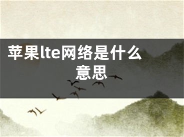 蘋(píng)果lte網(wǎng)絡(luò)是什么意思