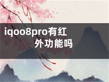 iqoo8pro有紅外功能嗎