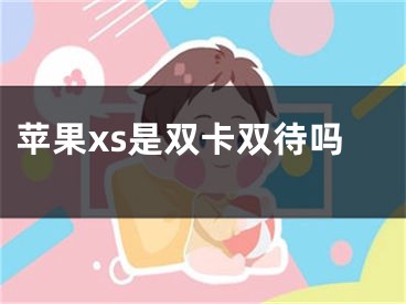 蘋(píng)果xs是雙卡雙待嗎