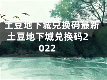 土豆地下城兌換碼最新 土豆地下城兌換碼2022