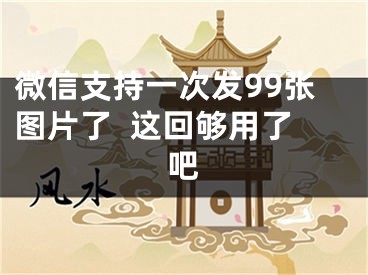 微信支持一次發(fā)99張圖片了  這回夠用了吧