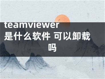 teamviewer是什么軟件 可以卸載嗎