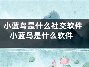 小藍(lán)鳥(niǎo)是什么社交軟件 小藍(lán)鳥(niǎo)是什么軟件