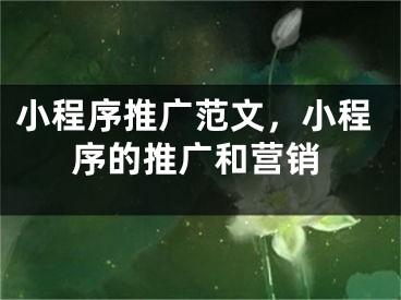 小程序推廣范文，小程序的推廣和營銷