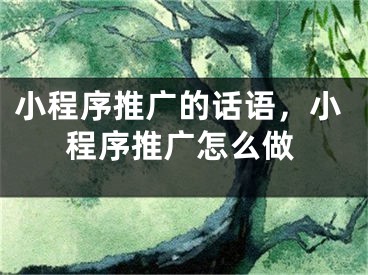 小程序推廣的話(huà)語(yǔ)，小程序推廣怎么做