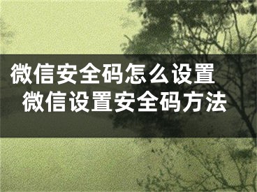 微信安全碼怎么設(shè)置 微信設(shè)置安全碼方法