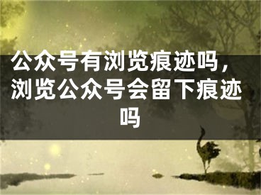 公眾號有瀏覽痕跡嗎，瀏覽公眾號會留下痕跡嗎