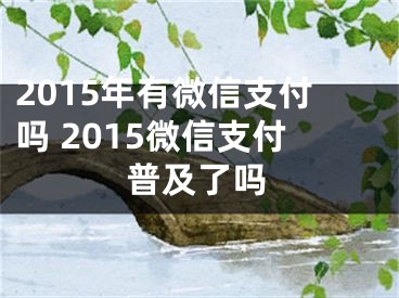 2015年有微信支付嗎 2015微信支付普及了嗎