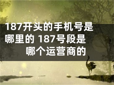 187開頭的手機號是哪里的 187號段是哪個運營商的