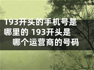 193開頭的手機號是哪里的 193開頭是哪個運營商的號碼