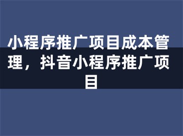 小程序推廣項(xiàng)目成本管理，抖音小程序推廣項(xiàng)目