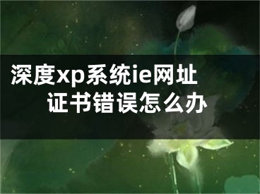 深度xp系統(tǒng)ie網(wǎng)址證書(shū)錯(cuò)誤怎么辦