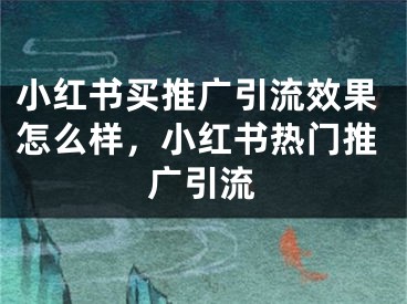 小紅書買推廣引流效果怎么樣，小紅書熱門推廣引流