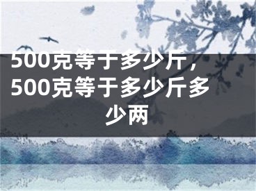 500克等于多少斤，500克等于多少斤多少兩